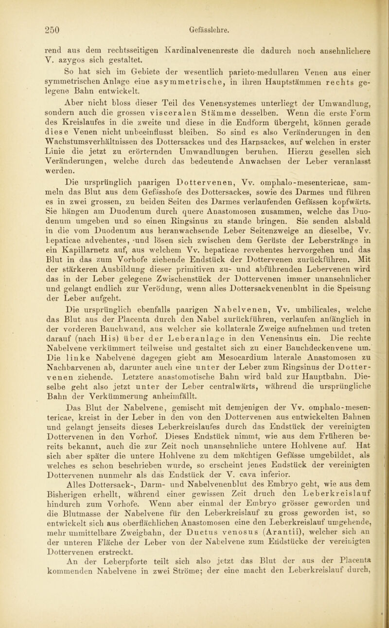 rend aus dem rechtsseitigen Kardinalvenenreste die dadurch noch ansehnlichere Y. azygos sich gestaltet. So hat sich im Gebiete der wesentlich parieto-medullaren Venen aus einer symmetrischen Anlage eine asymmetrische, in ihren Hauptstämmen rechts ge- legene Bahn entwickelt. Aber nicht bloss dieser Teil des Yenensystemes unterliegt der Umwandlung, sondern auch die grossen visceralen Stämme desselben. Wenn die erste Form des Kreislaufes in die zweite und diese in die Endform übergeht, können gerade diese Yenen nicht unbeeinflusst bleiben. So sind es also Veränderungen in den Wachstumsverhältnissen des Dottersackes und des Harnsackes, auf welchen in erster Linie die jetzt zu erörternden Umwandlungen beruhen. Hierzu gesellen sich Veränderungen, welche durch das bedeutende Anwachsen der Leber veranlasst werden. Die ursprünglich paarigen Dottervenen, Vv. omphalo-mesentericae, sam- meln das Blut aus dem Gefässhofe des Dottersackes, sowie des Darmes und führen es in zwei grossen, zu beiden Seiten des Darmes verlaufenden Gefässen kopfwärts. Sie hängen am Duodenum durch quere Anastomosen zusammen, welche das Duo- denum umgeben und so einen Kingsinus zu stände bringen. Sie senden alsbald in die vom Duodenum aus heranwachsende Leber Seitenzweige an dieselbe, Vv. lepaticae advehentes, *und lösen sich zwischen dem Gerüste der Leberstränge in ein Kapillarnetz auf, aus welchem Vv. hepaticae revehentes hervorgehen und das Blut in das zum Vorhofe ziehende Endstück der Dottervenen zurückführen. Mit der stärkeren Ausbildung dieser primitiven zu- und abführenden Lebervenen wird das in der Leber gelegene Zwischenstück der Dottervenen immer unansehnlicher und gelangt endlich zur Verödung, wenn alles Dottersackvenenblut in die Speisung der Leber aufgeht. Die ursprünglich ebenfalls paarigen Nabelvenen, Vv. umbilicales, welche das Blut aus der Placenta durch den Nabel zurückführen, verlaufen anfänglich in der vorderen Bauch wand, aus welcher sie kollaterale Zweige aufnehmen und treten darauf (nach His) über der Leberanlage in den Venensinus ein. Die rechte Nabelvene verkümmert teilweise und gestaltet sich zu einer Bauchdeckenvene um. Die linke Nabelvene dagegen giebt am Mesocardium laterale Anastomosen zu Nachbarvenen ab, darunter auch eine unter der Leber zum Ringsinus der Dotter- venen ziehende. Letztere anastomotische Bahn wird bald zur Hauptbahn. Die- selbe geht also jetzt unter der Leber centralwärts, während die ursprüngliche Bahn der Verkümmerung anheimfällt. Das Blut der Nabelvene, gemischt mit demjenigen der Vv. omphalo-mesen- tericae, kreist in der Leber in den von den Dottervenen aus entwickelten Bahnen und gelangt jenseits dieses Leberkreislaufes durch das Endstück der vereinigten Dottervenen in den Vorhof. Dieses Endstück nimmt, wie aus dem Früheren be- reits bekannt, auch die zur Zeit noch unansehnliche untere Hohlvene auf. Hat sich aber später die untere Hohlvene zu dem mächtigen Gefässe umgebildet, als welches es schon beschriehen wurde, so erscheint jenes Endstück der vereinigten Dottervenen nunmehr als das Endstück der V. cava inferior. Alles Dottersack-, Darm- und Nabelvenenblut des Embryo geht, wie aus dem Bisherigen erhellt, während einer gewissen Zeit druch den Leberkreislauf hindurch zum Vorhofe. Wenn aber einmal der Embryo grösser geworden und die Blutmasse der Nabelvene für den Leberkreislauf zu gross geworden ist, so entwickelt sich aus oberflächlichen Anastomosen eine den Leberkreislauf umgehende, mehr unmittelbare Zweigbahn, der Ductus venosus (Arantii), welcher sich an der unteren Fläche der Leber von der Nabelvene zum Endstücke der vereinigten Dottervenen erstreckt. An der Leberpforte teilt sich also jetzt das Blut der aus der Placenta kommenden Nabelvene in zwei Ströme; der eine macht den Leberkreislauf durch, fl