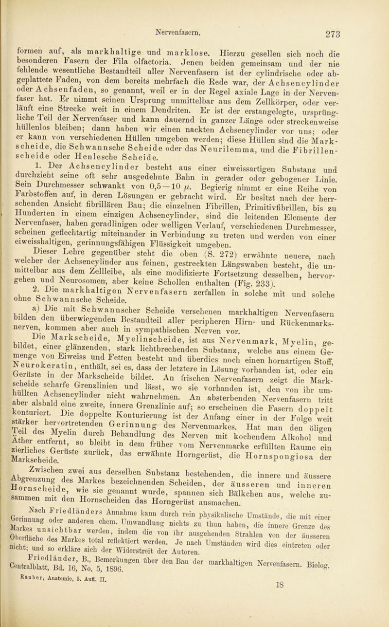 formen auf, als mark haltige und marklose. Hierzu gesellen sich noch die besonderen Fasern der Fila olfactoria. Jenen beiden gemeinsam und der nie fehlende wesentliche Bestandteil aller Nervenfasern ist der cylindrische oder ab- geplattete F aden? von dem bereits mehrfach die Rede war, der Achsencylinder oder Achsenfaden, so genannt, weil er in der Regel axiale Lage in der Nerven- faser hat. Er nimmt seinen Ursprung unmittelbar aus dem Zellkörper, oder ver- läuft eine Strecke weit in einem Dendriten. Er ist der erstangelegte, ursprüng- hche Teil der Nervenfaser und kann dauernd in ganzer Länge oder streckenweise hüllenlos bleiben; dann haben wir einen nackten Achsencylinder vor uns; oder er kann von verschiedenen Hüllen umgeben werden; diese Hüllen sind die Mark- scheide, die Schwannsche Scheide oder das Neurilemma, und die Fibrillen- scheide oder Henlescbe Scheide. 1*. ^er Achsencylinder besteht aus einer eiweissartigen Substanz und durchzieht seine oft sehr ausgedehnte Bahn in gerader oder gebogener Linie. ^eiIu C lme^Se-r s^wankt von 0,5 — 10 [i. Begierig nimmt er eine Reihe von Farbstoffen auf m deren Lösungen er gebracht wird. Er besitzt nach der herr- schenden Ansicht fibrillären Bau; die einzelnen Fibrillen, Primitivfibrillen, bis zu Hunderten m einem einzigen Achsencylinder, sind die leitenden Elemente der Nervenfaser haben geradlinigen oder welligen Verlauf, verschiedenen Durchmesser scheinen geflechtartig miteinander in Verbindung zu treten und werden von einer ei weisshaltigen, gerinnungsfähigen Flüssigkeit umgeben. Dieser Lehre gegenüber steht die oben (S. 272) erwähnte neuere, nach welcher der Achsencylinder aus feinen, gestreckten Längswaben besteht, die un- mittelbar aus dem Zellleibe, als eine modifizierte Fortsetzung desselben, hervor- gehen und Neurosomen, aber keine Schollen enthalten (Fig. 233j. 2. Die markhaltigen Nervenfasern zerfallen in solche mit und solche ohne fechwannsclie Scheide. .... ai ,Dl° ,.TU Schwannscher Scheide versehenen markhaltigen Nervenfasern bdden den überwiegenden Bestandteil aller peripheren Hirn- und Rückenmarks- nerven, kommen aber auch in sympathischen Nerven vor. .... Dle Markscheide, Myelinscheide, ist aus Nervenmark, Myelin, ge- bildet, einer glänzenden, stark lichtbrechenden Substanz, welche aus einem Ge- menge von Liweiss und Fetten besteht und überdies noch einen hornartigen Stoff eurokeratin, enthalt sei es, dass der letztere in Lösung vorhanden ist, oder ein Gerüste in der Markscheide bildet. An frischen Nervenfasern zeigt die Mark sclieide scharfe Grenzlinien und lässt, wo sie vorhanden ist, den von ihr um- abe • ^ iVi3enCy mder n.Icht wahrnehmen. An absterbenden Nervenfasern tritt ko *t a-&bf 1 ?{ne yeite> Innere Grenzlinie auf; so erscheinen die Fasern doppelt kontunert. Die doppelte Konturierung ist der Anfang einer in der Folge weit Tei\kedes 'm °rreteildei «eÜ'lnnUng deS Nervenmarkes. Hat man den' öligen Ä 1 Mylin durch Behandlung des Nerven mit kochendem Alkohol und zleiiUef fV ’ ,S° u ini dem früher vom Nervenmarke erfüllten Raume ein Markscheid&e ZW'UCk’ daS erwähnte Horngerüst, die Hornspongiosa der AbgrenTuSn!fendpZsWM T d?ISelhfn Sbstanz bestehenden, die innere und äussere Horn schell f^'^8 bezeicb“endf Scheiden, der äusseren und inneren sammen mit 1 w sle 'Wurde, spannen sich Bälkchen aus, welche zu- sammen mit den Hornscheiden das Horngerüst ausmachen. G »8Cb Friedländers Annahme kann durch rein physikalische Umstände, die mit einer nung oder anderen ehern. Umwandlung nichts zu tliun haben, die innere Grenze des indem die von ihr ausgehenden Stehlen von derTnsseren nicht am6l ^ n 68 t0,tal, reflcktiert werden- Je “»oh Umständen wird dies eintreten oder t, und so erkläre sich der Widerstreit der Autoren. C«ttt,Bd.dei6; No. tTsS“’186,1 Über denBaU der markhaltigen Nervenfasern. Biolo; Räuber, Anatomie, 5. Aufl. II. >g. IS
