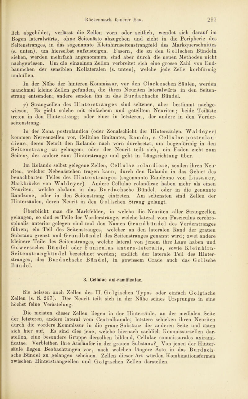 lieh abgebildet, verlässt die Zellen vorn oder seitlich, wendet sich darauf im Bogen lateralwärts, ohne Seitenäste abzugeben und zieht in die Peripherie des Seitenstranges, in das sogenannte Kleinhirnseitenstrangfeld des Markquerschnittes (s. unten), um hierselbst aufzusteigen. Fasern, die zu den Go 11 sehen Bündeln ziehen, werden mehrfach angenommen, sind aber durch die neuen Methoden nicht nachgewiesen. Um die einzelnen Zellen verbreitet sich eine grosse Zahl von End- bäumchen der sensiblen Kollateralen (s. unten), welche jede Zelle korbförmig umhüllen. In der Nähe der hinteren Kommissur, vor den Clarkeschen Säulen, werden manchmal kleine Zellen gefunden, die ihren Neuriten lateralwärts in den Seiten- strang entsenden; andere senden ihn in das Burdachsche Bündel. y) Strangzellen des Hinterstranges sind seltener, aber bestimmt nachge- wiesen. Es giebt solche mit einfachem und geteiltem Neuriten; beide Teiläste treten in den Hinterstrang; oder einer in letzteren, der andere in den Vorder- seitenstrang. In der Zona postrolandica (oder Zonalschicht der Hintersäulen, Waldeyer) kommen Nervenzellen vor, Cellulae limitantes, Ramön, s. Cellulae postrolan- dicae, deren Neurit den Rolando nach vorn durchsetzt, um bogenförmig in den Seitenstrang zu gelangen; oder der Neurit teilt sich, ein Faden zieht zum Seiten-, der andere zum Hinterstrange und geht in Längsrichtung über. Im Rolando selbst gelegene Zellen, Cellulae rolandicae, senden ihren Neu- nten, welcher Nebenästchen tragen kann, durch den Rolando in das Gebiet des benachbarten Teiles des Hinterstranges (sogenannte Randzone von Lissauer, Markbrücke von Waldeyer). Andere Cellulae rolandicae haben mehr als einen Neuriten, welche alsdann in das Burdachsche Bündel, oder in die genannte Randzone, oder in den Seitenstrang eintreten. Am seltensten sind Zellen der Hintersäulen, deren Neurit in den Gollschen Strang gelangt. • • Überblickt man die Markfelder, in welche die Neuriten aller Strangzellen gelangen, so sind es Teile der Vorderstränge, welche lateral vom Fasciculus cerebro- spinalis anterior gelegen sind und den Namen Grundbündel des Vorderstranges führen; ein Teil des Seitenstranges, welcher an den lateralen Rand der grauen Substanz grenzt und Grundbündel des Seitenstranges genannt wird; zwei andere kleinere Teile des Seitenstranges, welche lateral von jenem ihre Lage haben und Gowerssches Bündel oder Funiculus antero-lateralis, sowie Kleinhirn- Seitenstrangbündel bezeichnet werden; endlich der laterale Teil des Hinter- stranges, das Burdachsche Bündel, in gewissem Grade auch das Gollsche Bündel. 3. Cellulae axi-ramificatae. Sie heissen auch Zellen des II. Golgischen Typus oder einfach Golgische Zellen (s. S. 267). Der Neurit teilt sich in der Nähe seines Ursprunges in eine höchst feine Verästelung. Die meisten dieser Zellen liegen in der Hintersäule, an der medialen Seite der letzteren, andere lateral vom Centralkanale; letztere schicken ihren Neuriten durch die vordere Kommissur in die graue Substanz der anderen Seite und ästen sich hier auf. Es sind dies jene, welche hiernach sachlich Kommissurzellen dar- stellen, eine besondere Gruppe derselben bildend, Cellulae commissurales axirami- ficatae. Verbleiben ihre Ausläufer in der grauen Substanz? Von jenen der Hinter- säule liegen Beobachtungen vor, nach welchen längere Äste; in das Burdach- sche Bündel zu gelangen scheinen. Zellen dieser Art würden Kombinationsformen zwischen Hinterstrangzellen und Golgischen Zellen darstellen.