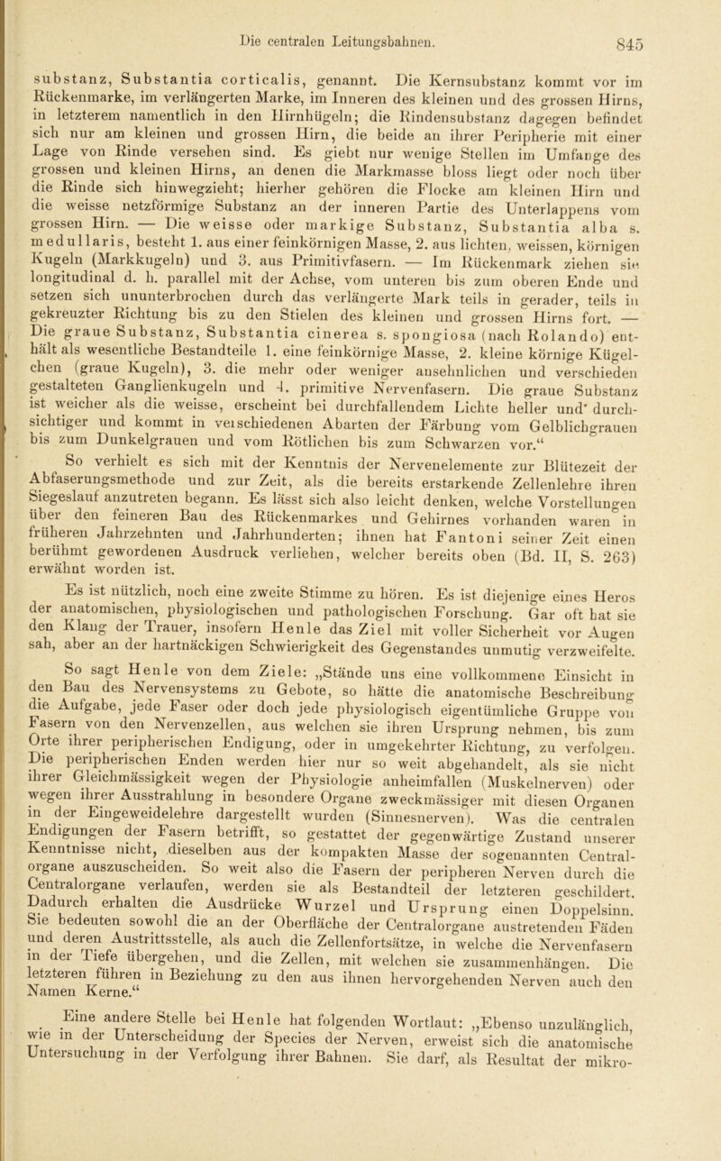 Substanz, Substantia corticalis, genannt. Die Kernsubstanz kommt vor im Rückenmarke, im verlängerten Marke, im Inneren des kleinen und des grossen Hirns, in letzterem namentlich in den Hirnhügeln; die Rindensubstanz dagegen befindet sich nur am kleinen und grossen Hirn, die beide an ihrer Peripherie mit einer Lage von Rinde versehen sind. Es giebt nur wenige Stellen im Umfange des grossen und kleinen Hirns, an denen die Markmasse bloss liegt oder noch über die Rinde sich hinwegzieht; hierher gehören die Flocke am kleinen Hirn und die weisse netzförmige Substanz an der inneren Partie des Unterlappens vom grossen Hirn. — Die weisse oder markige Substanz, Substantia alba s. medullaris, besteht 1. aus einer feinkörnigen Masse, 2. aus lichten, weissen, körnigen Kugeln (Markkugeln) und 3. aus Primitivfasern. — Im Rückenmark ziehen sie longitudinal d. h. parallel mit der Achse, vom unteren bis zum oberen Ende und setzen sich ununterbrochen durch das verlängerte Mark teils in gerader, teils in gekreuzter Richtung bis zu den Stielen des kleinen und grossen Hirns’fort. — Die giaue Substanz, Substantia cinerea s. Spongiosa (nach Rolando) ent- hält als wesentliche Bestandteile 1. eine feinkörnige Masse, 2. kleine körnige Kügel- chen (graue Kugeln), 3. die mehr oder weniger ansehnlichen und verschieden gestalteten Ganglienkugeln und L primitive Nervenfasern. Die graue Substanz ist weicher als die weisse, erscheint bei durchfällendem Lichte heller und' durch- sichtiger und kommt in verschiedenen Abarten der Färbung vom Gelblichgrauen bis zum Dunkelgrauen und vom Rötlichen bis zum Schwarzen vor.u So verhielt es sich mit der Kenntnis der Nervenelemente zur Blütezeit der Abfaserungsmethode und zur Zeit, als die bereits erstarkende Zellenlehre ihren Siegeslauf anzutreten begann. Es lässt sich also leicht denken, welche Vorstellungen übei den feineien Bau des Rückenmarkes und Gehirnes vorhanden waren in früheren Jahrzehnten und Jahrhunderten; ihnen hat Fantoni seiner Zeit einen berühmt gewordenen Ausdruck verliehen, welcher bereits oben (Bd. II, S. 263) erwähnt worden ist. Ls ist nützlich, noch eine zweite Stimme zu hören. Es ist diejenige eines Heros der anatomischen, physiologischen und pathologischen Forschung. Gar oft hat sie den Klang der Trauer, insofern Henle das Ziel mit voller Sicherheit vor Augen sah, aber an der hartnäckigen Schwierigkeit des Gegenstandes unmutig verzweifelte. So sagt Henle von dem Ziele: „Stände uns eine vollkommene Einsicht in den Bau des Nervensystems zu Gebote, so hätte die anatomische Beschreibung die Aufgabe, jede I aser oder doch jede physiologisch eigentümliche Gruppe von Lasein von den IServenzellen, aus welchen sie ihren Ursprung nehmen, bis zum Orte ihrer peripherischen Endigung, oder in umgekehrter Richtung, zu verfolgen. Die peripherischen Enden werden hier nur so weit abgehandelt, als sie nicht ihrer Gleichmässigkeit wegen der Physiologie anheimfallen (Muskelnerven) oder wegen ihrer Ausstrahlung in besondere Organe zweckmässiger mit diesen Organen in der Eingeweidelehre dargestellt wurden (Sinnesnerven). Was die centralen Endigungen der Lasern betrifft, so gestattet der gegenwärtige Zustand unserer Kenntnisse nicht, dieselben aus der kompakten Masse der sogenannten Central- oigane auszuscheiden. So weit also die Fasern der peripheren Nerven durch die Centralorgane verlaufen, werden sie als Bestandteil der letzteren geschildert Dadurch erhalten die Ausdrücke Wurzel und Ursprung einen Doppelsinn Sie bedeuten sowohl die an der Oberfläche der Centralorgane austretenden Fäden und deren Austrittsstelle, als auch die Zellenfortsätze, in welche die Nervenfasern in der Tiefe übergehen, und die Zellen, mit welchen sie Zusammenhängen. Die etzteren führen in Beziehung zu den aus ihnen hervorgehenden Nerven auch den Namen Kerne. . .^ne andere Stelle bei Henle hat folgenden Wortlaut: „Ebenso unzulänglich wie m der Unterscheidung der Species der Nerven, erweist sich die anatomische Untersuchung in der Verfolgung ihrer Bahnen. Sie darf, als Resultat der mikro-