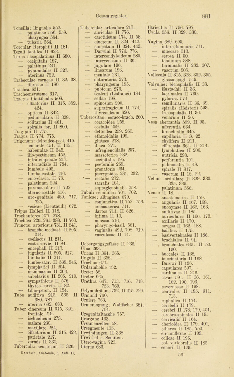 Tonsilla: lingualis 552. — palatinae 556. 558. — pharyngea 564. — tubaria 564. Torcular Herophili II 181. Toruli tactiles II 623. Torus nasopalatinus II 680. — occipitalis 197. — palatinus 241. — pyramidales II 327. —• uterinus 752. Trabeculae carneae II 32. 38. — fibrosae II 180. Trachea 631. Tracheensysteme 617. Tractus ilio-tibialis 508. — olfactorius II 315. 352. 424. — opticus II 342. — peduncularis II 338. — solitarius II 461. — spiralis for. II 800. Tragipili II 775. Tragus II 774. 775. Trigonum: deltoideo-pect. 410. —- femorale 451. II 145. — habenulae II 345. — ilio-pectineum 452. — infratemporale 217. — interradiale II 784. —■ lumbale 405. — lumbo-costale 416. — omo-clavic. II 78. — palatinum 224. — paramaculare II 722. — sterno-costale 416. — uro-genitale 489. 717. 725. —• vesicae (Lieutaudi) 672. Tripus Halleri II 118. Trochanteres 277. 278. Trochlea 220. 261. 388. II 763. Truncus: arteriosus 731. II 241. — broncho-mediast. II205. 214. — coeliacus II 211. —- costo-cervic. II 84. — encephali II 317. — jugularis II 205. 217. — lumbalis II 211. — lumbo-sacr. II 539. 546. — lymphatici II 204. —■ mammarius II 206. — subclavius II 205. 219. — sympathicus II 576. — thyreo-cervic. II 82. — tibio-peron. II 154. Tuba auditiva 215. 565. II 680. 787. — uterina 682. 683. Tuber cinereum II 315. 340. — frontale 219. —- ischiadicum 273, — malare 230. — maxillare 224. — olfactorium II 315. 423. — parietale 217. — vermis II 330. Tubercula: acusticum II 326. Räuber, Anatomie, 5. Aufl. II. Tubercula: articulare 217. — auriculae II 776. —- carotideum 174. II 58. — cinereum II 324. 442. — cuneatum II 324. 443. — Darwini II 774. 776. — intercondyloideum 280. — intervenosum 11 36. — jugulare 196. — linearum 196. — mentale 231. — obturatoria 273. — pharyngeum 195. -- pubicum 273. — scaleni (Lisfranci) 184. — sellae 198. — spinosum 200. — supratragicum 11 774. — thyreoideum 620. Tuberositas: coraco-brach. 260. —- coracoidea 259. — costalis 259. — deltoidea 259. 260. — ethmoidalis 199. — glutaea 278. — iliaca 271. — infraglenoidalis 257. — masscterica 232. — occipitalis 195. — pectoralis 259. — pronatoria 264. — pterygoidea 231. 232. k— rectalis 272. — sacralis 181. — snpraglenoidalis 258. Tubuli seminiferi 701. 702. Tunicae: albuginea 679. — conjunctiva II 752. 756. —■ cremasterica 711. —• dartos 711. II 626. — intima II 10. — mucosa 516. — pharyngo-basil. 561. — vaginalis 492. 708. 710. — vasoulosae II 14. Uebergangsgelasse II 236. Ulna 263. Uncus II 364. 365. Unguis II 658. Urachus 671. Urdarmhöhle 132. Ureier 58. Ureter 665. Urethra 647. 713. 716. 718. 723. 769. Urlymphräume 732. II 215. 220. Urmund 760. Urniere 763. Urnierengang, Wölfischer 681. 704. Urogenitaltasche 757. Urorgane 133. Ursamenzellen 58. Ursegmente 135. Urwindungen II 368. Urwirbel s. Sonnten. Utero-vagina 723. Uterus 683. Utriculus II 796. 797. Uvula 556. II 329. 330. Vagina 689. 695. — intercolumnaris 711. — mucosae 513. — serosa 11 50. — tendinum 388. terminalis II 282. 307. — vasorum 505. Vallecula II 315. 328. 352. 355. —- glosso-epigl. 549. Valvulae: bicuspidalis II 38. — Eustachi i II 36. .— lacrirnales II 760. — pylori ca 574. — semilunares II 36. 39. — spiralis (Heisteri) 593. — tricuspidalis II 36. — venarum II 20. Vasa aberrantia 599. II 95. — afferentia 664. — bronchialia 645. — capillaria II 3. 22. — chylifera II 211. '— efferentia 664. II 214. —• lymphatica II 206. — nutricia 298. —■ perforantia 101. — pulmonalia II 48. — spirale II 817. — vasorum II 18. 22. Velum medulläre II 329. 333. 335. 339. — palatinum 556. Venne II 18. — anastomotica II 179. — angularis II 167. 168. — anonymae II 162. 163. — auditivae II 185. — auriculares II 166. 170. — axillaris II 170. — azygos II 162. 188. — basilica II 175. — basivertebrales II 186. — brachiales II 91. — i bronchiales 645. II 50. 190. — buccales II 168. — buccinatoria II 168. — Burowi II 196. — capsulares 597. — cardinales II 246. — cavae 591. II 36. 161. 162. 190. 193. — cavernosae II 198. — centrales II 185. 311. 715. —- cephalica II 174. — cerebelli II 179. — cerebri II 178. 179. 401. —- cerebro-spinales II 19. — cervicalis II 164. — cliorioidea II 179. 401. — ciliares II 185. 750. — circumflexae II 199. — colicae II 195. col. vertebralis II 185. —• eonarii II 179. 56