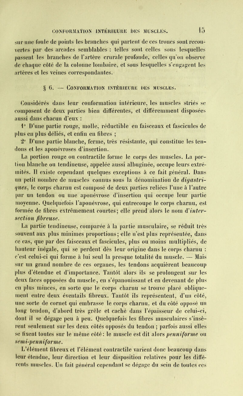 Conformation intérieure Les muscles. sur une foule de points les branches qui partent de ces troncs sont recou- vertes par des arcades semblables : telles sont celles sous lesquelles passent les branches de l’artère crurale profonde, celles qu’on observe de chaque côté de la colonne lombaire, et sous lesquelles s’engagent les artères et les veines correspondantes. § 6. — Conformation intérieure des muscles. Considérés dans leur conformation intérieure, les muscles striés se composent de deux parties bien différentes, et différemment disposées aussi dans chacun d’eux : 1° D’une partie rouge, molle, réductible en faisceaux et fascicules de plus en plus déliés, et enfin en fibres ; 2° D’une partie blanche, ferme, très résistante, qui constitue les ten- dons et les aponévroses d’insertion. La portion rouge ou contractile forme le corps des muscles. La por- tion blanche ou tendineuse, appelée aussi albuginée, occupe leurs extré- mités. Il existe cependant quelques exceptions à ce fait général. Dans un petit nombre de muscles connus sous la dénomination de digastri- gues, le corps charnu est composé de deux parties reliées l’une à l’autre par un tendon ou une aponévrose d’insertion qui occupe leur partie moyenne. Quelquefois l’aponévrose, qui entrecoupe le corps charnu, est formée de libres extrêmement courtes; elle prend alors le nom d’inter- section fibreuse. La partie tendineuse, comparée à la partie musculaire, se réduit très souvent aux plus minimes proportions; elle n’est plus représentée, dans ce cas, que par des faisceaux et fascicules, plus ou moins multipliés, de hauteur inégale, qui se perdent dès leur origine dans le corps charnu : c’est celui-ci qui forme à lui seul la presque totalité du muscle. — Mais sur un grand nombre de ces organes, les tendons acquièrent beaucoup plus d’étendue et d’importance. Tantôt alors ils se prolongent sur les deux faces opposées du muscle, en s’épanouissant et en devenant de plus en plus minces, en sorte que le corps charnu se trouve placé oblique- ment entre deux éventails fibreux. Tantôt ils représentent, d’un côté, une sorte de cornet qui embrasse le corps charnu, et du côté opposé un long tendon, d’abord très grêle et caché dans l’épaisseur de celui-ci, dont il se dégage peu à peu. Quelquefois les fibres musculaires s’insè- rent seulement sur les deux côtés opposés du tendon ; parfois aussi elles se fixent toutes sur le même côté : le muscle est dit alors penniforme ou semi-penniforme. L’élément fibreux et l’élément contractile varient donc beaucoup dans leur étendue, leur direction et leur disposition relatives pour les diffé- rents muscles. Un fait général cependant se dégage du sein de toutes ces