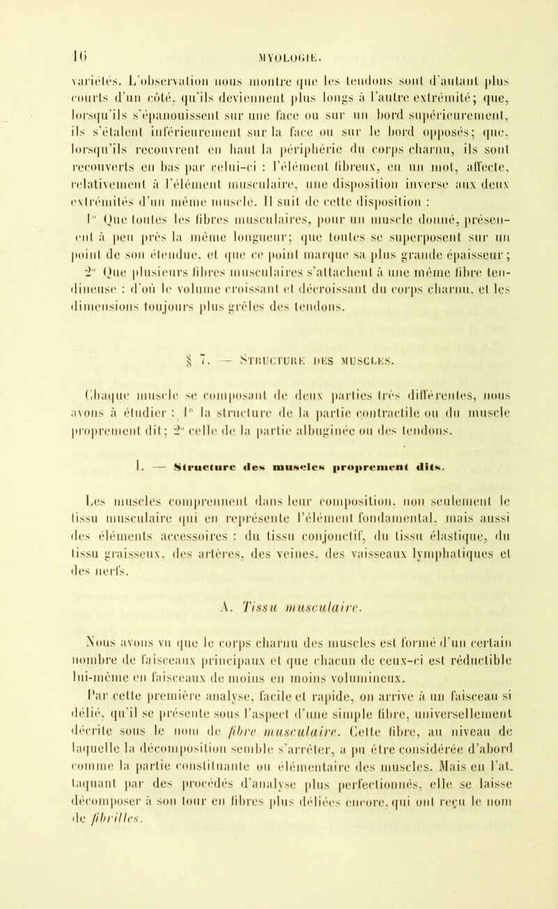 variélés. L’observation nous montre que les tendons sont d’autant plus courts d’un coté, qu’ils deviennent plus longs à l’autre extrémité; que, lorsqu’ils s’épanouissent sur une face ou sur un bord supérieurement, ils s’étalent inférieurement sur la face ou sur le bord opposés; que, lorsqu’ils recouvrent en haut la périphérie du corps charnu, ils sont recouverts en bas par celui-ci : l’élément fibreux, en un mot, affecte, relativement à l’élément musculaire, une disposition inverse aux deux extrémités d’un même muscle. Il suit de cette disposition : 1° Que toutes les fibres musculaires, pour un muscle donné, présen- ent à peu près la même longueur; que toutes se superposent sur un point de son étendue, et que ce point marque sa plus grande épaisseur; 2° Que plusieurs fibres musculaires s’attachent à une même libre ten- dineuse : d’où le volume croissant et décroissant du corps charnu, el les dimensions toujours plus grêles des tendons. £ 7. — Structure des muscles. Chaque muscle se composant de deux parties très différentes, nous avons à étudier : 1° la structure de la partie contractile ou du muscle proprement dit; 2° celle de la partie albuginée ou des tendons. 1. — Structure «les uiukc1cm proprement «lit*. Les muscles comprennent dans leur composition, non seulement le tissu musculaire qui en représente l’élément fondamental, mais aussi des éléments accessoires : du tissu conjonctif, du tissu élastique, du tissu graisseux, des artères, des veines, des vaisseaux lymphatiques et des nerfs. A. Tissu musculaire. Aous avons vu que le corps charnu des muscles est formé d’un certain nombre de faisceaux principaux et que chacun de ceux-ci est réductible lui-même en faisceaux de moins en moins volumineux. Par cette première analyse, facile el rapide, on arrive à un faisceau si délié, qu'il se présente sous l’aspect d’une simple fibre, universellement décrite sous le nom de libre musculaire. Celte fibre, au niveau de laquelle la décomposition semble s’arrêter, a pu être considérée d’abord comme la partie constituante ou élémentaire des muscles. Mais en l’at. laquant par des procédés d’analyse plus perfectionnés, elle se laisse décomposer à son tour en libres plus déliées encore, qui ont reçu le nom de fibrilles.