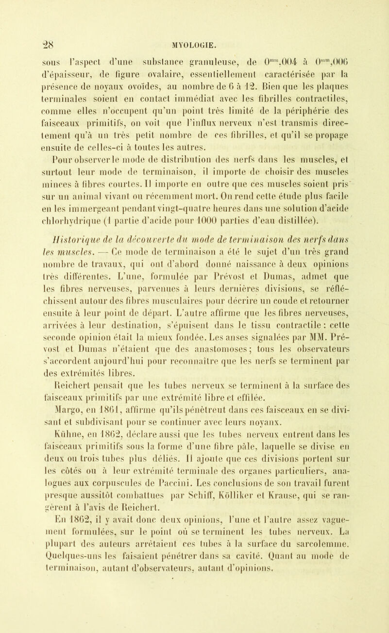 sous l’aspect d’une substance granuleuse, de 0ram,004 à 0mm,006 d’épaisseur, de figure ovalaire, essentiellement caractérisée par la présence de noyaux ovoïdes, au nombre de 6 à 13. Bien que les plaques terminales soient en contact immédiat avec les fibrilles contractiles, comme elles n’occupent qu’un point très limité de la périphérie des faisceaux primitifs, on voit que l’influx nerveux n’est transmis direc- tement qu’à un très petit nombre de ces fibrilles, et qu’il se propage ensuite de celles-ci à toutes les autres. Pour observer le mode de distribution des nerfs dans les muscles, et surtout leur mode de terminaison, il importe de choisir des muscles minces à fibres courtes. Il importe en outre que ces muscles soient pris' sur un animal vivant ou récemment mort. On rend cette étude plus facile en les immergeant pendant vingt-quatre heures dans une solution d’acide chlorhydrique (1 partie d’acide pour 1000 parties d’eau distillée). Historique de la découverte du mode de terminaison des nerfs dans les muscles. — Ce mode de terminaison a été le sujet d’un très grand nombre de travaux, qui ont d’abord donné naissance à deux opinions très différentes. L’une, formulée par Prévost et Dumas, admet que les fibres nerveuses, parvenues à leurs dernières divisions, se réflé- chissent autour des fibres musculaires pour décrire un coude et retourner ensuite à leur point de départ. L’autre affirme que les fibres nerveuses, arrivées à leur destination, s’épuisent dans le tissu contractile : cette seconde opinion était la mieux fondée. Les anses signalées par MM. Pré- vost et Dumas n’étaient que des anastomoses ; tous les observateurs s’accordent aujourd’hui pour reconnaître que les nerfs se terminent par des extrémités libres. Reichert pensait que les tubes nerveux se terminent à la surface des faisceaux primitifs par une extrémité libre et effilée. Margo, en 1861, affirme qu’ils pénètreut dans ces faisceaux en se divi- sant et subdivisant pour se continuer avec leurs noyanx. Kiiline, en 1803, déclare aussi que les tubes nerveux entrent dans les faisceaux primitifs sous la forme d’une fibre pâle, laquelle se divise en deux ou trois tubes plus déliés. Il ajoute que ces divisions portent sur les côtés ou à leur extrémité terminale des organes particuliers, ana- logues aux corpuscules de Paecini. Les conclusions de son travail furent presque aussitôt combattues par Schiff, Kôlliker et Krause, qui se ran- gèrent à l’avis de Reichert. En 1863, il y avait donc deux opinions, l’une et l’autre assez vague- ment formulées, sur le point où se terminent les tubes nerveux. La plupart des auteurs arrêtaient ces tubes à la surface du sarcolemme. Quelques-uns les faisaient pénétrer dans sa cavité. Quant au mode de terminaison, autant d’observateurs, autant d’opinions.