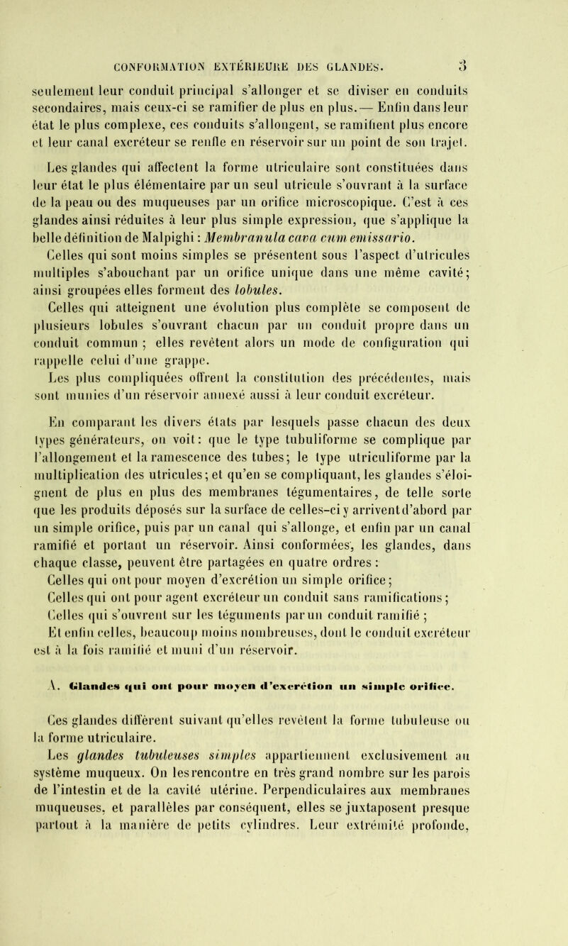 seulement leur conduit principal s’allonger et se diviser en conduits secondaires, mais ceux-ci se ramifier de plus en plus.— Entin dans leur état le plus complexe, ces conduits s’allongent, se ramifient plus encore et leur canal excréteur se renfle en réservoir sur un point de sou trajel . Les glandes qui affectent la forme utriculaire sont constituées dans leur état le plus élémentaire par un seul utricule s’ouvrant à la surface de la peau ou des muqueuses par un orifice microscopique. C’est ces glandes ainsi réduites à leur plus simple expression, que s’applique la belle définition de Malpighi : Membranula cava cum emissario. Celles qui sont moins simples se présentent sous l’aspect d’utricules multiples s’abouchant par un orifice unique dans une même cavité; ainsi groupées elles forment des lobules. Celles qui atteignent une évolution plus complète se composent de plusieurs lobules s’ouvrant chacun par un conduit propre dans un conduit commun ; elles revêtent alors un mode de configuration qui rappelle celui d’une grappe. Les plus compliquées offrent la constitution des précédentes, mais sont munies d’un réservoir annexé aussi à leur conduit excréteur. En comparant les divers états par lesquels passe chacun des deux types générateurs, on voit: que le type tubuliforme se complique par l’allongement et la ramescence des tubes; le type utriculiforme par la multiplication des utricules; et qu’en se compliquant, les glandes s’éloi- gnent de plus en plus des membranes tégumentaires, de telle sorte que les produits déposés sur la surface de celles-ciy arrivent d’abord par un simple orifice, puis par un canal qui s’allonge, et enfin par un canal ramifié et portant un réservoir. Ainsi conformées, les glandes, dans chaque classe, peuvent être partagées en quatre ordres : Celles qui ont pour moyen d’excrétion un simple orifice; Cell es qui ont pour agent excréteur un conduit sans ramifications; Celles qui s’ouvrent sur les téguments jiarun conduit ramifié ; Et enfin celles, beaucoup moins nombreuses, dont le conduit excréteur est à la fois ramifié et muni d’un réservoir. A. fàlandes «|uî ont poui* ino.yen d’excrétion un simple orifice. Ces glandes diffèrent suivant qu’elles revêtent la forme tubuleuse ou la forme utriculaire. Les glandes tubuleuses simples appartiennent exclusivement au système muqueux. On lesrencontre en très grand nombre sur les parois de l’intestin et de la cavité utérine. Perpendiculaires aux membranes muqueuses, et parallèles par conséquent, elles se juxtaposent presque partout à la manière de petits cylindres. Leur extrémité profonde,