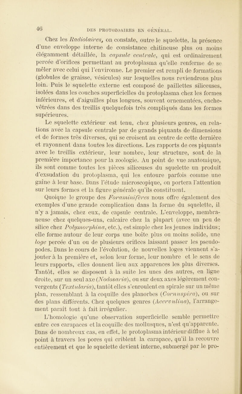Chez les Radiolairesv, on constate, outre le squelette, la présence d’une enveloppe interne de consistance chitineuse plus ou moins élégamment détaillée, la capside centrale, qui est ordinairement percée d’orifices permettant au protoplasma qu’elle renferme de se mêler avec celui qui l’environne. Le premier est rempli de formations (globules de graisse, vésicules) sur lesquelles nous reviendrons plus loin. Puis le squelette externe est composé de paillettes siliceuses, isolées dans les couches superficielles du protoplasma chez les formes inférieures, et d’aiguilles plus longues, souvent ornementées, enche- vêtrées dans des treillis quelquefois très compliqués dans les formes supérieures. Le squelette extérieur est tenu, chez plusieurs genres, en rela- tions avéc la capsule centrale par de grands piquants de dimensions et de formes très diverses, qui se croisent au centre de cette dernière et rayonnent dans toutes les directions. Les rapports de ces piquants avec le treillis extérieur, leur nombre, leur structure, sont de la première importance pour la zoologie. Au point de vue anatomique, ils sont comme toutes les pièces siliceuses du squelette un produit d’exsudation du protoplasma, qui les entoure parfois comme une gaine à leur base. Dans l’étude microscopique, on portera l'attention sur leurs formes et la figure générale qu’ils constituent. Quoique le groupe des Foraminifères nous offre également des exemples d’une grande complication dans la forme du squelette, il n’y a jamais, chez eux, de capsule centrale. L’enveloppe, membra- neuse chez quelques-uns, calcaire chez la plupart (avec un peu de silice chez Polymorphina, etc.), est simple chez les jeunes individus; elle forme autour de leur corps une boîte plus ou moins solide, une loge percée d’un ou de plusieurs orifices laissant passer les pseudo- podes. Dans le cours de l’évolution, de nouvelles loges viennent s’a- jouter à la première et, selon leur forme, leur nombre et le sens de leurs rapports, elles donnent lieu aux apparences les plus diverses. Tantôt, elles se disposent à la suite les unes des autres, en ligne droite, sur un seul axe (Nodosaria), ou sur deux axes légèrement con- vergents (Textularia), tantôt elles s’enroulent en spirale sur un même plan, ressemblant à la coquille des planorbes (Cornuspira), ou sur des plans différents. Chez quelques genres (.Acervulina), l'arrange- ment paraît tout à fait irrégulier. L’homologie qu’une observation superficielle semble permettre entre ces carapaces et la coquille des mollusques, n’est qu’apparente. Dans de nombreux cas, en effet, le protoplasma intérieur difflue à tel point à travers les pores qui criblent la carapace, qu'il la recouvre entièrement et que le squelette devient interne, submergé par le pro-