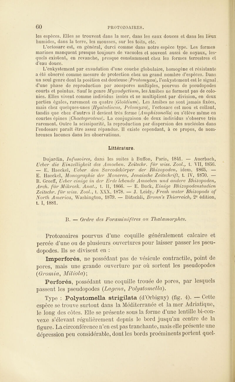 les espèces. Elles se trouvent dans la mer, dans les eaux douces et dans les lieux humides, dans la terre, les mousses, sur les toits, etc. L’ectosarc est, en général, durci comme dans notre espèce type. Les formes marines manquent presque toujours de vacuoles et souvent aussi de noyaux, les- quels existent, en revanche, presque constamment chez les formes terrestres et d’eau douce. L’enkystement par exsudation d’une couche globulaire, homogène et résistante a été observé comme mesure de protection chez un grand nombre d’espèces. Dans un seul genre dont la position est douteuse (Protomyxa), l’enkystement est le signal d’une phase de reproduction par zoospores multiples, pourvus de pseudopodes courts et pointus. Sauf le genre Myxodyctium, les Amibes ne forment pas de colo- nies. Elles vivent comme individus isolés et se multiplient par division, en deux parties égales, rarement en quatre (Gloïdium). Les Amibes ne sont jamais fixées, mais chez quelques-unes (.Hyaiodiscus, Pelomyxa), l’ectosarc est mou et collant, tandis que chez d’autres il devient très ferme (Amphizonella) ou s’élève même en courtes épines (Cliaetoproteus). La conjugaison de deux individus s’observe très rarement. Outre la scissiparité, la reproduction par dispersion des nucléoles dans l’endosarc paraît être assez répandue. 11 existe cependant, à ce propos, de nom- breuses lacunes dans les observations. Littérature. Dujardin, Infusoires, dans les suites à BufTon, Paris, 1841. — Auerbach, Ueber die Einzelligkeit des Amoeben. Zeitschr. fur wiss. ZooL, t. VII, 1856. — E. Haeckel, Ueber den Sarcodekôrper der Rhizopoden, idem, 1865. — E. Ilaeckel, Monographie der Moneren, Jenaische Zeitschrift, t. IV, 1870. — R. Greeff, Ueber einige in der Erde lebende Amoeben und andere Rhizopoden, Arch. fur Mikrosk. Anat., t. II, 1866. — E. Buck, Einige Rhizopodenstudien Zeitschr. für iviss. ZooL, t. XXX, 1878. — J. Leidy,- Fresh water Rhizopods of North America, Washington, 1879. — Bütschli, Rronn’s Thierreich, 2° édition, t. I, 1881. B. — Ordre des Foraminifères ou Thcilamorphes. Protozoaires pourvus d’une coquille généralement calcaire et percée d’une ou de plusieurs ouvertures pour laisser passer les pseu- dopodes. Ils se divisent en : Imperforés, ne possédant pas de vésicule contractile, point de pores, mais une grande ouverture par où sortent les pseudopodes (Gromia, Miliola)\ Perforés, possédant une coquille trouée de pores, par lesquels passent les pseudopodes (Lageîia, Polystomellci). Type : Polystomeila strigilata (d’Orbigny) (fig. 4). — Cette espèce se trouve surtout dans la Méditerranée et la mer Adriatique, le long des côtes. Elle se présente sous la forme d’une lentille bi-con- vexe s’élevant régulièrement depuis le bord jusqu’au centre de la figure. La circonférence n’en est pas tranchante, mais elle présente une dépression peu considérable, dont les bords proéminents portent quel-