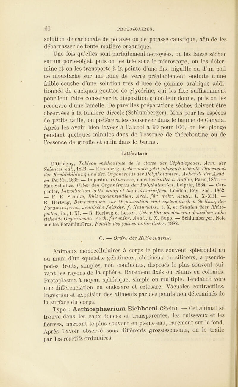 solution de carbonate de potasse ou de potasse caustique, afin de les débarrasser de toute matière organique. Une fois qu’elles sont parfaitement nettoyées, on les laisse sécher sur un porte-objet, puis on les trie sous le microscope, on les déter- mine et on les transporte à la pointe d’une fine aiguille ou d’un poil de moustache sur une lame de verre préalablement enduite d’une faible couche d’une solution très diluée de gomme arabique addi- tionnée de quelques gouttes de glycérine, qui les fixe suffisamment pour leur faire conserver la disposition qu’on leur donne, puis on les recouvre d’une lamelle. De pareilles préparations sèches doivent être observées à la lumière directe (Schlumberger). Mais pour les espèces de petite taille, on préférera les conserver dans le baume de Canada. Après les avoir bien lavées à l’alcool à 90 pour 100, on les plonge pendant quelques minutes dans de l’essence de thérébentine ou de l’essence de girofle et enfin dans le baume. Littérature. D’Orbigny, Tableau méthodique de la classe des Céphalopodes. Ann. des Sciences nat., 1826. — Ehrenberg, Ueber noch jetzt zahlreich lebende Thierarten der Kreidebildung und den Organismus der Polythalamien. Abhandl. derAkad. zu Berlin, 1839.— Dujardin, Infusoires, dans les Suites à Buffon, Paris, 1841.— Max Schultze, Ueber den Organismus der Polythalamien, Leipzig, 1854. — Car- penter, Introduction to the study of the Foraminifera. London, Roy. Soc., 1862. F. E. Schulze, Rhizopodenstudien, Arch. fur mikr. Anat., t. X-XIII. — R. Hertwig, Bemerkungen zur Organisation und systemalischen Stellung der Foraminiferen, Jenaische Zeitschr. f. Naturwiss., t. X, et Studien uber Rhizo- poden. ib., t. XI. — R. Hertwig et Lesser, Ueber Bhizopoden und denselben nahe steliende Organismen. Arch. fur mikr. Anat., t. X, Supp. — Schlumberger, Note sur les Foraminifères. Feuille des jeunes naturalistes, 1882. C. — Ordre des Héliozociires. * Animaux monocellulaires à corps le plus souvent sphéroïdal nu ou muni d’un squelette gélatineux, chitineux ou siliceux, à pseudo- podes droits, simples, non confluents, disposés le plus souvent sui- vant les rayons de la sphère. Rarement fixés ou réunis en colonies. Protoplasma à noyau sphérique, simple ou multiple. Tendance vers une différenciation en endosarc et ectosarc. Vacuoles contractiles. Ingestion et expulsion des aliments par des points non déterminés de la surface du corps. Type : Actinosphaerium Eichhorni (Stein). — Cet animal se trouve dans les eaux douces et transparentes, les ruisseaux et les fleuves, nageant le plus souvent en pleine eau, rarement sur le fond. Après l’avoir observé sous différents grossissements, on le traite par les réactifs ordinaires.
