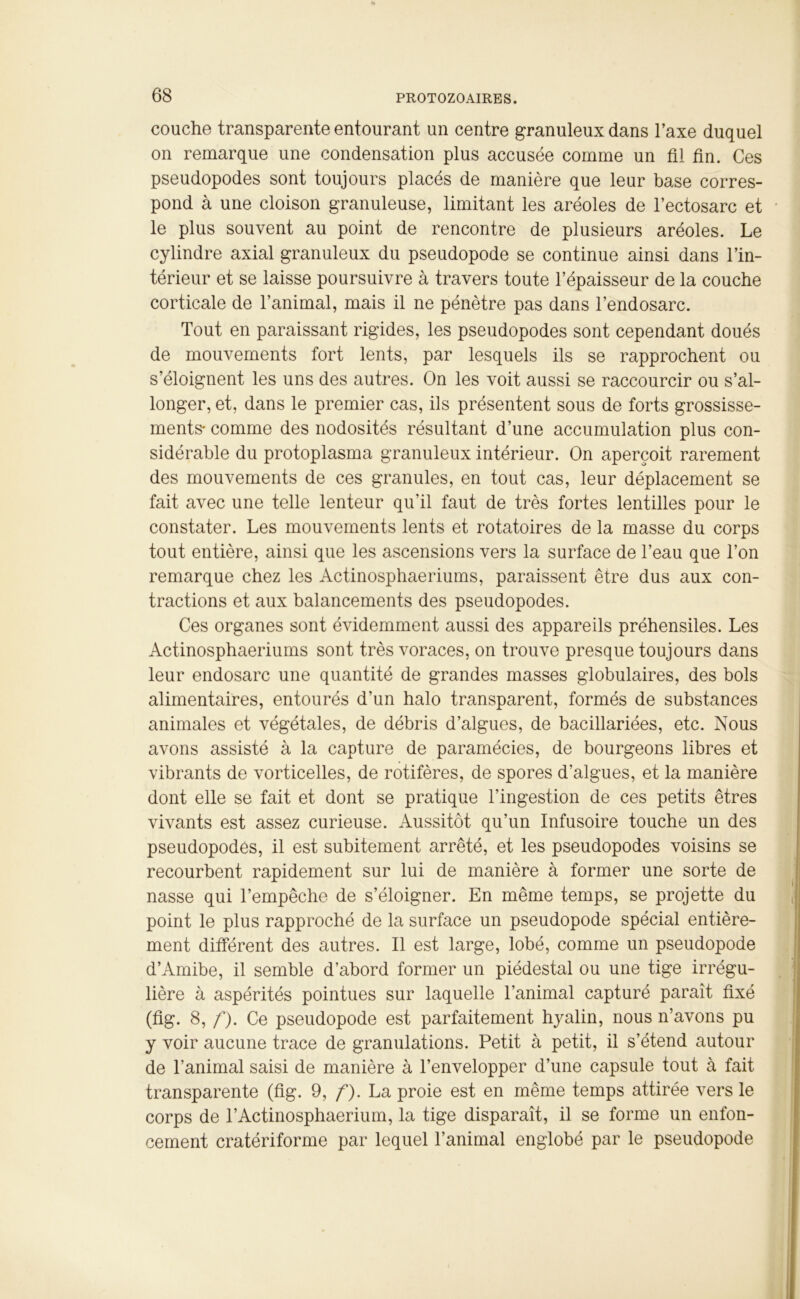 couche transparente entourant un centre granuleux dans l’axe duquel on remarque une condensation plus accusée comme un fil fin. Ces pseudopodes sont toujours placés de manière que leur base corres- pond à une cloison granuleuse, limitant les aréoles de l’ectosarc et le plus souvent au point de rencontre de plusieurs aréoles. Le cylindre axial granuleux du pseudopode se continue ainsi dans l’in- térieur et se laisse poursuivre à travers toute l’épaisseur de la couche corticale de l’animal, mais il ne pénètre pas dans l’endosarc. Tout en paraissant rigides, les pseudopodes sont cependant doués de mouvements fort lents, par lesquels ils se rapprochent ou s’éloignent les uns des autres. On les voit aussi se raccourcir ou s’al- longer, et, dans le premier cas, ils présentent sous de forts grossisse- ments* comme des nodosités résultant d’une accumulation plus con- sidérable du protoplasma granuleux intérieur. On aperçoit rarement des mouvements de ces granules, en tout cas, leur déplacement se fait avec une telle lenteur qu'il faut de très fortes lentilles pour le constater. Les mouvements lents et rotatoires de la masse du corps tout entière, ainsi que les ascensions vers la surface de l’eau que l’on remarque chez les Actinosphaeriums, paraissent être dus aux con- tractions et aux balancements des pseudopodes. Ces organes sont évidemment aussi des appareils préhensiles. Les Actinosphaeriums sont très voraces, on trouve presque toujours dans leur endosarc une quantité de grandes masses globulaires, des bols alimentaires, entourés d’un halo transparent, formés de substances animales et végétales, de débris d’algues, de bacillariées, etc. Nous avons assisté à la capture de paramécies, de bourgeons libres et vibrants de vorticelles, de rotifères, de spores d’algues, et la manière dont elle se fait et dont se pratique l’ingestion de ces petits êtres vivants est assez curieuse. Aussitôt qu’un Infusoire touche un des pseudopodes, il est subitement arrêté, et les pseudopodes voisins se recourbent rapidement sur lui de manière à former une sorte de nasse qui l’empêche de s’éloigner. En même temps, se projette du point le plus rapproché de la surface un pseudopode spécial entière- ment différent des autres. Il est large, lobé, comme un pseudopode d’Amibe, il semble d’abord former un piédestal ou une tige irrégu- lière à aspérités pointues sur laquelle l’animal capturé paraît fixé (fig. 8, f). Ce pseudopode est parfaitement hyalin, nous n’avons pu y voir aucune trace de granulations. Petit à petit, il s’étend autour de l’animal saisi de manière à l’envelopper d’une capsule tout à fait transparente (fig. 9, f). La proie est en même temps attirée vers le corps de l’Actinosphaerium, la tige disparaît, il se forme un enfon- cement cratériforme par lequel l’animal englobé par le pseudopode