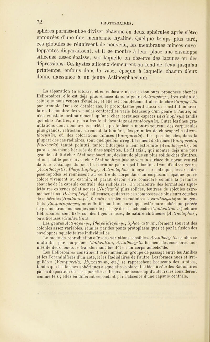 PROTOZOAIRES. sphères paraissent se diviser chacune en deux sphérules après s’être entourées d’une fine membrane hyaline. Quelque temps plus tard, ces globules se réunissent de nouveau, les membranes minces enve- loppantes disparaissent, et il se montre à leur place une enveloppe siliceuse assez épaisse, sur laquelle on observe des lacunes ou des dépressions. Ces kystes siliceux demeurent au fond de l’eau jusqu’au printemps, enfouis dans la vase, époque à laquelle chacun d’eux donne naissance à un jeune Actinosphaerium. La séparation en ectosarc et en endosarc n’est pas toujours prononcée chez les Héliozoaires, elle est déjà plus effacée dans le genre Actinophrys, très voisin de celui que nous venons d’étudier, et elle est complètement absente chez Vampyrella par exemple. Dans ce dernier cas, le protoplasme perd aussi sa constitution aréo- laire. Le nombre des vacuoles contractiles varie beaucoup d’un genre à l’autre, on n’en constate ordinairement qu’une chez certaines espèces (Actinophrys) tandis que chez d’autres, il y en a trente et davantage (Acanthocystis).. Outre les fines gra- nulations dont nous avons parlé, le protoplasme montre souvent des corpuscules plus grands, réfractant vivement la lumière, des granules de chlorophylle (.Acan- thocystis), ou des colorations diffuses (Vampyrella). Les pseudopodes, dans la plupart des cas radiaires, sont quelquefois irrégulièrement distribués ( Vampyrella, Nuclearia), tantôt pointus, tantôt bifurqués à leur extrémité (Acanthocystis), ou paraissent même hérissés de fines aspérités. Le fil axial, qui montre déjà une plus grande solidité chez l’Actinosphaerium, devient de plus en plus solide chez d’autres, et on peut le poursuivre chez l’Actinophrys jusque vers la surface du noyau central dans le voisinage duquel il se termine par un petit bouton. Dans d’autres genres (.Acanthocystis, Rhapidiophrys, Actinolophus) à noyau excentrique, les axes des pseudopodes se réunissent au centre du corps dans un corpuscule opaque qui se colore vivement au carmin, et paraît devoir être considéré comme la première ébauche de la capsule centrale des radiolaires. On rencontre des formations sque- lettaires externes gélatineuses (.Nuclearia) plus solides, feutrées de spiculés extrê- mement fins (.Helerophrys), siliceuses, et dans ce cas composées de plusieurs couches de sphérules (.Hyaiolampe), formés de spiculés radiaires (Acanthocystis) ou tangen- tiels (Rhapidiophrys), ou enfin formant une enveloppe extérieure sphérique percée de grands trous ou lacunes pour le passage des pseudopodes (Clathrulina). Quelques Héliozoaires sont fixés sur des tiges creuses, de nature chitineuse (Actinolophus), ou siliceuses (Clathrulina). Les genres Actinophrys, Rhaphidiophrys, Sphaeraslrum, forment souvent des colonies assez variables, réunies par des ponts protoplasmiques et parla fusion des enveloppes squelettaires individuelles. Le mode de reproduction offre des variations sensibles. A canthocystis semble se multiplier par bourgeons, Clathrulina, Acanthocystis forment des zoospores mu- nies de deux fouets se transformant bientôt en un corps amoeboïde. Les Héliozoaires constituent évidemment un groupe de passage entre les Amibes et les Foraminifères d’un côté, et les Radiolaires de l’autre. Les formes nues et irré- gulières (Vampyrella, Myxastrum, etc.) se rapprochent beaucoup des Amibes, tandis que les formes sphériques à squelette se placent si bien à côté des Radiolaires par la disposition de ces squelettes siliceux, que beaucoup d’auteurs les considèrent comme tels ; elles en diffèrent cependant par l’absence d’une capsule centrale.
