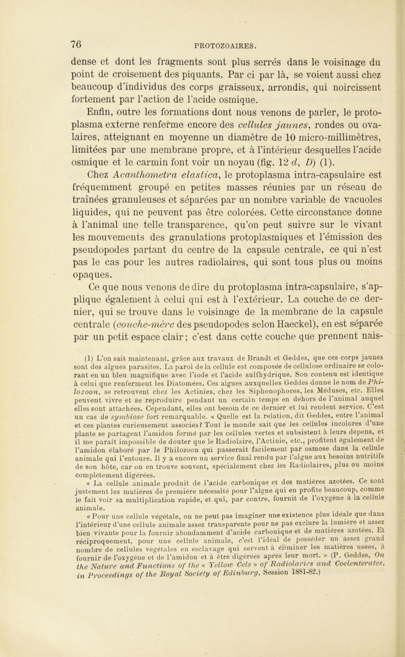 dense et dont les fragments sont plus serrés dans le voisinage du point de croisement des piquants. Par ci par là, se voient aussi chez beaucoup d’individus des corps graisseux, arrondis, qui noircissent fortement par l’action de l’acide osmique. Enfin, outre les formations dont nous venons de parler, le proto- plasma externe renferme encore des cellules jaunes, rondes ou ova- laires, atteignant en moyenne un diamètre de 10 micro-millimètres, limitées par une membrane propre, et à l’intérieur desquelles l’acide osmique et le carmin font voir un noyau (fig. 12 cl, D) (1). Chez Acanthometra elastica, le protoplasma intra-capsulaire est fréquemment groupé en petites masses réunies par un réseau de traînées granuleuses et séparées par un nombre variable de vacuoles liquides, qui ne peuvent pas être colorées. Cette circonstance donne à l’animal une telle transparence, qu’on peut suivre sur le vivant les mouvements des granulations protoplasmiques et l’émission des pseudopodes partant du centre de la capsule centrale, ce qui n’est pas le cas pour les autres radiolaires, qui sont tous plus ou moins opaques. Ce que nous venons de dire du protoplasma intra-capsulaire, s’ap- plique également à celui qui est à l’extérieur. La couche de ce der- nier, qui se trouve dans le voisinage de la membrane de la capsule centrale (couche-mère des pseudopodes selon Haeckel), en est séparée par un petit espace clair ; c’est dans cette couche que prennent nais- (1) L’on sait maintenant, grâce aux travaux de Brandt et Geddes, que ces corps jaunes sont des algues parasites. La paroi delà cellule est composée de cellulose ordinaire se colo- rant en un bleu magnifique avec l'iode et l’acide sulfhydrique. Son contenu est identique à celui que renferment les Diatomées. Ces algues auxquelles Geddes donne le nom dePhi- lozoon, se retrouvent chez les Actinies, chez les Siphonopliores, les Méduses, etc. Elles peuvent vivre et se reproduire pendant un certain temps en dehors de l’animal auquel elles sont attachées. Cependant, elles ont besoin de ce dernier et lui rendent service. C est un cas de symbiose fort remarquable, a Quelle est la relation, dit Geddes, entre 1 animal et ces plantes curieusement associés? Tout le monde sait que les cellules incolores d une plante se partagent l’amidon formé par les cellules vertes et subsistent à leurs dépens, et il me paraît impossible de douter que le Radiolaire, l’Actinie, etc., profitent également de l’amidon élaboré par le Philozoon qui passerait facilement par osmose dans la cellule animale qui l'entoure. Il y a encore un service final rendu par l’algue aux besoins nutritifs de son hôte, car on en trouve souvent, spécialement chez les Radiolaires, plus ou moins complètement digérées. a La cellule animale produit de l’acide carbonique et des matières azotées. Ce sont justement les matières de première nécessité pour l’algue qui en profite beaucoup, comme le fait voir sa multiplication rapide, et qui, par contre, fournit de 1 oxygène a la cellule animale. « Pour une cellule végétale, on ne peut pas imaginer une existence plus idéale que dans l’intérieur d’une cellule animale assez transparente pour ne pas exclure la lumière et assez bien vivante pour la fournir abondamment d’acide carbonique et de matières azotées. Et réciproquement, pour une cellule animale, c’est l'idéal de posséder un assez grand nombre de cellules végétales en esclavage qui servent à éliminer les matières usées, à fournir de l’oxygène et de l’amidon et à être digérées après leur mort. » (P. Geddes, On the Nature and Functions of the « Yellow Cels » of Radiolavies and Coelenten aies, in Proceedings of the Royal Society of Edinburg, Session 1881-82.)