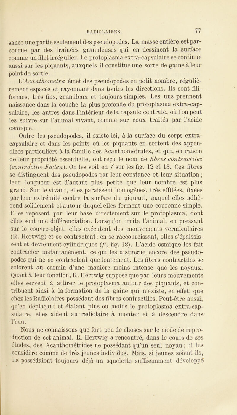 sance une partie seulement des pseudopodes. La masse entière est par- courue par des traînées granuleuses qui en dessinent la surface comme un filet irrégulier. Le protoplasma extra-capsulaire se continue aussi sur les piquants, auxquels il constitue une sorte de gaine à leur point de sortie. L'Acanthometra émet des pseudopodes en petit nombre, réguliè- rement espacés et rayonnant dans toutes les directions. Ils sont fili- formes, très fins, granuleux et toujours simples. Les uns prennent naissance dans la couche la plus profonde du protoplasma extra-cap- sulaire, les autres dans l’intérieur de la capsule centrale, où l’on peut les suivre sur l’animal vivant, comme sur ceux traités par l’acide osmique. Outre les pseudopodes, il existe ici, à la surface du corps extra- capsulaire et dans les points où les piquants en sortent des appen- dices particuliers à la famille des Acanthométrides, et qui, en raison de leur propriété essentielle, ont reçu le nom de fibres contractiles (contractile Fàden). On les voit en f sur les fig. 12 et 13. Ces fibres se distinguent des pseudopodes par leur constance et leur situation ; leur longueur est d’autant plus petite que leur nombre est plus grand. Sur le vivant, elles paraissent homogènes, très effilées, fixées par leur extrémité contre la surface du piquant, auquel elles adhè- rend solidement et autour duquel elles forment une couronne simple. Elles reposent par leur base directement sur le protoplasma, dont elles sont une différenciation. Lorsqu’on irrite l’animal, en pressant sur le couvre-objet, elles exécutent des mouvements vermiculaires (R. Hertwig) et se contractent ; en se raccourcissant, elles s’épaissis- sent et deviennent cylindriques (/*', fig. 12). L’acide osmique les fait contracter instantanément, ce qui les distingue encore des pseudo- podes qui ne se contractent que lentement. Les fibres contractiles se colorent au carmin d’une manière moins intense que les noyaux. Quant à leur fonction, R. Hertwig suppose que par leurs mouvements elles servent à attirer le protoplasma autour des piquants, et con- tribuent ainsi à la formation de la gaine qui n’existe, en effet, que chez les Radiolaires possédant des fibres contractiles. Peut-être aussi, qu’en déplaçant et étalant plus ou moins le protoplasma extra-cap- sulaire, elles aident au radiolaire à monter et à descendre dans l’eau. Nous ne connaissons que fort peu de choses sur le mode de repro- duction de cet animal. R. Hertwig a rencontré, dans le cours de ses études, des Acanthométrides ne possédant qu’un seul noyau ; il les considère comme de très jeunes individus. Mais, si jeunes soient-ils, ils possédaient toujours déjà un squelette suffisamment développé