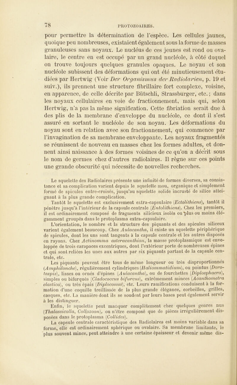 pour permettre la détermination de l’espèce. Les cellules jaunes, quoique peu nombreuses, existaient également sous la forme de masses granuleuses sans noyaux. Le nucléus de ces jeunes est rond ou ova- laire, le centre en est occupé par un grand nucléole, à côté duquel on trouve toujours quelques granules opaques. Le noyau et son nucléole subissent des déformations qui ont été minutieusement étu- diées par Hertwig (Voir Der Organismus der Radiolarien, p. 19 et suiv.), ils prennent une structure fibrillaire fort complexe, voisine, en apparence, de celle décrite par Bütschli, Strassburger, etc. ; dans les noyaux cellulaires en voie de fractionnement, mais qui, selon Hertwig, n’a pas la même signification. Cette fibriation serait due à des plis de la membrane d’enveloppe du nucléole, ce dont il s’est assuré en sortant le nucléole de son noyau. Les déformations du noyau sont en relation avec son fractionnement, qui commence par l’invagination de sa membrane enveloppante. Les noyaux fragmentés se réunissent de nouveau en masses chez les formes adultes, et don- nent ainsi naissance à des formes voisines de ce qu’on a décrit sous le nom de germes chez d’autres radiolaires. Il règne sur ces points une grande obscurité qui nécessite de nouvelles recherches. Le squelette des Radiolaires présente une infinité de formes diverses, sa consis- tance et sa complication varient depuis le squelette mou, organique et simplement formé de spiculés entre-croisés, jusqu’au squelette solide incrusté de silice attei- gnant à la plus grande complication. Tantôt le squelette est exclusivement extra-capsulaire (Ectolithiens), tantôt il pénètre jusqu’à l’intérieur de la capsule centrale (.Entolithiens). Chez les premiers, il est ordinairement composé de fragments silicieux isolés ou*plusou moins élé- gamment groupés dans le protoplasma extra-capsulaire. L’orientation, le nombre et la structure des piquants et des spiculés siliceux varient également beaucoup. Chez Aulacantha, il existe un squelette périphérique de spiculés, dont les uns sont tangents à la capsule centrale et les autres disposés en rayons. Chez Actinomma asteracanthion, la masse protoplasmique est enve- loppée de trois carapaces excentriques, dont l’extérieur porte de nombreuses épines et qui sont reliées les unes aux autres par six piquants partant de la capsule cen- trale, etc. Les piquants peuvent être tous de même longueur ou très disproportionnés (.Amphilonche), régulièrement cylindriques (.Haliommatidium), ou pointus (Doro- taspis), lisses ou ornés d’épines (Aulacantha), ou de fourchettes (Diplosphaera), simples ou bifurqués (Gladococcus bifurcus), extrêmement minces (Acanthometra elastica), ou très épais (Diploconus), etc. Leurs ramifications conduisent à la for- mation d’une coquille treillissée de la plus grande élégance, corbeilles, grilles, casques, etc. La manière dont ils se soudent par leurs bases peut également servir à les distinguer. Enfin, le squelette peut manquer complètement chez quelques genres nus (Thalassicolla, Collozoon), ou n’être composé que de pièces irrégulièrement dis- posées dans le protoplasma (Collides). La capsule centrale caractéristique des Radiolaires est moins variable dans sa forme, elle est ordinairement sphérique ou ovalaire. Sa membrane limitante, le plus souvent mince, peut atteindre à une certaine épaisseur et devenir même dis-