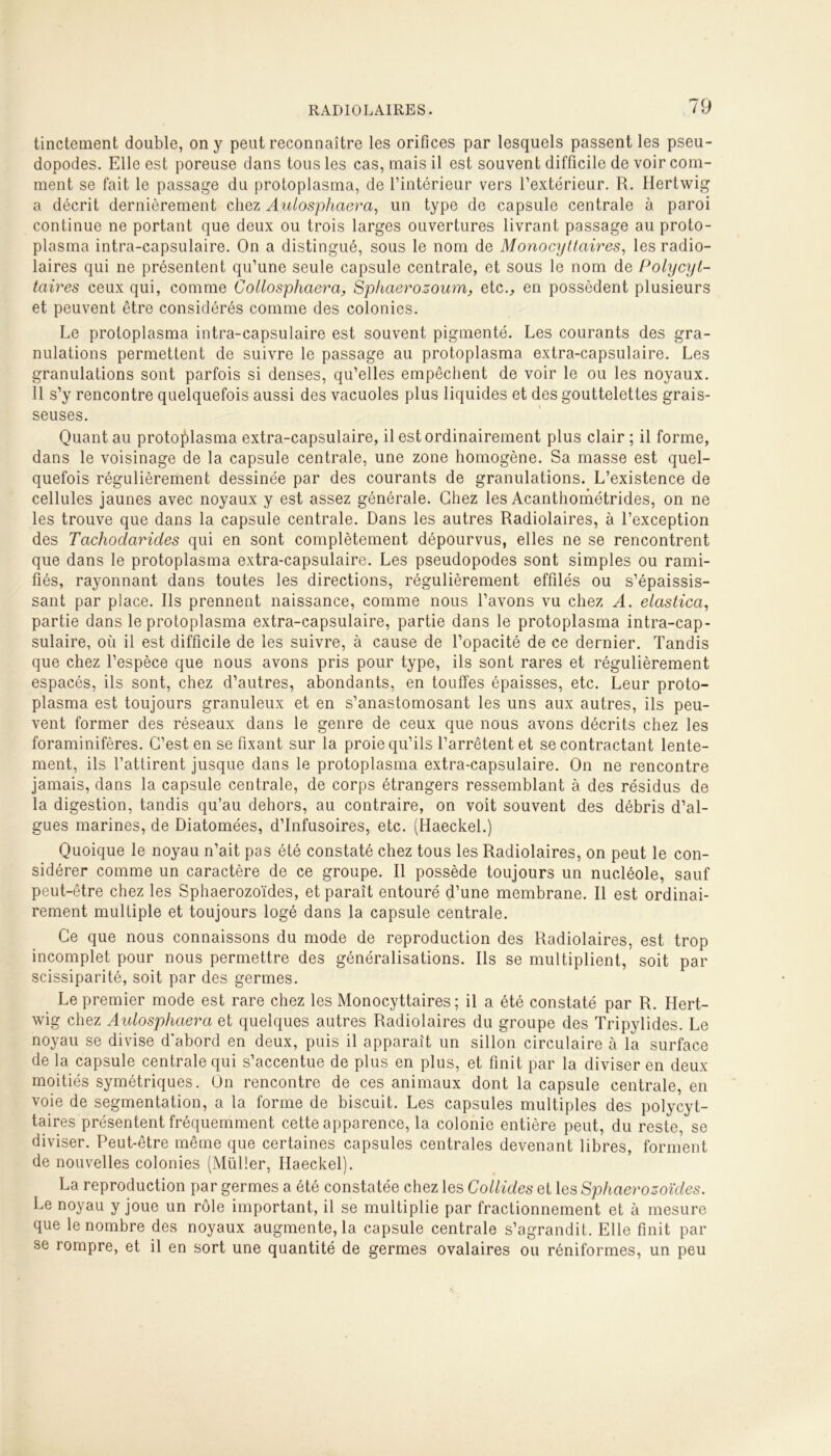 tinctement double, on y peut reconnaître les orifices par lesquels passent les pseu- dopodes. Elle est poreuse dans tous les cas, mais il est souvent difficile de voir com- ment se fait le passage du protoplasma, de l’intérieur vers l’extérieur. R. Hertwig a décrit dernièrement chez Aulosphaera, un type de capsule centrale à paroi continue ne portant que deux ou trois larges ouvertures livrant passage au proto- plasma intra-capsulaire. On a distingué, sous le nom de Monocyttciires, les radio- laires qui ne présentent qu’une seule capsule centrale, et sous le nom de Polycyt- taires ceux qui, comme Collosphaerci, Sphaerozoum, etc., en possèdent plusieurs et peuvent être considérés comme des colonies. Le protoplasma intra-capsulaire est souvent pigmenté. Les courants des gra- nulations permettent de suivre le passage au protoplasma extra-capsulaire. Les granulations sont parfois si denses, qu’elles empêchent de voir le ou les noyaux. 11 s’y rencontre quelquefois aussi des vacuoles plus liquides et des gouttelettes grais- seuses. Quant au protoplasma extra-capsulaire, il est ordinairement plus clair ; il forme, dans le voisinage de la capsule centrale, une zone homogène. Sa masse est quel- quefois régulièrement dessinée par des courants de granulations. L’existence de cellules jaunes avec noyaux y est assez générale. Chez les Acanthométrides, on ne les trouve que dans la capsule centrale. Dans les autres Radiolaires, à l’exception des Tachodarides qui en sont complètement dépourvus, elles ne se rencontrent que dans le protoplasma extra-capsulaire. Les pseudopodes sont simples ou rami- fiés, rayonnant dans toutes les directions, régulièrement effilés ou s’épaissis- sant par place. Ils prennent naissance, comme nous l’avons vu chez A. elastica, partie dans le protoplasma extra-capsulaire, partie dans le protoplasma intra-cap- sulaire, où il est difficile de les suivre, à cause de l’opacité de ce dernier. Tandis que chez l’espèce que nous avons pris pour type, ils sont rares et régulièrement espacés, ils sont, chez d’autres, abondants, en touffes épaisses, etc. Leur proto- plasma est toujours granuleux et en s’anastomosant les uns aux autres, ils peu- vent former des réseaux dans le genre de ceux que nous avons décrits chez les foraminifères. C’est en se fixant sur la proie qu’ils l’arrêtent et se contractant lente- ment, ils l’attirent jusque dans le protoplasma extra-capsulaire. On ne rencontre jamais, dans la capsule centrale, de corps étrangers ressemblant à des résidus de la digestion, tandis qu’au dehors, au contraire, on voit souvent des débris d’al- gues marines, de Diatomées, d’infusoires, etc. (Haeckel.) Quoique le noyau n’ait pas été constaté chez tous les Radiolaires, on peut le con- sidérer comme un caractère de ce groupe. Il possède toujours un nucléole, sauf peut-être chez les Sphaerozoïdes, et paraît entouré d’une membrane. Il est ordinai- rement multiple et toujours logé dans la capsule centrale. Ce que nous connaissons du mode de reproduction des Radiolaires, est trop incomplet pour nous permettre des généralisations. Ils se multiplient, soit par scissiparité, soit par des germes. Le premier mode est rare chez les Monocyttaires ; il a été constaté par R. Hert- wig chez Aulosphaera et quelques autres Radiolaires du groupe des Tripylides. Le noyau se divise d'abord en deux, puis il apparaît un sillon circulaire à la surface de la capsule centrale qui s’accentue de plus en plus, et finit par la diviser en deux moitiés symétriques. On rencontre de ces animaux dont la capsule centrale, en voie de segmentation, a la forme de biscuit. Les capsules multiples des polycyt- taires présentent fréquemment cette apparence, la colonie entière peut, du reste, se diviser. Peut-être même que certaines capsules centrales devenant libres, forment de nouvelles colonies (Müller, Haeckel). La reproduction par germes a été constatée chez les Collides et les Sphaerozoïdes. Le noyau y joue un rôle important, il se multiplie par fractionnement et à mesure que le nombre des noyaux augmentera capsule centrale s’agrandit. Elle finit par se rompre, et il en sort une quantité de germes ovalaires ou réniformes, un peu