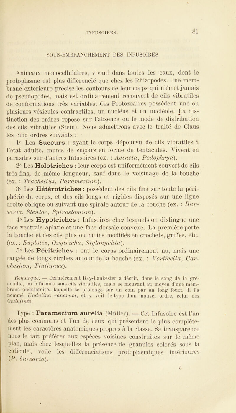 SOUS-EMBRANCHEMENT DES INFUSOIRES Animaux monocellulaires, vivant dans toutes les eaux, dont le protoplasme est plus différencié que chez les Rhizopodes. Une mem- brane extérieure précise les contours de leur corps qui n’émet jamais de pseudopodes, mais est ordinairement recouvert de cils vibratiles de conformations très variables. Ces Protozoaires possèdent une ou plusieurs vésicules contractiles, un nucléus et un nucléole. La dis- tinction des ordres repose sur l'absence ou le mode de distribution des cils vibratiles (Stein). Nous admettrons avec le traité de Claus les cinq ordres suivants : 1° Les Suceurs : ayant le corps dépourvu de cils vibratiles à l’état adulte, munis de suçoirs en forme de tentacules. Vivent en parasites sur d’autres Infusoires (ex. : Acineta, Podophrya). 2° Les Holotriches : leur corps est uniformément couvert de cils très fins, de même longueur, sauf dans le voisinage de la bouche (ex. : Trachelius, Paramecium). 3° Les Hétérotriches : possèdent des cils fins sur toute la péri- phérie du corps, et des cils longs et rigides disposés sur une ligne droite oblique ou suivant une spirale autour de la bouche (ex. : Bur- saria, Stentor, Spirostomum). 4° Les Hypotriches : Infusoires chez lesquels on distingue une face ventrale aplatie et une face dorsale convexe. La première porte la bouche et des cils plus ou moins modifiés en crochets, griffes, etc. (ex. : Euplotes, Oxy tricha, S ty tony chia). 5° Les Péritriches : ont le corps ordinairement nu, mais une rangée de longs cirrhes autour de la bouche (ex. : Vorticella, Car- chesium, Tintinnus). Remarque. — Dernièrement Ray-Lankester a décrit, dans le sang de la gre- nouille, un Infusoire sans cils vibratiles, mais se mouvant au moyen d’une mem- brane ondulatoire, laquelle se prolonge sur un coin par un long fouet. Il l’a nommé Undulina ranarum, et y voit le type d’un nouvel ordre, celui des Ondulinés. Type : Paramecium aurelia (Müller). — Cet Infusoire est l’un des plus communs et l’un de ceux qui présentent le plus complète- ment les caractères anatomiques propres à la classe. Sa transparence nous le fait préférer aux espèces voisines construites sur le même plan, mais chez lesquelles la présence de granules colorés sous la cuticule, voile les différenciations protoplasmiques intérieures (P. bursarid).