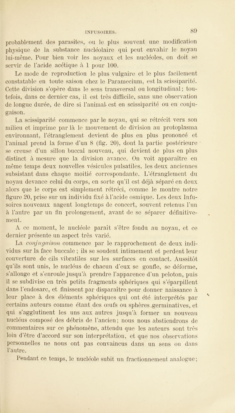 probablement des parasites, ou le plus souvent une modification physique de la substance nucléolaire qui peut envahir le noyau lui-même. Pour bien voir les noyaux et les nucléoles, on doit se servir de l'acide acétique à 1 pour 100. Le mode de reproduction le plus vulgaire et le plus facilement constatable en toute saison chez le Paramecium, est la scissiparité. Cette division s’opère dans le sens transversal ou longitudinal ; tou- tefois, dans ce dernier cas, il est très difficile, sans une observation de longue durée, de dire si l’animal est en scissiparité ou en conju- gaison. La scissiparité commence par le noyau, qui se rétrécit vers son milieu et imprime par là le mouvement de division au protoplasma environnant, l’étranglement devient de plus en plus prononcé et l’animal prend la forme d’un 8 (fîg. 20), dont la partie postérieure se creuse d’un sillon buccal nouveau, qui devient de plus en plus distinct à mesure que la division avance. On voit apparaître en même temps deux nouvelles vésicules pulsatiles, les deux anciennes subsistant dans chaque moitié correspondante. L’étranglement du noyau devance celui du corps, en sorte qu’il est déjà séparé en deux alors que le corps est simplement rétréci, comme le montre notre figure 20, prise sur un individu fixé à l’acide osmique. Les deux Infu- soires nouveaux nagent longtemps de concert, souvent retenus l’un à l’autre par un fin prolongement, avant de se séparer définitive- ment. A ce moment, le nucléole paraît s’être fondu au noyau, et ce dernier présente un aspect très varié. La conjugaison commence par le rapprochement de deux indi- vidus sur la face buccale ; ils se soudent intimement et perdent leur couverture de cils vibratiles sur les surfaces en contact. Aussitôt qu’ils sont unis, le nucléus de chacun d’eux se gonfle, se déforme, s’allonge et s’enroule jusqu’à prendre l’apparence d’un peloton, puis il se subdivise en très petits fragments sphériques qui s’éparpillent dans l’endosarc, et finissent par disparaître pour donner naissance à leur place à des éléments sphériques qui ont été interprétés par certains auteurs comme étant des œufs ou sphères .germinatives, et qui s’agglutinent les uns aux autres jusqu’à former un nouveau nucléus composé des débris de l’ancien; nous nous abstiendrons de commentaires sur ce phénomène, attendu que les auteurs sont très loin d’être d’accord sur son interprétation, et que nos observations personnelles ne nous ont pas convaincus dans un sens ou dans l’autre. Pendant ce temps, le nucléole subit un fractionnement analogue;