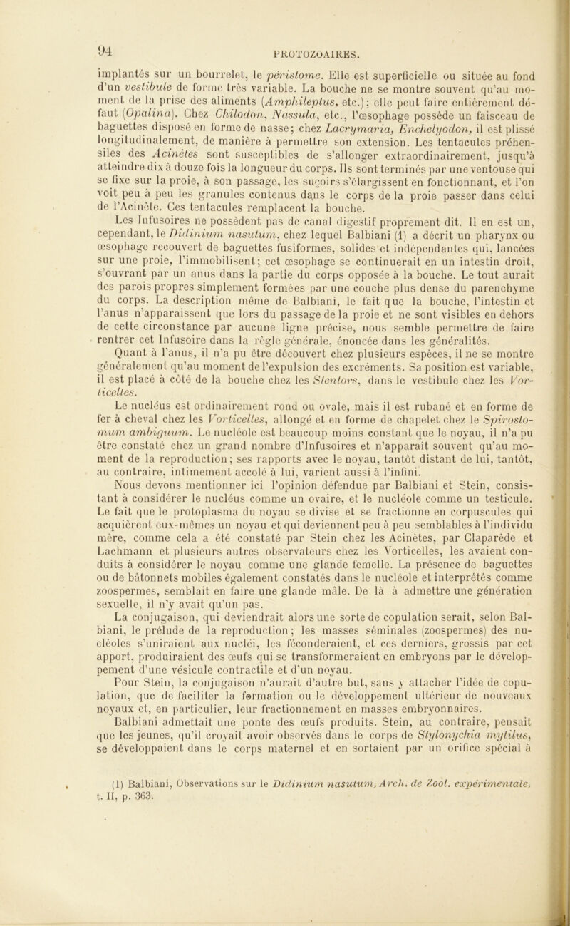 implantés sur un bourrelet, le péristome. Elle est superficielle ou située au fond d’un vestibule de forme très variable. La bouche ne se montre souvent qu’au mo- ment de la prise des aliments [Amphileptus, etc.); elle peut faire entièrement dé- faut (Opalina). Chez Chilodon, Nassula, etc., l’œsophage possède un faisceau de baguettes disposé en lorme de nasse; chez Lacrymaria, Enchelyodon, il est plissé longitudinalement, de manière à permettre son extension. Les tentacules préhen- siles des Acinètes sont susceptibles de s’allonger extraordinairement, jusqu’à atteindre dix à douze fois la longueur du corps. Ils sont terminés par une ventouse qui se fixe sur la proie, à son passage, les suçoirs s’élargissent en fonctionnant, et l’on voit peu à peu les granules contenus dans le corps de la proie passer dans celui de l’Acinète. Ces tentacules remplacent la bouche. Les Infusoires ne possèdent pas de canal digestif proprement dit. 11 en est un, cependant, le Didinium nasutum, chez lequel Balbiani (1) a décrit un pharynx ou œsophage recouvert de baguettes fusiformes, solides et indépendantes qui, lancées sur une proie, l’immobilisent; cet œsophage se continuerait en un intestin droit, s’ouvrant par un anus dans la partie du corps opposée à la bouche. Le tout aurait des parois propres simplement formées par une couche plus dense du parenchyme du corps. La description même de Balbiani, le fait que la bouche, l’intestin et l’anus n’apparaissent que lors du passage de la proie et ne sont visibles en dehors de cette circonstance par aucune ligne précise, nous semble permettre de faire rentrer cet Infusoire dans la règle générale, énoncée dans les généralités. Quant à l’anus, il n’a pu être découvert chez plusieurs espèces, il ne se montre généralement qu’au moment de l’expulsion des excréments. Sa position est variable, il est placé à coté de la bouche chez les Stentors, dans le vestibule chez les Vor- ticelles. Le nucléus est ordinairement rond ou ovale, mais il est rubané et en forme de fer à cheval chez les ]'orticelles, allongé et en forme de chapelet chez le Spirosto- mum ambicjuum. Le nucléole est beaucoup moins constant que le noyau, il n’a pu être constaté chez un grand nombre d’infusoires et n’apparaît souvent qu’au mo- ment de la reproduction; ses rapports avec le noyau, tantôt distant de lui, tantôt, au contraire, intimement accolé à lui, varient aussi à l’infini. Nous devons mentionner ici l’opinion défendue par Balbiani et Stein, consis- tant à considérer le nucléus comme un ovaire, et le nucléole comme un testicule. Le fait que le protoplasma du noyau se divise et se fractionne en corpuscules qui acquièrent eux-mêmes un noyau et qui deviennent peu à peu semblables à l’individu mère, comme cela a été constaté par Stein chez les Acinètes, par Claparède et Lachmann et plusieurs autres observateurs chez les Vorticelles, les avaient con- duits à considérer le noyau comme une glande femelle. La présence de baguettes ou de bâtonnets mobiles également constatés dans le nucléole et interprétés comme zoospermes, semblait en faire une glande mâle. De là à admettre une génération sexuelle, il n’y avait qu’un pas. La conjugaison, qui deviendrait alors une sorte de copulation serait, selon Bal- biani, le prélude de la reproduction ; les masses séminales (zoospermes) des nu- cléoles s’uniraient aux nucléi, les féconderaient, et ces derniers, grossis par cet apport, produiraient des œufs qui se transformeraient en embryons par le dévelop- pement d’une vésicule contractile et d’un noyau. Pour Stein, la conjugaison n’aurait d’autre but, sans y attacher l’idée de copu- lation, que de faciliter la formation ou le développement ultérieur de nouveaux noyaux et, en particulier, leur fractionnement en masses embryonnaires. Balbiani admettait une ponte des œufs produits. Stein, au contraire, pensait que les jeunes, qu’il croyait avoir observés dans le corps de Styloîiyc/rici mytüus, se développaient dans le corps maternel et en sortaient par un orifice spécial à (1) Balbiani, Observations sur le Didinium nasutum, Arch, de Zool. expérimentale, t. II, p. 363.