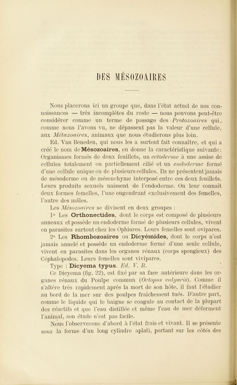 Nous placerons ici un groupe que, dans l’état actuel de nos con- naissances — très incomplètes du reste — nous pouvons peut-être considérer comme un terme de passage des Protozoaires qui, comme nous l’avons vu, ne dépassent pas la valeur d’une cellule, aux Métazoaires, animaux que nous étudierons plus loin. Ed. Van Beneden, qui nous les a surtout fait connaître, et qui a créé le nom deMésozoaires, en donne la caractéristique suivante: Organismes formés de deux feuillets, un ectoderme à une assise de cellules totalement ou partiellement cilié et un endoderme formé d’une cellule unique ou de plusieurs cellules. Ils ne présentent jamais de mésoderme ou de mésenchyme interposé entre ces deux feuillets. Leurs produits sexuels naissent de l’endoderme. On leur connaît deux formes femelles, l’une engendrant exclusivement des femelles, l’autre des mâles. Les Mèsozoaires se divisent en deux groupes : 1° Les Orthonectides, dont le corps est composé de plusieurs anneaux et possède un endoderme formé de plusieurs cellules, vivent en parasites surtout chez les Ophiures. Leurs femelles sont ovipares. 2° Les Rhombozoaires ou Dicyémides, dont le corps n’est jamais annelé et possède un endoderme formé d’une seule cellule, vivent en parasites dans les organes rénaux (corps spongieux) des Céphalopodes. Leurs femelles sont vivipares. Type : Dicyema typus. Ed. V. B. Ce Dicyema (fig. 22), est üxé par sa face antérieure dans les or- ganes rénaux du Poulpe commun (Octopus vnlgaris). Comme il s’altère très rapidement après la mort de son hôte, il faut l’étudier au bord de la mer sur des poulpes fraîchement tués. D’autre part, comme le liquide qui le baigne se coagule au contact de la plupart des réactifs et que l’eau distillée et même l’eau de mer déforment l’animal, son étude n’est pas facile. Nous l’observerons d’abord à l’état frais et vivant. Il se présente sous la forme d’un long cylindre aplati, portant sur les côtés des