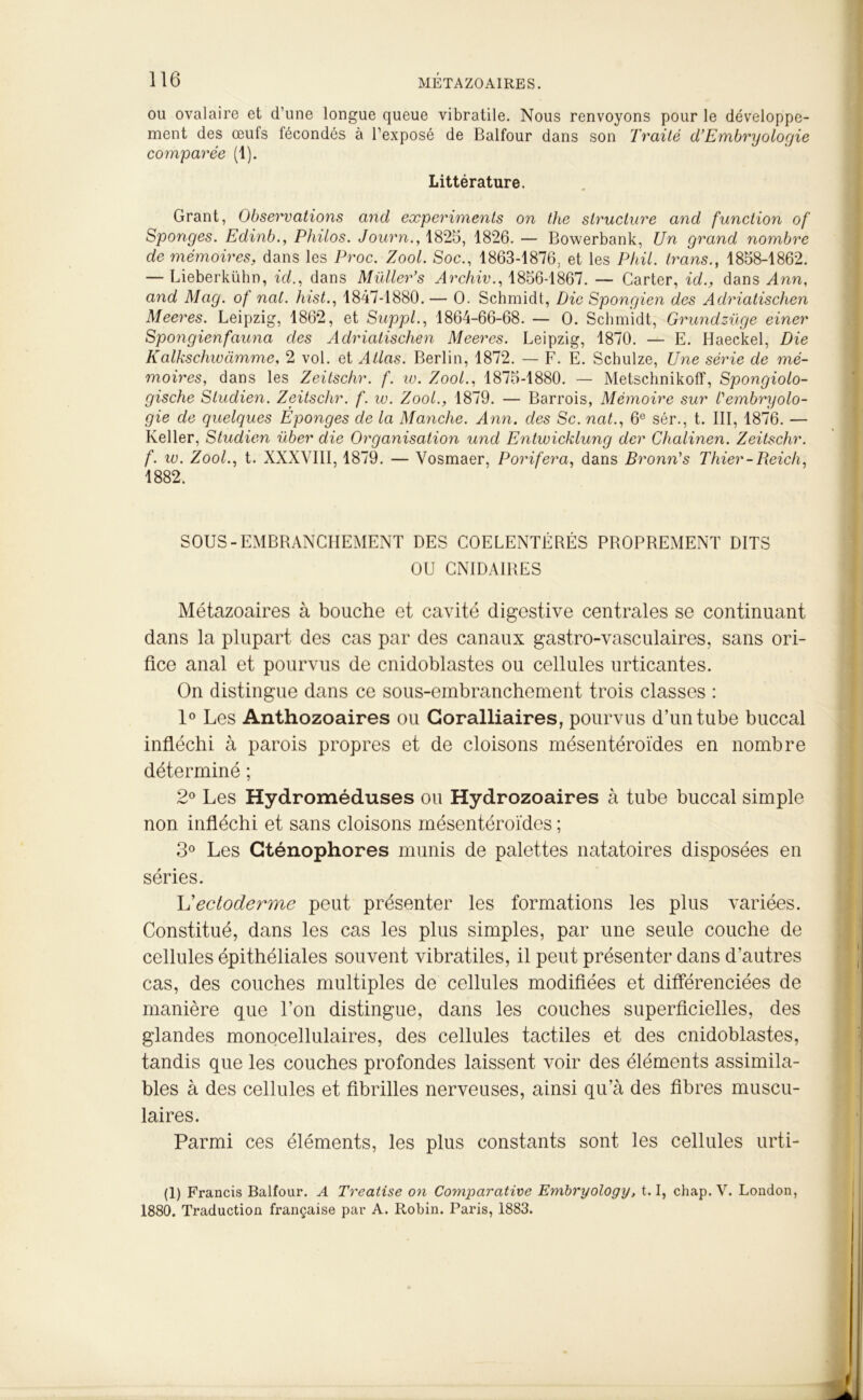 ou ovalaire et d’une longue queue vibratile. Nous renvoyons pour le développe- ment des œufs lécondés à l’exposé de Balfour dans son Traité dé Embryologie comparée (1). Littérature. Grant, Observations and experimenls on the structure and function of Sponges. Edinb., Philos. Journ., 1825, 1826. — Bowerbank, Un grand nombre de mémoires, dans les Proc. Zool. Soc., 1863-1876. et les Pftil. trans., 1858-1862. — Lieberkühn, id., dans Maller*s Archiv., 1856-1867. — Carter, id., dans Ann, and Mag. of nal. hist., 1847-1880.— O. Schmidt, Die Spongien des Adriatischen Meeres. Leipzig, 1862, et Suppl., 1864-66-68. — O. Schmidt, Grundzüge einer Spo7igienfauna des Adriatischen Meeres. Leipzig, 1870. — E. Haeckel, Die Kalkschwàmme, 2 vol. et Allas. Berlin, 1872. — F. E. Schulze, Une série de mé- moires, dans les Zeitschr. f. io. Zool., 1875-1880. — MetschnikofF, Spongiolo- gische Sludien. Zeitschr. f. w. Zool., 1879. — Barrois, Mémoire sur l'embryolo- gie de quelques Éponges de la Manche. Ann. des Sc. nat., 6e sér., t. III, 1876. — Relier, Studien über die Organisation und Entwicklung der Chalinen. Zeitschr. f. w. Zool., t. XXXVIII, 1879. — Vosmaer, Porifera, dans Bronn's Thier-Reich, 1882. SOUS-EMBRANCHEMENT DES COELENTÉRÉS PROPREMENT DITS OU CNIDA1RES Métazoaires à bouche et cavité digestive centrales se continuant dans la plupart des cas par des canaux gastro-vasculaires, sans ori- fice anal et pourvus de cnidoblastes ou cellules urticantes. On distingue dans ce sous-embranchement trois classes : 1° Les Anthozoaires ou Coralliaires, pourvus d’un tube buccal infléchi à parois propres et de cloisons mésentéroïdes en nombre déterminé ; 2° Les Hydroméduses ou Hydrozoaires à tube buccal simple non infléchi et sans cloisons mésentéroïdes ; 3° Les Gténophores munis de palettes natatoires disposées en séries. L'ectoderme peut présenter les formations les plus variées. Constitué, dans les cas les plus simples, par une seule couche de cellules épithéliales souvent vibratiles, il peut présenter dans d’autres cas, des couches multiples de cellules modifiées et différenciées de manière que l’on distingue, dans les couches superficielles, des glandes monocellulaires, des cellules tactiles et des cnidoblastes, tandis que les couches profondes laissent voir des éléments assimila- bles à des cellules et fibrilles nerveuses, ainsi qu’à des fibres muscu- laires. Parmi ces éléments, les plus constants sont les cellules urti- (1) Francis Balfour. A Treatise on Comparative Embryology, 1.1, chap.V. London, 1880. Traduction française par A. Robin. Paris, 1883.