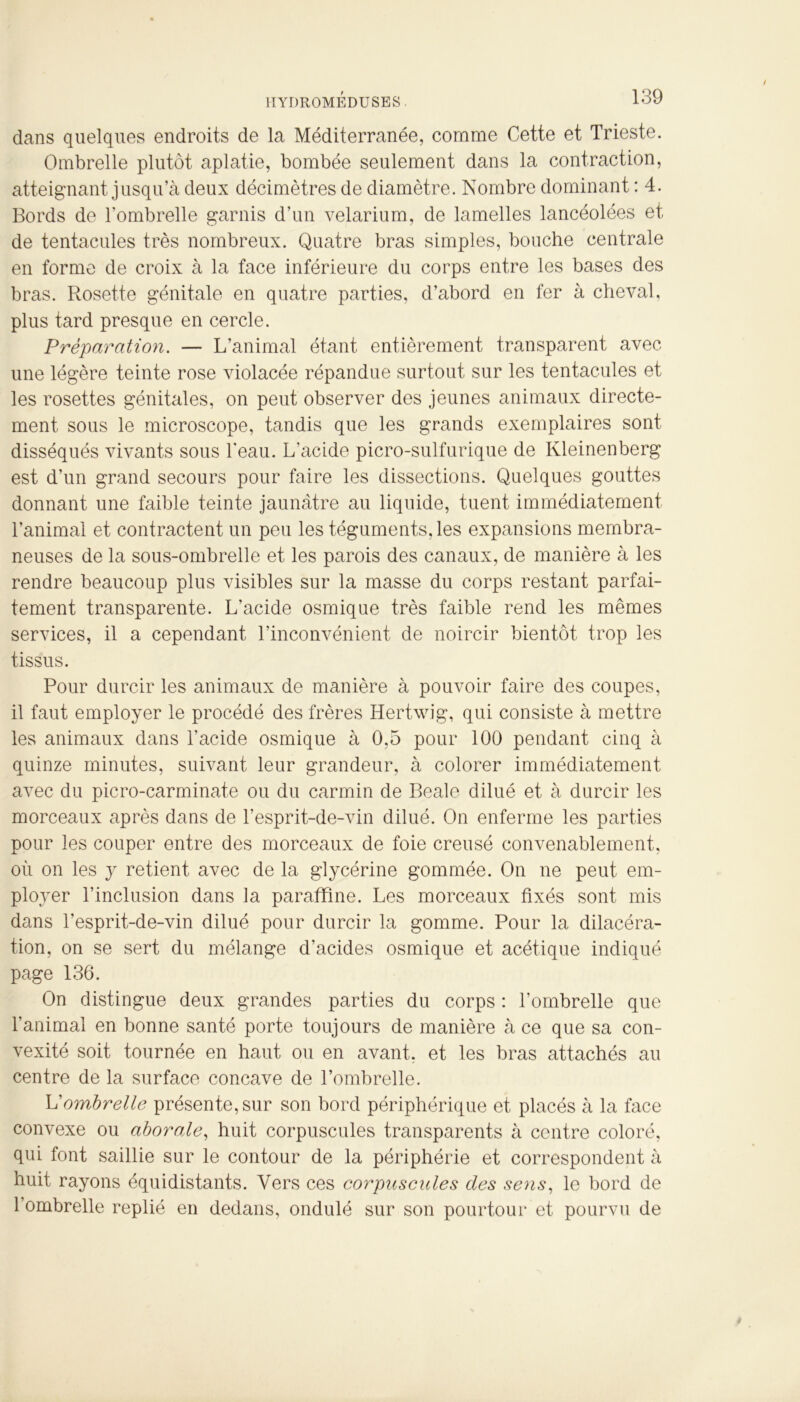 dans quelques endroits de la Méditerranée, comme Cette et Trieste. Ombrelle plutôt aplatie, bombée seulement dans la contraction, atteignant jusqu’à deux décimètres de diamètre. Nombre dominant : 4. Bords de l'ombrelle garnis d’un velarium, de lamelles lancéolées et de tentacules très nombreux. Quatre bras simples, bouche centrale en forme de croix à la face inférieure du corps entre les bases des bras. Rosette génitale en quatre parties, d’abord en fer à cheval, plus tard presque en cercle. Préparation. — L’animal étant entièrement transparent avec une légère teinte rose violacée répandue surtout sur les tentacules et les rosettes génitales, on peut observer des jeunes animaux directe- ment sous le microscope, tandis que les grands exemplaires sont disséqués vivants sous l'eau. L’acide picro-sulfurique de Kleinenberg est d’un grand secours pour faire les dissections. Quelques gouttes donnant une faible teinte jaunâtre au liquide, tuent immédiatement l’animal et contractent un peu les téguments, les expansions membra- neuses de la sous-ombrelle et les parois des canaux, de manière à les rendre beaucoup plus visibles sur la masse du corps restant parfai- tement transparente. L’acide osmique très faible rend les mêmes services, il a cependant l’inconvénient de noircir bientôt trop les tissus. Pour durcir les animaux de manière à pouvoir faire des coupes, il faut employer le procédé des frères Hertvvig, qui consiste à mettre les animaux dans l’acide osmique à 0,5 pour 100 pendant cinq à quinze minutes, suivant leur grandeur, à colorer immédiatement avec du picro-carminate ou du carmin de Beale dilué et à durcir les morceaux après dans de l’esprit-de-vin dilué. On enferme les parties pour les couper entre des morceaux de foie creusé convenablement, où on les y retient avec de la glycérine gommée. On ne peut em- ployer l’inclusion dans la paraffine. Les morceaux fixés sont mis dans l'esprit-de-vin dilué pour durcir la gomme. Pour la dilacéra- tion, on se sert du mélange d’acides osmique et acétique indiqué page 136. On distingue deux grandes parties du corps : l’ombrelle que l’animal en bonne santé porte toujours de manière à ce que sa con- vexité soit tournée en haut ou en avant, et les bras attachés au centre de la surface concave de l’ombrelle. L'ombrelle présente, sur son bord périphérique et placés à la face convexe ou aborale, huit corpuscules transparents à centre coloré, qui font saillie sur le contour de la périphérie et correspondent à huit rayons équidistants. Vers ces corpuscules des sens, le bord de l’ombrelle replié en dedans, ondulé sur son pourtour et pourvu de