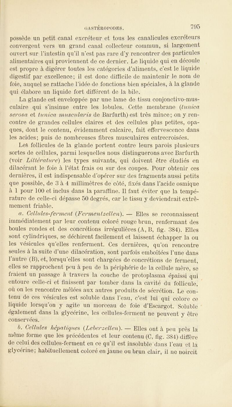 GASTEROPODES. possède un petit canal excréteur et tous les canalicules excréteurs convergent vers un grand canal collecteur commun, si largement ouvert sur l’intestin qu’il n’est pas rare d’y rencontrer des particules alimentaires qui proviennent de ce dernier. Le liquide qui en découle est propre à digérer toutes les catégories d’aliments, c’est le liquide digestif par excellence; il est donc difficile de maintenir le nom de foie, auquel se rattache l’idée de fonctions bien spéciales, à la glande qui élabore un liquide fort différent de la bile. La glande est enveloppée par une lame de tissu conjonctivo-mus- culaire qui s’insinue entre les lobules. Cette membrane (tunica serosa et tunica muscularis de Barfurth) est très mince; on y ren- contre de grandes cellules claires et des cellules plus petites, opa- ques, dont le contenu, évidemment calcaire, fait effervescence dans les acides; puis de nombreuses fibres musculaires entrecroisées. Les follicules de la glande portent contre leurs parois plusieurs sortes de cellules, parmi lesquelles nous distinguerons avec Barfurth (voir Littérature) les types suivants, qui doivent être étudiés en dilacérant le foie à l’état frais ou sur des coupes. Pour obtenir ces dernières, il est indispensable d’opérer sur des fragments aussi petits que possible, de 3 à 4 millimètres de côté, fixés dans l’acide osmique à 1 pour 100 et inclus dans la paraffine. Il faut éviter que la tempé- rature de celle-ci dépasse 50 degrés, car le tissu y deviendrait extrê- mement friable. a. Cellule s-ferment (Fermentzellen). — Elles se reconnaissent immédiatement par leur contenu coloré rouge brun, renfermant des boules rondes et des concrétions irrégulières (A, B, fig. 384). Elles sont cylindriques, se déchirent facilement et laissent échapper la ou les vésicules qu elles renferment. Ces dernières, qu’on rencontre seules à la suite d’une dilacération, sont parfois emboîtées l’une dans l’autre (B), et, lorsqu’elles sont chargées de concrétions de ferment, elles se rapprochent peu à peu de la périphérie de la cellule mère, se fraient un passage à travers la couche de protoplasma épaissi qui entoure celle-ci et finissent par tomber dans la cavité du follicule, où on les rencontre mêlées aux autres produits de sécrétion. Le con- tenu de ces vésicules est soluble dans l’eau, c’est lui qui colore ce liquide lorsqu’on y agite un morceau de foie d’Escargot. Soluble également dans la glycérine, les cellules-ferment ne peuvent y être conservées. b. Cellules hépatiques (.Leberzellen). — Elles ont à peu près la même forme que les précédentes et leur contenu (C, fig. 384) diffère de celui des cellules-ferment en ce qu’il est insoluble dans l’eau et la glycérine; habituellement coloré en jaune ou brun clair, il ne noircit