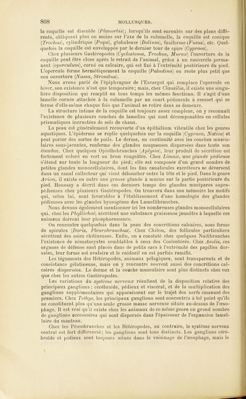 la coquille est discoïde (Planorbis); lorsqu’ils sont enroulés sur des plans diffé- rents, obliquant plus ou moins sur Taxe de la columelle, la coquille est conique (Trochus), cylindrique (Papa), globuleuse (Dolium), fusiforme (Fusus), etc. Quel- quefois la coquille est enveloppée par le dernier tour de spire*(Cypraea). Chez plusieurs Gastéropodes (Cyclosloma, Trochus, Murex) l’ouverture de la coquille peut être close après le retrait de l’animal, grâce à un couvercle perma- nent (operculumcorné ou calcaire, qui est fixé à l’extrémité postérieure du pied. L’opercule ferme hermétiquement la coquille (Paludina) ou reste plus petit que son ouverture (Nassa, Strombus). Nous avons parlé de l’épiphragme de l’Escargot qui remplace l’opercule en hiver, son existence n’est que temporaire; mais, chez Clausilia, il existe une singu- lière disposition qui remplit en tous temps les mêmes fonctions. Il s’agit d’une lamelle cornée attachée à la columelle par un court pédoncule à ressort qui se ferme d’elle-même chaque fois que l’animal se retire dans sa demeure. La structure intime de la coquille est toujours assez complexe, on y reconnaît l’existence de plusieurs couches de lamelles qui sont décomposables en cellules prismatiques incrustées de sels de chaux. La peau est généralement recouverte d’un épithélium vibratile chez les genres aquatiques. L’épiderme se replie quelquefois sur la coquille (Cypraea, Natica) et peut porter des sortes de poils. Le derme, en continuité avec les couches muscu- laires sous-jacentes, renferme des glandes muqueuses dispersées dans toute son étendue. Chez quelques Opisthobranches (.Apiysia), leur produit de sécrétion est fortement coloré en vert ou brun rougeâtre. Chez Limax, une glande pédieuse s’étend sur toute la longueur du pied; elle est composée d’un grand nombre de petites glandes monocellulaires, dont les fins canalicules excréteurs se déversent dans un canal collecteur qui vient déboucher entre la tête et le pied. Dans le genre Arion, il existe en outre une grosse glande à mucus sur la partie postérieure du pied. Houssay a décrit dans ces derniers temps des glandes mucipares supra- pédieuses chez plusieurs Gastéropodes. On trouvera dans son mémoire les motifs qui, selon lui, sont favorables à l’établissement d’une homologie des glandes pédieuses avec les glandes byssogènes des Lamellibranches. Nous devons également mentionner ici les nombreuses glandes monocellulaires qui, chez les Phyllirhoë, sécrètent une substance graisseuse jaunâtre à laquelle ces animaux doivent leur phosphorescence. On rencontre quelquefois dans la peau des concrétions calcaires, sous forme de spiculés (Doris, Pleurobranchus). Chez Ghiton, des follicules particuliers sécrètent des soies chitineuses. Enfin, on a constaté chez quelques Nudibranches l’existence de nématocystes semblables à ceux des Coelentérés. Chez Aeolis, ces organes de défense sont placés dans de petits sacs à l’extrémité des papilles dor- sales, leur forme est ovalaire et le cnidocil en est parfois ramifié. Les téguments des Ilétéropodes, animaux pélagiques, sont transparents et de consistance gélatineuse, mais on y rencontre souvent aussi des concrétions cal- caires dispersées. Le derme et la couche musculaire sont plus distincts chez eux que chez les autres Gastéropodes. Les variations du système nerveux résultent de la disposition relative des principaux ganglions : cérébroïde, pédieux et viscéral, et de la multiplication des ganglions supplémentaires qui apparaissent sur le trajet des nerfs émanant des premiers. Chez Tethys, les principaux ganglions sont concentrés à tel point qu’ils ne constituent plus qu’une seule grosse masse nerveuse située au-dessus de l’œso- phage. Il est vrai qu’il existe chez les animaux de ce même genre un grand nombre de ganglions accessoires qui sont dispersés dans l’épaisseur de l’expansion lamel- laire du manteau. Chez les Prosobranches et les Ilétéropodes, au contraire, le système nerveux central est fort différencié; les ganglions sont tous distincts. Les ganglions céré- broïde et pédieux sont toujours situés dans le voisinage de l’œsophage, mais le