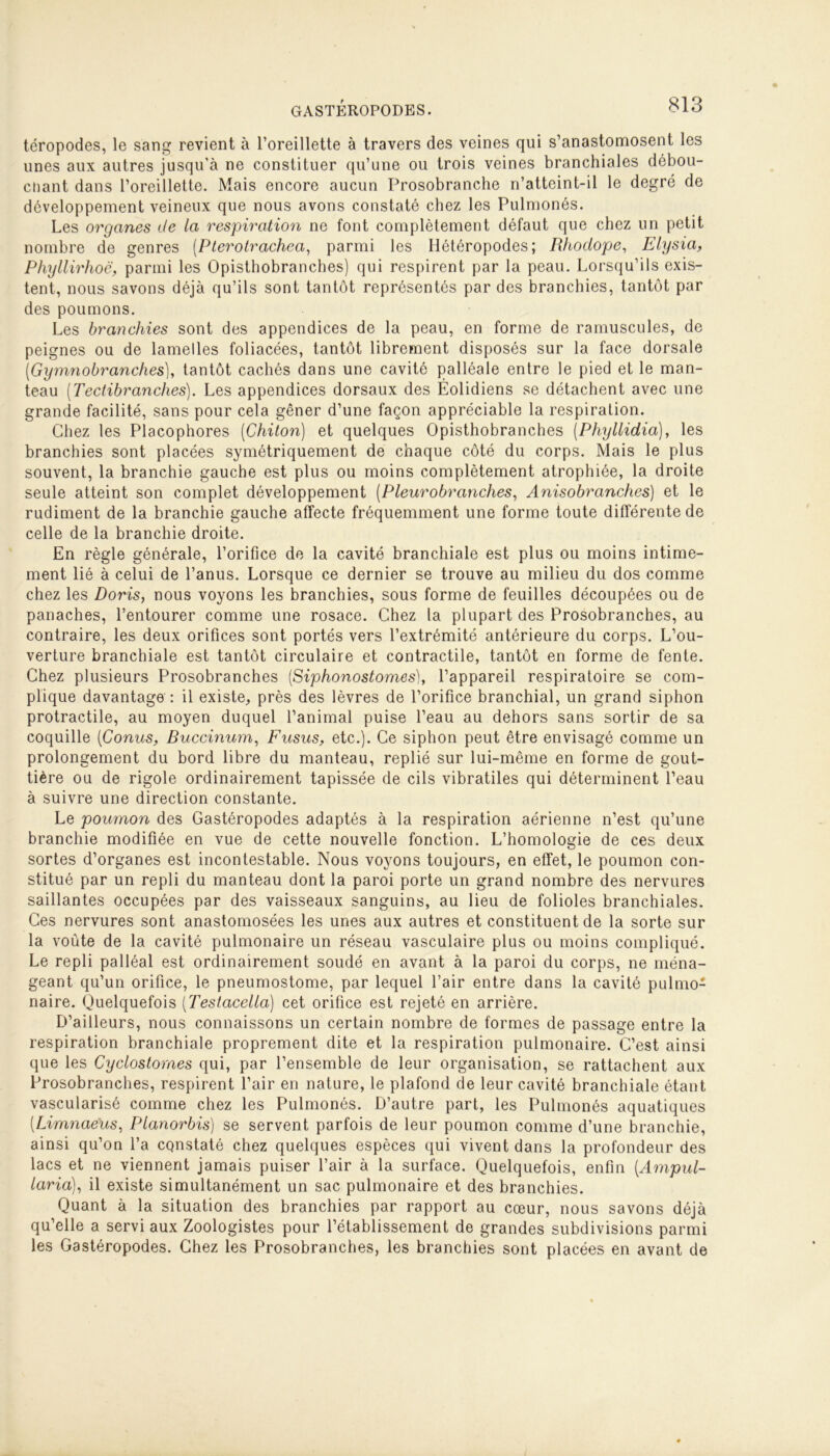 téropodes, le sang revient à l’oreillette à travers des veines qui s’anastomosent les unes aux autres jusqu’à ne constituer qu’une ou trois veines branchiales débou- chant dans l’oreillette. Mais encore aucun Prosobranche n’atteint-il le degré de développement veineux que nous avons constaté chez les Pulmonés. Les organes de la respiration ne font complètement défaut que chez un petit nombre de genres (.Pterotrachea, parmi les Hétéropodes; Rhodope, Elysia, Phyllirhoc, parmi les Opisthobranches) qui respirent par la peau. Lorsqu’ils exis- tent, nous savons déjà qu’ils sont tantôt représentés par des branchies, tantôt par des poumons. Les branchies sont des appendices de la peau, en forme de ramuscules, de peignes ou de lamelles foliacées, tantôt librement disposés sur la face dorsale (Gymnobranches), tantôt cachés dans une cavité palléale entre le pied et le man- teau [Tectibranches). Les appendices dorsaux des Éolidiens se détachent avec une grande facilité, sans pour cela gêner d’une façon appréciable la respiration. Chez les Placophores (Chiton) et quelques Opisthobranches (Phyllidia), les branchies sont placées symétriquement de chaque côté du corps. Mais le plus souvent, la branchie gauche est plus ou moins complètement atrophiée, la droite seule atteint son complet développement (Pleurobranches, Anisobranches) et le rudiment de la branchie gauche affecte fréquemment une forme toute différente de celle de la branchie droite. En règle générale, l’orifice de la cavité branchiale est plus ou moins intime- ment lié à celui de l’anus. Lorsque ce dernier se trouve au milieu du dos comme chez les Doris, nous voyons les branchies, sous forme de feuilles découpées ou de panaches, l’entourer comme une rosace. Chez la plupart des Prosobranches, au contraire, les deux orifices sont portés vers l’extrémité antérieure du corps. L’ou- verture branchiale est tantôt circulaire et contractile, tantôt en forme de fente. Chez plusieurs Prosobranches (Siphonostomes), l’appareil respiratoire se com- plique davantage : il existe, près des lèvres de l’orifice branchial, un grand siphon protractile, au moyen duquel l’animal puise l’eau au dehors sans sortir de sa coquille {Conus, Buccinum, Fusus, etc.). Ce siphon peut être envisagé comme un prolongement du bord libre du manteau, replié sur lui-même en forme de gout- tière ou de rigole ordinairement tapissée de cils vibratiles qui déterminent l’eau à suivre une direction constante. Le poumon des Gastéropodes adaptés à la respiration aérienne n’est qu’une branchie modifiée en vue de cette nouvelle fonction. L’homologie de ces deux sortes d’organes est incontestable. Nous voyons toujours, en effet, le poumon con- stitué par un repli du manteau dont la paroi porte un grand nombre des nervures saillantes occupées par des vaisseaux sanguins, au lieu de folioles branchiales. Ces nervures sont anastomosées les unes aux autres et constituent de la sorte sur la voûte de la cavité pulmonaire un réseau vasculaire plus ou moins compliqué. Le repli palléal est ordinairement soudé en avant à la paroi du corps, ne ména- geant qu’un orifice, le pneumostome, par lequel l’air entre dans la cavité pulmo- naire. Quelquefois (Testacella) cet orifice est rejeté en arrière. D’ailleurs, nous connaissons un certain nombre de formes de passage entre la respiration branchiale proprement dite et la respiration pulmonaire. C’est ainsi que les Cyclostomes qui, par l’ensemble de leur organisation, se rattachent aux Prosobranches, respirent l’air en nature, le plafond de leur cavité branchiale étant vascularisé comme chez les Pulmonés. D’autre part, les Pulmonés aquatiques (Limnaeus, Planorbis) se servent parfois de leur poumon comme d’une branchie, ainsi qu’on l’a constaté chez quelques espèces qui vivent dans la profondeur des lacs et ne viennent jamais puiser l’air à la surface. Quelquefois, enfin [Ampul- laria), il existe simultanément un sac pulmonaire et des branchies. Quant à la situation des branchies par rapport au cœur, nous savons déjà qu’elle a servi aux Zoologistes pour l’établissement de grandes subdivisions parmi les Gastéropodes. Chez les Prosobranches, les branchies sont placées en avant de