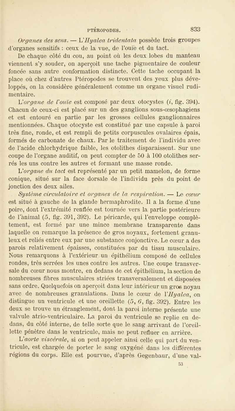 Organes des sens. — L’Hyaléa tridentata possède trois groupes d’organes sensitifs : ceux de la vue, de l’ouïe et du tact. De chaque côté du cou, au point où les deux lobes du manteau viennent s’y souder, on aperçoit une tache pigmentaire de couleur foncée sans autre conformation distincte. Cette tache occupant la place où chez d’autres Ptéropodes se trouvent des yeux plus déve- loppés, on la considère généralement comme un organe visuel rudi- mentaire. L'organe de l'ouïe est composé par deux otocystes (e, fig. 394). Chacun de ceux-ci est placé sur un des ganglions sous-œsophagiens et est entouré en partie par les grosses cellules ganglionnaires mentionnées. Chaque otocyste est constitué par une capsule à paroi très fine, ronde, et est rempli de petits corpuscules ovalaires épais, formés de carbonate de chaux. Par le traitement de l’individu avec de l’acide chlorhydrique faible, les otolithes disparaissent. Sur une coupe de l’organe auditif, on peut compter de 50 à 100 otolithes ser- rés les uns contre les autres et formant une masse ronde. L'organe du tact est représenté par un petit mamelon, de forme conique, situé sur la face dorsale de l’individu près du point de jonction des deux ailes. Système circidatoire et organes de la respiration. — Le cœur est situé à gauche de la glande hermaphrodite. Il a la forme d’une poire, dont l’extrémité renflée est tournée vers la partie postérieure de l’animal (5, fig. 391, 392). Le péricarde, qui l’enveloppe complè- tement, est formé par une mince membrane transparente dans laquelle on remarque la présence de gros noyaux, fortement granu- leux et reliés entre eux par une substance conjonctive. Le cœur a des parois relativement épaisses, constituées par du tissu musculaire. Nous remarquons à l’extérieur un épithélium composé de cellules rondes, très serrées les unes contre les autres. Une coupe transver- sale du cœur nous montre, en dedans de cet épithélium, la section de nombreuses fibres musculaires striées transversalement et disposées sans ordre. Quelquefois on aperçoit dans leur intérieur un gros noyau avec de nombreuses granulations. Dans le cœur de YHyalea, on distingue un ventricule et une oreillette (5, 6, fig. 392). Entre les deux se trouve un étranglement, dont la paroi interne présente une valvule atrio-ventriculaire. La paroi du ventricule se replie en de- dans, du côté interne, de telle sorte que le sang arrivant de l’oreil- lette pénètre dans le ventricule, mais ne peut refluer en arrière. L'aorte viscérale, si on peut appeler ainsi celle qui part du ven- tricule, est chargée de porter le sang oxygéné dans les différentes régions du corps. Elle est pourvue, d’après Gegenbaur, d’une val- 53