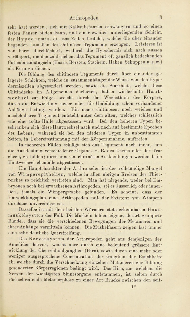 sehr hart werden , sich mit Kalksuhstanzen schwängern und so einen festen Panzer bilden kann, und einer zweiten unterliegenden Schicht, der IIypodermis, die aus Zellen besteht, welche die über einander liegenden Lamellen des chitinösen Teguments erzeugen. Letzteres ist von Poren durchlöchert, wodurch die Hypodermis sich nach aussen verlängert, um den zahlreichen, das Tegument oft gänzlich bedeckenden Cuticularanhängseln (Haare, Borsten, Stacheln, Ilaken, Schuppen u. s. w.) als Kern zu dienen. Die Bildung des chitinösen Teguments durch über einander ge- lagerte Schichten, welche in zusammenhängenderWeise von den Ilypo- dermiszellen abgesondert werden, sowie die Starrheit, welche diese Chitindecke im Allgemeinen darbietet, haben wiederholte Haut- wechsel zur Folge, welche durch das Wachsthum des Körpers, durch die Entwicklung neuer oder die Umbildung schon vorhandener Anhänge bedingt werden. Ein neues chitinöses, noch weiches und ausdehnbares Tegument entsteht unter dem alten, welches schliesslich wie eine todte Hülle abgestossen wird. Bei den höheren Typen be- schränken sich diese Hautwechsel nach und nach auf bestimmte Epochen des Lebens, während sie bei den niederen Typen in unbestimmten Zeiten, in Uebereinstimmung mit der Körperzunahme, auftreten. In mehreren Fällen schlägt sich das Tegument nach innen, um die Auskleidung verschiedener Organe, z. B. des Darms oder der Tra- cheen, zu bilden; diese inneren chitinösen Auskleidungen werden beim Hautwechsel ebenfalls abgestossen. Ein Hauptcharakter der Arthropoden ist der vollständige Mangel von Wimperepithelien, welche in allen übrigen Kreisen des Thier- reiches so reichlich vertreten sind. Man hat nirgends, weder bei Em- bryonen noch bei erwachsenen Arthropoden, sei es äusserlich oder inner- lich, jemals ein Wimpergewebe gefunden. Es scheint, dass der Entwicklungsplan eines Arthropoden mit der Existenz von Wimpern durchaus unvereinbar sei. Dasselbe ist mit dem bei den Würmern stets erkennbaren II aut- muskelsystem der Fall. Die Muskeln bilden eigene, derart gruppirte Bündel, dass sie die verschiedenen Bewegungen der Metameren und ihrer Anhänge vermitteln können. Die Muskelfasern zeigen fast immer eine sehr deutliche Querstreifung. Das Nervensystem der Arthropoden geht aus demjenigen der Anneliden hervor, weicht aber durch eine bedeutend grössere Ent- wicklung der Oberschlundganglien (Hirn), sowie durch eine mehr oder weniger ausgesprochene Concentration der Ganglien der Bauchkette ab, welche durch die Verschmelzung einzelner Metameren zur Bildung gesonderter Körperregionen bedingt wird. Das Hirn, aus welchem die Nerven der wichtigsten Sinnesorgane entstammen, ist selten durch rückschreitende Metamorphose zu einer Art Brücke zwischen den seit- 1*