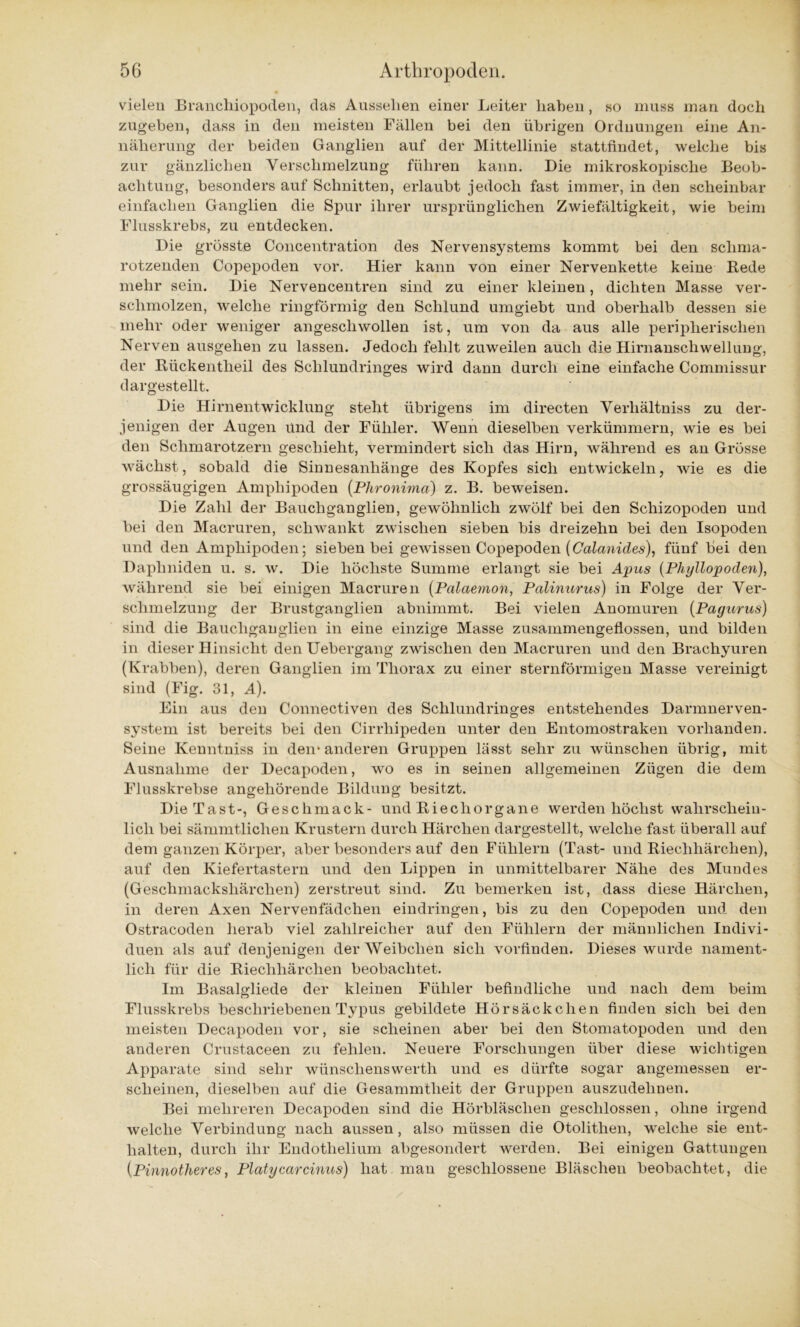 vielen Branchiopoden, das Aussehen einer Leiter haben, so muss man doch zugeben, dass in den meisten Fällen bei den übrigen Ordnungen eine An- näherung der beiden Ganglien auf der Mittellinie stattfindet, welche bis zur gänzlichen Verschmelzung führen kann. Die mikroskopische Beob- achtung, besonders auf Schnitten, erlaubt jedoch fast immer, in den scheinbar einfachen Ganglien die Spur ihrer ursprünglichen Zwiefältigkeit, wie beim Flusskrebs, zu entdecken. Die grösste Concentration des Nervensystems kommt bei den schma- rotzenden Copepoden vor. Hier kann von einer Nervenkette keine Bede mehr sein. Die Nervencentren sind zu einer kleinen, dichten Masse ver- schmolzen, welche ringförmig den Schlund umgiebt und oberhalb dessen sie mehr oder weniger angeschwollen ist, um von da aus alle peripherischen Nerven ausgehen zu lassen. Jedoch fehlt zuweilen auch die Hirnanschwellung, der Kückentheil des Schlundringes wird dann durch eine einfache Commissur dargestellt. Die Hirnentwicklung steht übrigens im directen Verhältniss zu der- jenigen der Augen und der Fühler. Wenn dieselben verkümmern, wie es bei den Schmarotzern geschieht, vermindert sich das Hirn, während es an Grösse wächst, sobald die Sinnesanhänge des Kopfes sich entwickeln, wie es die grossäugigen Amphipoden (Phronima) z. B. beweisen. Die Zahl der Bauchganglien, gewöhnlich zwölf bei den Schizopoden und bei den Macruren, schwankt zwischen sieben bis dreizehn bei den Isopoden und den Amphipoden; sieben bei gewissen Copepoden (Calanides), fünf bei den Daphniden u. s. w. Die höchste Summe erlangt sie bei Apus (Phyllopoden), während sie bei einigen Macruren (Palctemon, Palinurus) in Folge der Ver- schmelzung der Brustganglien abnimmt. Bei vielen Anomuren (Pagurus) sind die Bauchganglien in eine einzige Masse zusammengeflossen, und bilden in dieser Hinsicht den Uebergang zwischen den Macruren und den Brachyuren (Krabben), deren Ganglien im Thorax zu einer sternförmigen Masse vereinigt sind (Fig. 31, A). Ein aus den Connectiven des Schlundringes entstehendes Darmnerven- system ist bereits bei den Cirrhipeden unter den Entomostraken vorhanden. Seine Keuntniss in dem anderen Gruppen lässt sehr zu wünschen übrig, mit Ausnahme der Decapoden, wo es in seinen allgemeinen Zügen die dem Flusskrebse angehörende Bildung besitzt. Die Tast-, Geschmack- und Biechorgane werden höchst wahrschein- lich bei sämmtlichen Krustern durch Härchen dargestellt, welche fast überall auf dem ganzen Körper, aber besonders auf den Fühlern (Tast- und Biechhärchen), auf den Kiefertastern und den Lippen in unmittelbarer Nähe des Mundes (Geschmackshärchen) zerstreut sind. Zu bemerken ist, dass diese Härchen, in deren Axen Nervenfädchen eindringen, bis zu den Copepoden und den Ostracoden herab viel zahlreicher auf den Fühlern der männlichen Indivi- duen als auf denjenigen der Weibchen sich vorfinden. Dieses wurde nament- lich für die Biechhärchen beobachtet. Im Basalgliede der kleinen Fühler befindliche und nach dem beim Flusskrebs beschriebenen Typus gebildete Hörsäckchen finden sich bei den meisten Decapoden vor, sie scheinen aber bei den Stomatopoden und den anderen Crustaceen zu fehlen. Neuere Forschungen über diese wichtigen Apparate sind sehr wünschenswertli und es dürfte sogar angemessen er- scheinen, dieselben auf die Gesammtlieit der Gruppen auszudehnen. Bei mehreren Decapoden sind die Hörbläschen geschlossen, ohne irgend welche Verbindung nach aussen, also müssen die Otolithen, welche sie ent- halten, durch ihr Endothelium abgesondert werden. Bei einigen Gattungen {Pinnotheres, Platycarcinus) hat. mau geschlossene Bläschen beobachtet, die