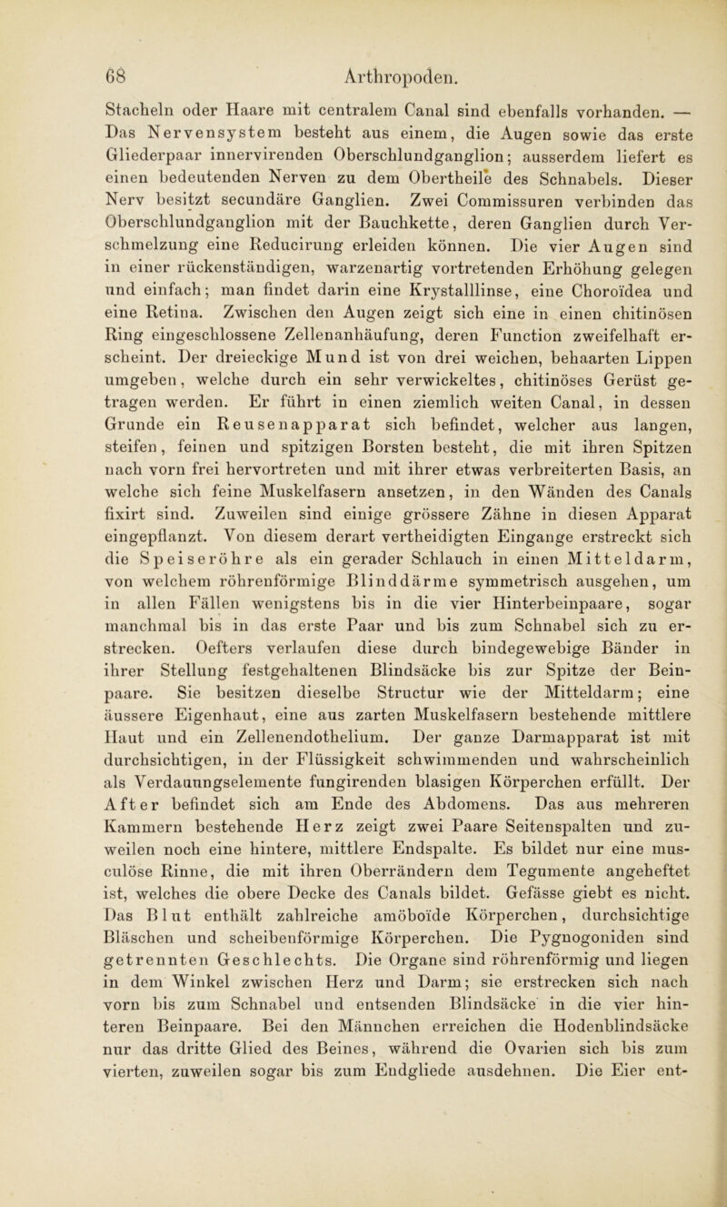 Stacheln oder Haare mit centralem Canal sind ebenfalls vorhanden. — Das Nervensystem besteht aus einem, die Augen sowie das erste Gliederpaar innervirenden Oberschlundganglion; ausserdem liefert es einen bedeutenden Nerven zu dem Obertheile des Schnabels. Dieser Nerv besitzt secundäre Ganglien. Zwei Commissuren verbinden das Oberschlundganglion mit der Bauchkette, deren Ganglien durch Ver- schmelzung eine Reducirung erleiden können. Die vier Augen sind in einer rückenständigen, warzenartig vortretenden Erhöhung gelegen und einfach; man findet darin eine Krystalllinse, eine Choroidea und eine Retina. Zwischen den Augen zeigt sich eine in einen chitinösen Ring eingeschlossene Zellenanhäufung, deren Function zweifelhaft er- scheint. Der dreieckige Mund ist von drei weichen, behaarten Lippen umgeben, welche durch ein sehr verwickeltes, chitinöses Gerüst ge- tragen werden. Er führt in einen ziemlich weiten Canal, in dessen Grande ein Reuse napparat sich befindet, welcher aus langen, steifen, feinen und spitzigen Borsten besteht, die mit ihren Spitzen nach vorn frei hervortreten und mit ihrer etwas verbreiterten Basis, an welche sich feine Muskelfasern ansetzen, in den Wänden des Canals fixirt sind. Zuweilen sind einige grössere Zähne in diesen Apparat eingepflanzt. Von diesem derart vertheidigten Eingänge erstreckt sich die Speiseröhre als ein gerader Schlauch in einen Mitteldarm, von welchem röhrenförmige Blinddärme symmetrisch ausgehen, um in allen Fällen wenigstens bis in die vier Hinterbeinpaare, sogar manchmal bis in das erste Paar und bis zum Schnabel sich zu er- strecken. Oefters verlaufen diese durch bindegewebige Bänder in ihrer Stellung festgehaltenen Blindsäcke bis zur Spitze der Bein- paare. Sie besitzen dieselbe Structur wie der Mitteldarm; eine äussere Eigenhaut, eine aus zarten Muskelfasern bestehende mittlere Haut und ein Zellenendothelium. Der ganze Darmapparat ist mit durchsichtigen, in der Flüssigkeit schwimmenden und wahrscheinlich als Verdauungselemente fungirenden blasigen Körperchen erfüllt. Der After befindet sich am Ende des Abdomens. Das aus mehreren Kammern bestehende Herz zeigt zwei Paare Seitenspalten und zu- weilen noch eine hintere, mittlere Endspalte. Es bildet nur eine mus- culöse Rinne, die mit ihren Oberrändern dem Tegumente angeheftet ist, welches die obere Decke des Canals bildet. Gefässe giebt es nicht. Das Blut enthält zahlreiche amöboide Körperchen, durchsichtige Bläschen und scheibenförmige Körperchen. Die Pygnogoniden sind getrennten Geschlechts. Die Organe sind röhrenförmig und liegen in dem Winkel zwischen Herz und Darm; sie erstrecken sich nach vorn bis zum Schnabel und entsenden Blindsäcke in die vier hin- teren Beinpaare. Bei den Männchen erreichen die Hodenblindsäcke nur das dritte Glied des Beines, während die Ovarien sich bis zum vierten, zuweilen sogar bis zum Eudgliede ausdehnen. Die Eier ent-