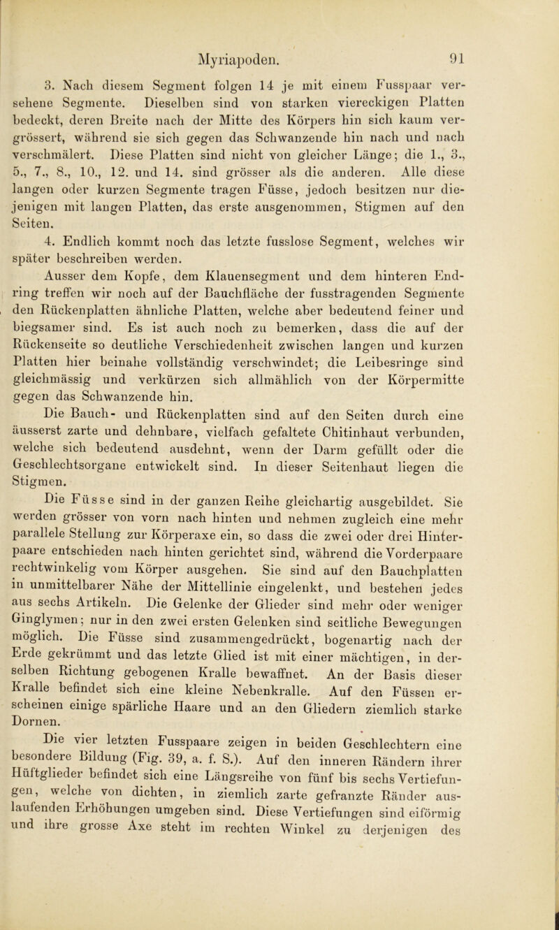 3. Nach diesem Segment folgen 14 je mit einem Fusspaar ver- sehene Segmente. Dieselben sind von starken viereckigen Platten bedeckt, deren Breite nach der Mitte des Körpers hin sich kaum ver- grössert, während sie sich gegen das Schwanzende hin nach und nach verschmälert. Diese Platten sind nicht von gleicher Länge; die 1., 3., 5., 7., 8., 10., 12. und 14. sind grösser als die anderen. Alle diese langen oder kurzen Segmente tragen Füsse, jedoch besitzen nur die- jenigen mit langen Platten, das erste ausgenommen, Stigmen auf den Seiten. 4. Endlich kommt noch das letzte fusslose Segment, welches wir später beschreiben werden. Ausser dem Kopfe, dem Klauensegment und dem hinteren End- ring treffen wir noch auf der Bauchfläche der fusstragenden Segmente den Rückenplatten ähnliche Platten, welche aber bedeutend feiner und biegsamer sind. Es ist auch noch zu bemerken, dass die auf der Rückenseite so deutliche Verschiedenheit zwischen langen und kurzen Platten hier beinahe vollständig verschwindet; die Leibesringe sind gleichmässig und verkürzen sich allmählich von der Körpermitte gegen das Schwanzende hin. Die Bauch- und Rückenplatten sind auf den Seiten durch eine äusserst zarte und dehnbare, vielfach gefaltete Chitinhaut verbunden, welche sich bedeutend ausdehnt, wenn der Darm gefüllt oder die Geschlechtsorgane entwickelt sind. In dieser Seitenhaut liegen die Stigmen. Die Füsse sind in der ganzen Reihe gleichartig ausgebildet. Sie werden grösser von vorn nach hinten und nehmen zugleich eine mehr parallele Stellung zur Körperaxe ein, so dass die zwei oder drei Hinter- paare entschieden nach hinten gerichtet sind, während die Vorderpaare rechtwinkelig vom Körper ausgehen. Sie sind auf den Bauchplatten in unmittelbarer Nähe der Mittellinie eingelenkt, und bestehen jedes aus sechs Artikeln. Die Gelenke der Glieder sind mehr oder weniger Ginglymen; nur in den zwei ersten Gelenken sind seitliche Bewegungen möglich. Die Füsse sind zusammengedrückt, bogenartig nach der Erde gekrümmt und das letzte Glied ist mit einer mächtigen, in der- selben Richtung gebogenen Kralle bewaffnet. An der B asis dieser Kialle befindet sich eine kleine Nebenkralle. Auf den Füssen er- scheinen einige spärliche Haare und an den Gliedern ziemlich starke Dornen. Die vier letzten Fusspaare zeigen in beiden Geschlechtern eine besondere Bildung (Fig. 39, a. f. S.). Auf den inneren Rändern ihrer Hüftglieder befindet sich eine Längsreihe von fünf bis sechs Vertiefun- gen, welche von dichten, in ziemlich zarte gefranzte Ränder aus- laufenden Lihöhungen umgeben sind. Diese Vertiefungen sind eiförmig und ihre giosse Axe steht im rechten Winkel zu derjenigen des