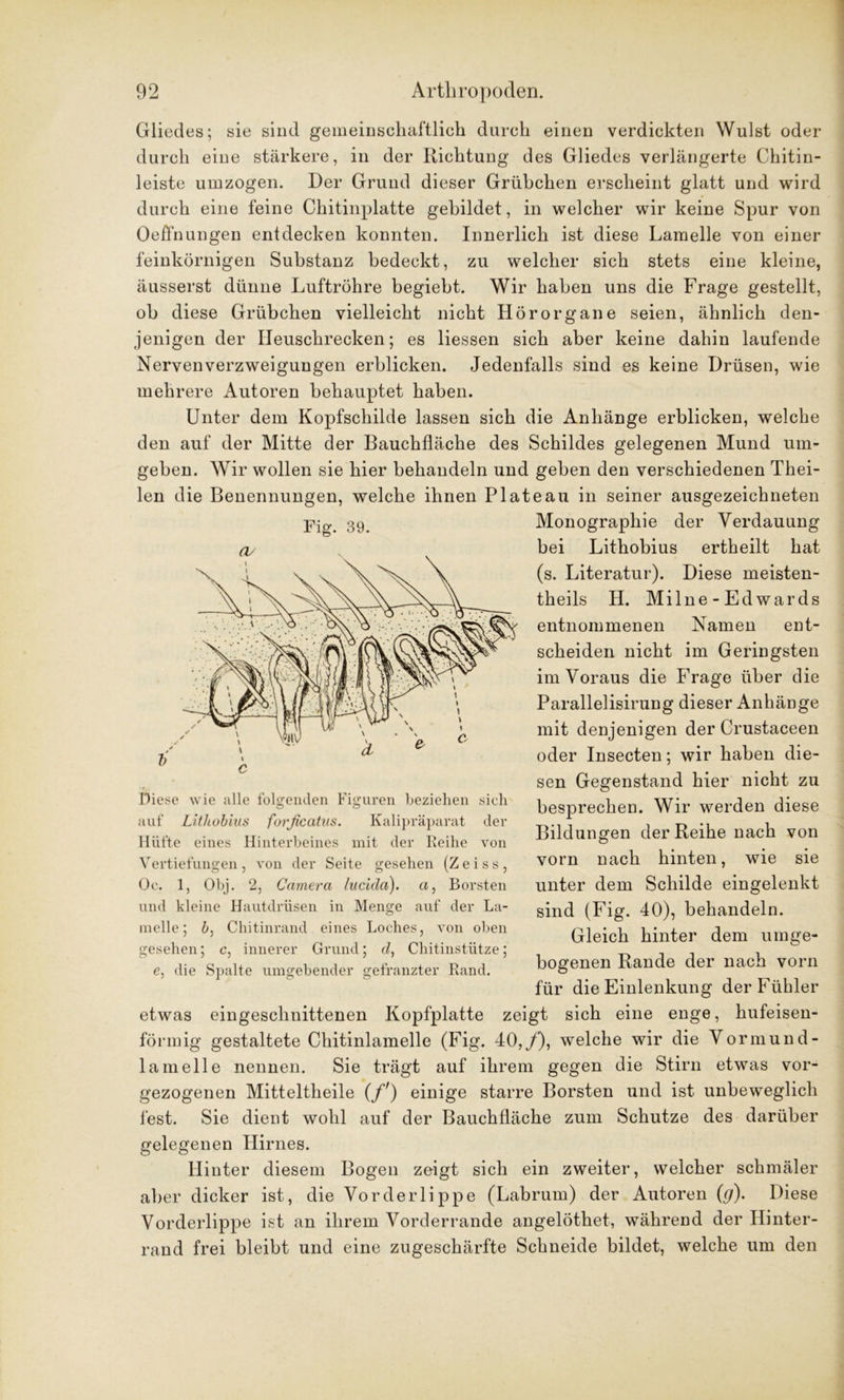 Gliedes; sie sind gemeinschaftlich durch einen verdickten Wulst oder durch eine stärkere, in der Richtung des Gliedes verlängerte Chitin- leiste umzogen. Der Grund dieser Grübchen erscheint glatt und wird durch eine feine Chitinplatte gebildet, in welcher wir keine Spur von Oejßfnungen entdecken konnten. Innerlich ist diese Lamelle von einer feinkörnigen Substanz bedeckt, zu welcher sich stets eine kleine, äusserst dünne Luftröhre begiebt. Wir haben uns die Frage gestellt, ob diese Grübchen vielleicht nicht Hörorgane seien, ähnlich den- jenigen der Heuschrecken; es Hessen sich aber keine dahin laufende Nervenverzweigungen erblicken. Jedenfalls sind es keine Drüsen, wie mehrere Autoren behauptet haben. Unter dem Kopfschilde lassen sich die Anhänge erblicken, welche den auf der Mitte der Bauchfläche des Schildes gelegenen Mund um- geben. Wir wollen sie hier behandeln und geben den verschiedenen Thei- len die Benennungen, welche ihnen Plateau in seiner ausgezeichneten Fig. 39. Monographie der Verdauung bei Lithobius ertheilt hat (s. Literatur). Diese meisten- theils H. Milne - Ed war ds entnommenen Namen ent- scheiden nicht im Geringsten im Voraus die Frage über die Parallelisirung dieser Anhänge mit denjenigen der Crustaceen oder Insecten; wir haben die- sen Gegenstand hier nicht zu besprechen. Wir werden diese Bildungen der Reihe nach von vorn nach hinten, wie sie unter dem Schilde eingelenkt sind (Fig. 40), behandeln. Gleich hinter dem umge- bogenen Rande der nach vorn für die Einlenkung der Fühler etwas eingeschnittenen Kopfplatte zeigt sich eine enge, hufeisen- förmig gestaltete Chitinlamelle (Fig. 40,/), welche wir die Vormund- lamelle nennen. Sie trägt auf ihrem gegen die Stirn etwas vor- gezogenen Mitteltheile (fr) einige starre Borsten und ist unbeweglich fest. Sie dient wohl auf der Bauchfläche zum Schutze des darüber gelegenen Hirnes. Hinter diesem Bogen zeigt sich ein zweiter, welcher schmäler aber dicker ist, die Vorderlippe (Labrum) der Autoren (g). Diese Vorderlippe ist an ihrem Vorderrande angelöthet, während der Hinter- rand frei bleibt und eine zugeschärfte Schneide bildet, welche um den Diese wie alle folgenden Figuren beziehen sich auf Lithobius forficatus. Kalipräparat der Hüfte eines Hinterbeines mit der Reihe von Vertiefungen , von der Seite gesehen (Z e i s s , Oc. 1, Obj. 2, Camera lucicla). a, Borsten und kleine Hautdrüsen in Menge auf der La- melle; b, Chitinrand eines Loches, von oben gesehen; c, innerer Grund; d, Chitinstütze; e, die Spalte umgebender gefranzter Rand.