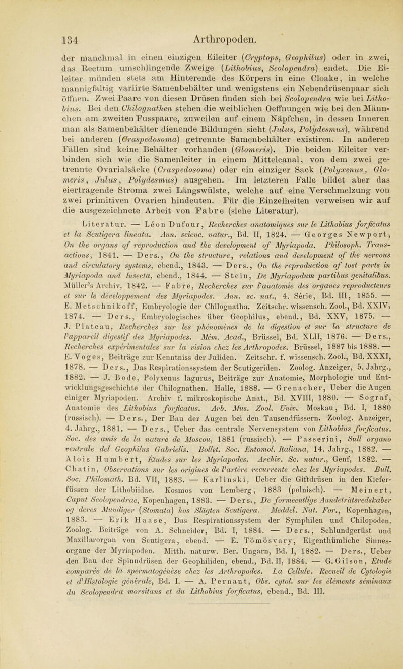 der manchmal in einen einzigen Eileiter (Cryptops, Geophilus) oder in zwei, das Bectum umschlingende Zweige (Lithobius, Scolopendra) endet. Die Ei- leiter münden stets am Hinterende des Körpers in eine Cloake, in welche mannigfaltig variirte Samenbehälter und wenigstens ein Nebendrüsenpaar sich öffnen. Zwei Paare von diesen Drüsen finden sich hei Scolopendra wie hei Litho- bius. Bei den Chilognathen stehen die weiblichen Oeffnungen wie bei den Männ- chen am zweiten Eusspaare, zuweilen auf einem Näpfchen, in dessen Inneren man als Samenbehälter dienende Bildungen sieht (Julus, Polydesmus), während bei anderen (Oraspedosoma) getrennte Samenbehälter existiren. In anderen Fällen sind keine Behälter vorhanden (Glomeris). Die beiden Eileiter ver- binden sich wie die Samenleiter in einem Mittelcanal, von dem zwei ge- trennte Ovarialsäcke (Oraspedosoma) oder ein einziger Sack [Polyxenus, Glo- meris, Julus, Polydesmus) ausgehen. Im letzteren Falle bildet aber das eiertragende Stroma zwei Längswülste, welche auf eine Verschmelzung von zwei primitiven Ovarien hindeuten. Für die Einzelheiten verweisen wir auf die ausgezeichnete Arbeit von Fabre (siehe Literatur). Literatur. — Leon Dufour, Reeller dies anatomiques sur le Lithobius forßeatus et la Scutigera lineata. Ann. scienc. natur., Bd. II, 1824. — Georges Newport, On the organs of reproduction and the development of Myriapoda. Philosoph. Trans- actions, 1841. — Ders., On the structure, relations and development of the nervous and circulatory Systems, ebend., 1843. — Ders., Ort the reproduction of tost parts in Myriapoda and Iusecta, ebend., 1844. — Stein, De Myriapodum partibus genitalibus. Müller’s Archiv, 1842. — Fabre, Recherches sur Vanatomie des Organes reproducteurs et sur le developpement des Myriapodes. Ann. sc. nat., 4. Serie, Bd. III, 1855. — E. Metschnikoff, Embryologie der Chilognatha. Zeitschr. wissenseh. Zool., Bd. XXIV, 1874. — Ders., Embryologisches über Geophilus, ebend., Bd. XXV, 1875. — J. Plateau, Recherches sur les phenomenes de la digestion et sur la structure de Vappareil digestif des Myriapodes. Mem. Acad., Brüssel, Bd. XLII, 1876. — Ders., Recherches experimentales sur la vision cliez les Arthropodes. Brüssel, 1887 bis 1888.— E. Voges, Beiträge zur Kenntniss der Juliden. Zeitschr. f. wissensch. Zool., Bd. XXXI, 1878. — Ders., Das Respirationssystem der Scutigeriden. Zoolog. Anzeiger, 5. Jahrg., 1882. — J. Bode, Polyxenus lagurus, Beiträge zur Anatomie, Morphologie und Ent- wicklungsgeschichte der Chilognathen. Halle, 1888. — Grenacher, Ueber die Augen einiger Myriapoden. Archiv f. mikroskopische Anat., Bd. XVIII, 1880. — Sograf, Anatomie des Lithobius forßeatus. Arb. Mus. Zool. Univ., Moskau, Bd. I, 1880 (russisch). — Ders., Der Bau der Augen bei den Tausendfüssern. Zoolog. Anzeiger, 4. Jahrg., 1881. — Ders., Ueber das centrale Nervensystem von Lithobius forßeatus. Soc. des amis de la nature de Moscou, 1881 (russisch). — Passerini, Süll organo ventrale del Geophilus Gabrielis. Rollet. Soc. Entomol. Italiana, 14. Jahrg., 1882. — Alois Humbert, Etudes sur les Myriapodes. Archiv. Sc. natur., Genf, 1882. — Chat in, Observations sur les origines de Vartere recurrente chez les Myriapodes. Rull. Soc. Philomath. Bd. VII, 1883. — Karlinski, Ueber die Giftdrüsen in den Kiefer- füssen der Lithobiidae. Kosmos von Lemberg, 1883 (polnisch). — Meinert, Caput Scolopendrae, Kopenhagen, 1883. —• Ders., De formeentlige Aundeträtsredskaber og deres Mündiger (Stomata) hos Slägten Scutigera. Meddel. Nat. For., Kopenhagen, 1883. ■— Erik Haase, Das Respirationssystem der Symphilen und Chilopoden. Zoolog. Beiträge von A. Schneider, Bd. I, 1884. — Ders., Schlundgerüst und Maxillarorgan von Scutigera, ebend. — E. Tömösvary, Eigenthümliche Sinnes- organe der Myriapoden. Mitth. naturw. Ber. Ungarn, Bd. I, 1882. — Ders., Ueber den Bau der Spinndrüsen der Geophiliden, ebend., Bd. II, 1884. — G.Gilson, Etüde comparee de la spermatogenese chez les Arthropodes. La Celhde. Recueil de Cytologie et d1 Histologie generale, Bd. I. — A. Pernant, Obs. cytol. sur les elements seminaux du Scolopendra morsitans et du Lithobius forßeatus, ebend., Bd. III.