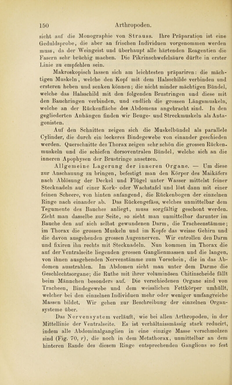 sicht auf die Monographie von Strauss. Ihre Präparation ist eine Geduldsprobe, die aber an frischen Individuen vorgenommen werden muss, da der Weingeist und überhaupt alle härtenden Reagentien die Fasern sehr brüchig machen. Die Pikrinschwefelsäure dürfte in erster Linie zu empfehlen sein. Makroskopisch lassen sich am leichtesten präpariren: die mäch- tigen Muskeln , welche den Kopf mit dem Halsschilde verbinden und ersteren heben und senken können; die nicht minder mächtigen Bündel, welche das Halsschild mit den folgenden Brustringen und diese mit den Bauchringen verbinden, und endlich die grossen Längsmuskeln, welche an der Rückenfläche des Abdomens angebracht sind. In den gegliederten Anhängen finden wir Beuge- und Streckmuskeln als Anta- gonisten. Auf den Schnitten zeigen sich die Muskelbündel als parallele Cylinder, die durch ein lockeres Bindegewebe von einander geschieden werden. Querschnitte des Thorax zeigen sehr schön die grossen Rücken- muskeln und die schiefen dorsoventralen Bündel, welche sich an die inneren Apophysen der Brustringe ansetzen. Allgemeine Lagerung der inneren Organe. — Um diese zur Anschauung zu bringen, befestigt man den Körper des Maikäfers nach Ablösung der Deckel und Flügel unter Wasser mittelst feiner Stecknadeln auf einer Kork- oder Wachstafel und löst dann mit einer feinen Scheere, von hinten anfangend, die Rückenbogen der einzelnen Ringe nach einander ab. Das Rückengefäss, welches unmittelbar dem Tegumente des Bauches anliegt, muss sorgfältig geschont werden. Zieht mau dasselbe zur Seite, so sieht man unmittelbar darunter im Bauche den auf sich selbst gewundenen Darm, die Tracheenstämme; im Thorax die grossen Muskeln und im Kopfe das weisse Gehirn und die davon ausgehenden grossen Augennerven. Wir entrollen den Darm und fixiren ihn rechts mit Stecknadeln. Nun kommen im Thorax die auf der Ventralseite liegenden grossen Ganglienmassen und die langen, von ihnen ausgehenden Nervenstämme zum Vorschein, die in das Ab- domen ausstrahlen. Im Abdomen sieht man unter dem Darme die Geschlechtsorgane; die Ruthe mit ihrer voluminösen Chitinscheide fällt beim Männchen besonders auf. Die verschiedenen Organe sind von Tracheen, Bindegewebe und dem weisslichen Fettkörper umhüllt, welcher bei den einzelnen Individuen mehr oder weniger umfangreiche Massen bildet. Wir gehen zur Beschreibung der einzelnen Organ- systeme über. Das Nervensystem verläuft, wie bei allen Arthropoden, in der Mittellinie der Ventralseite. Es ist verhältnissmässig stark reducirt, indem alle Abdominalganglien in eine einzige Masse verschmolzen sind (Fig. 70. r), die noch in dem Metathorax, unmittelbar an dem hinteren Rande des diesem Ringe entsprechenden Ganglions so fest
