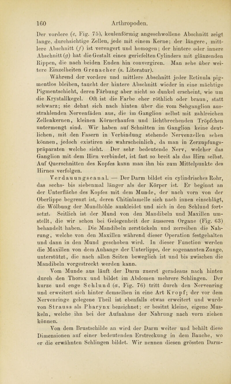 Der vordere (e, Fig. 75), keulenförmig angeschwollene Abschnitt zeigt lange, durchsichtige Zellen, jede mit einem Kerne; der längere, mitt- lere Abschnitt (/) ist verengert und homogen; der hintere oder innere Abschnitt (g) hat die Gestalt eines geriefelten Cylinders mit glänzenden Rippen, die nach beiden Enden hin convergiren. Man sehe über wei- tere Einzelheiten Grenacher (s. Literatur). Während der vordere und mittlere Abschnitt jeder Retinula pig- mentlos bleiben, taucht der hintere Abschnitt wieder in eine mächtige Pigmentschicht, deren Färbung aber nicht so dunkel erscheint, wie um die Krystallkegel. Oft ist die Farbe eher röthlich oder braun, statt schwarz; sie dehnt sich nach hinten über die vom Sehganglion aus- strahlenden Nervenfäden aus, die im Ganglion selbst mit zahlreichen Zellenkernen, kleinen Körnerhaufen und lichtbrechenden Tröpfchen untermengt sind. Wir haben auf Schnitten im Ganglion keine deut- lichen, mit den Fasern in Verbindung stehende Nervenzellen sehen können, jedoch existiren sie wahrscheinlich, da man in Zerzupfungs- präparaten welche sieht. Der sehr bedeutende Nerv, welcher das Ganglion mit dem Hirn verbindet, ist fast so breit als das Hirn selbst. Auf Querschnitten des Kopfes kann man ihn bis zum Mittelpunkte des Hirnes verfolgen. Verdauungscanal. — Der Darm bildet ein cylindrisches Rohr, das sechs- bis siebenmal länger als der Körper ist. Er beginnt an der Unterfläche des Kopfes mit dem Munde, der nach vorn von der Oberlippe begrenzt ist, deren Chitinlamelle sich nach innen einschlägt, die Wölbung der Mundhöhle auskleidet und sich in den Schlund fort- setzt. Seitlich ist der Mund von den Mandibeln und Maxillen um- stellt, die wir schon bei Gelegenheit der äusseren Organe (Fig. 63) behandelt haben. Die Mandibeln zerstückeln und zerreiben die Nah- rung, welche von den Maxillen während dieser Operation festgehalten und dann in den Mund geschoben wird. In dieser Function werden die Maxillen von dem Anhänge der Unterlippe, der sogenannten Zunge, unterstützt, die nach allen Seiten beweglich ist und bis zwischen die Mandibeln vorgestreckt werden kann. Vom Munde aus läuft der Darm zuerst geradeaus nach hinten durch den Thorax und bildet im Abdomen mehrere Schlingen. Der kurze und enge Schlund (a, Fig. 76) tritt durch den Nervenring und erweitert sich hinter demselben in eine Art Kropf; der vor dem Nervenringe gelegene Theil ist ebenfalls etwas erweitert und wurde von Strauss als Pharynx bezeichnet; er besitzt kleine, eigene Mus- keln, welche ihn bei der Aufnahme der Nahrung nach vorn ziehen können. Von dem Brustschilde an wird der Darm weiter und behält diese Dimensionen auf einer bedeutenden Erstreckung in dem Bauche, wo er die erwähnten Schlingen bildet. Wir nennen diesen grössten Darm-