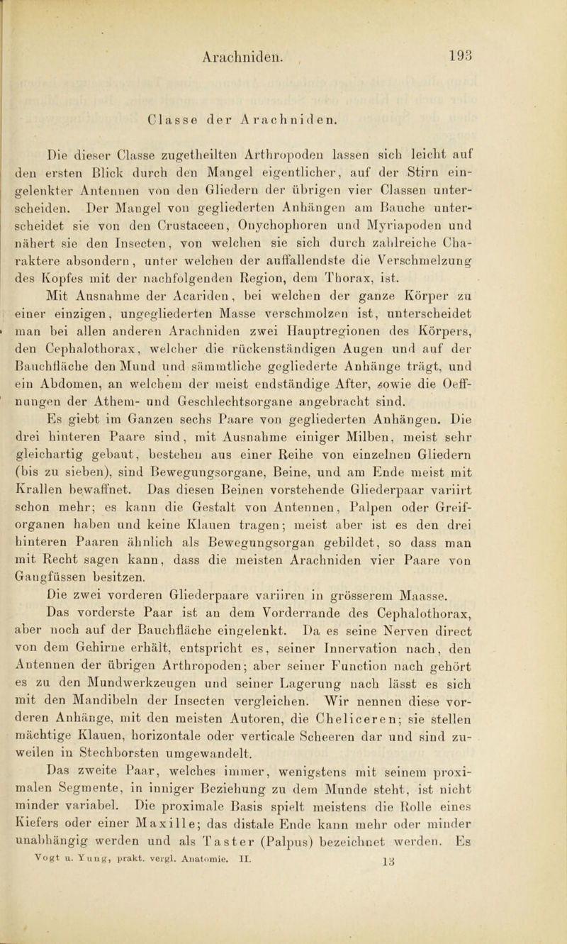Classe der Arachniden. Die dieser Classe zugetheilten Arthropoden lassen sich leicht auf den ersten Blick durch den Mangel eigentlicher, auf der Stirn ein- srelenkter Antennen von den Gliedern der übrigen vier Classen unter- scheiden. Der Mangel von gegliederten Anhängen am Bauche unter- scheidet sie von den Crustaceen, Onychophoren und Myriapoden und nähert sie den Insecten, von welchen sie sich durch zahlreiche Cha- raktere absondern , unter welchen der auffallendste die Verschmelzung des Kopfes mit der nachfolgenden Region, dem Thorax, ist. Mit Ausnahme der Acariden, bei welchen der ganze Körper zu einer einzigen, ungegliederten Masse verschmolzen ist, unterscheidet man bei allen anderen Arachniden zwei Hauptregionen des Körpers, den Cephalothorax, welcher die rückenständigen Augen und auf der Bauchfläche den Mund und sämmtlicke gegliederte Anhänge trägt, und ein Abdomen, an welchem der meist endständige After, .sowie die Oeff- nungen der Athem- und Geschlechtsorgane angebracht sind. Es giebt im Ganzen sechs Paare von gegliederten Anhängen. Die drei hinteren Paare sind, mit Ausnahme einiger Milben, meist sehr gleichartig gebaut, bestehen aus einer Reihe von einzelnen Gliedern (bis zu sieben), sind Bewegungsorgane, Beine, und am Ende meist mit Krallen bewaffnet. Das diesen Beinen vorstehende Gliederpaar variirt schon mehr; es kann die Gestalt von Antennen, Palpen oder Greif- organen haben und keine Klauen tragen; meist aber ist es den drei hinteren Paaren ähnlich als Bewegungsorgan gebildet, so dass man mit Recht sagen kann, dass die meisten Arachniden vier Paare von Gangfüssen besitzen. Die zwei vorderen Gliederpaare variiren in grösserem Maasse. Das vorderste Paar ist an dem Vorderrande des Cephalothorax, aber noch auf der Bauchfläche eingelenkt. Da es seine Nerven direct von dem Gehirne erhält, entspricht es, seiner Innervation nach, den Antennen der übrigen Arthropoden; aber seiner Function nach gehört es zu den Mundwerkzeugen und seiner Lagerung nach lässt es sich mit den Mandibeln der Insecten vergleichen. Wir nennen diese vor- deren Anhänge, mit den meisten Autoren, die Cheliceren; sie stellen mächtige Klauen, horizontale oder verticale Scheeren dar und sind zu- weilen in Stechborsten umgewandelt. Das zweite Paar, welches immer, wenigstens mit seinem proxi- malen Segmente, in inniger Beziehung zu dem Munde steht, ist nicht minder variabel. Die proximale Basis spielt meistens die Rolle eines Kiefers oder einer Maxille; das distale Ende kann mehr oder minder unabhängig werden und als Taster (Palpus) bezeichnet werden. Es