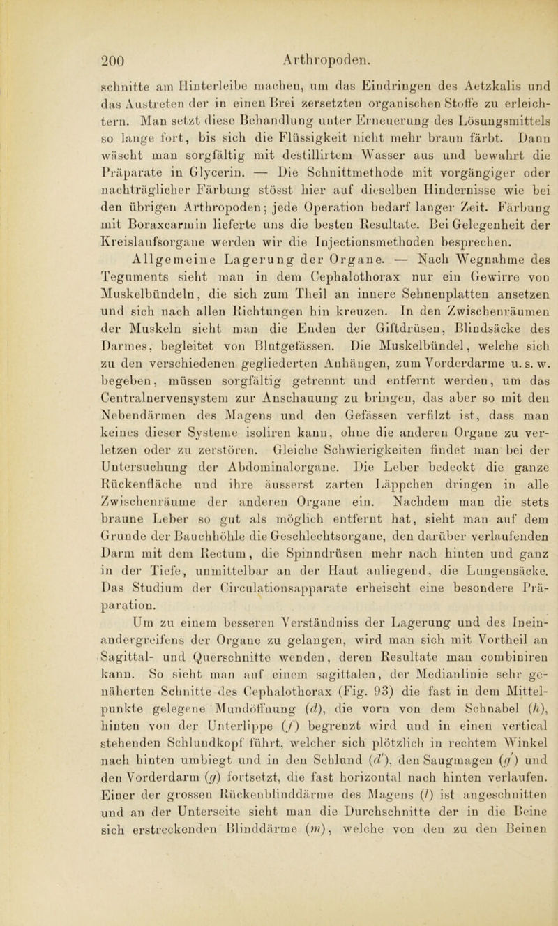 schnitte am Hinterleibe machen, um das Eindringen des Aetzkalis und das Austreten der in einen Brei zersetzten organischen Stoffe zu erleich- tern. Man setzt diese Behandlung unter Erneuerung des Lösungsmittels so lange fort, bis sich die Flüssigkeit nicht mehr braun färbt. Dann wäscht man sorgfältig mit destillirtem Wasser aus und bewahrt die Präparate in Glycerin. — Die Scknittmethode mit vorgängiger oder nachträglicher Färbung stösst hier auf dieselben Hindernisse wie bei den übrigen Arthropoden; jede Operation bedarf langer Zeit. Färbung mit Boraxcarmin lieferte uns die besten Resultate. Bei Gelegenheit der Kreislaufsorgane werden wir die Injectionsmethoden besprechen. Allgemeine Lagerung der Organe. — Nach Wegnahme des Teguments sieht man in dem Cepkalothorax nur ein Gewirre vou Muskelbündeln, die sich zum Tlieil an innere Sehnenplatten ansetzen und sich nach allen Richtungen hin kreuzen. In den Zwischenräumen der Muskeln sieht man die Enden der Giftdrüsen, Blindsäcke des Darmes, begleitet von Blutgefässen. Die Muskelbündel, welche sich zu den verschiedenen gegliederten Anhängen, zum Vorderdarme u. s. w. begeben, müssen sorgfältig getrennt und entfernt werden, um das Centralnervensystem zur Anschauung zu bringen, das aber so mit den Nebendärmen des Magens und den Gefässen verfilzt ist, dass man keines dieser Systeme isoliren kann, ohne die anderen Organe zu ver- letzen oder zu zerstören. Gleiche Schwierigkeiten findet man bei der Untersuchung der Abdominalorgane. Die Leber bedeckt die ganze Rückenfläche und ihre äusserst zarten Läppchen dringen in alle Zwischenräume der anderen Organe ein. Nachdem man die stets braune Leber so gut als möglich entfernt hat, sieht man auf dem Grunde der Bauchhöhle die Geschlechtsorgane, den darüber verlaufenden Darm mit dem Rectum, die Spinndrüsen mehr nach hinten und ganz in der Tiefe, unmittelbar an der Haut anliegend, die Lungensäcke. Das Studium der Circulationsapparate erheischt eine besondere Prä- paration. Um zu einem besseren Verständniss der Lagerung und des Inein- andergreifens der Organe zu gelangen, wird man sich mit Vortheil an Sagittal- und Querschnitte wenden, deren Resultate man combiniren kann. So sieht man auf einem sagittalen, der Medianlinie sehr ge- näherten Schnitte des Cephalothorax (Fig. 93) die fast in dem Mittel- punkte gelegene Mundöffnung (d), die vorn von dem Schnabel (A), hinten von der Unterlippe (/) begrenzt wird und in einen vertical stehenden Schlundkopf führt, welcher sich plötzlich in rechtem Winkel nach hinten umbiegt und in den Schlund (d'), den Saugmagen {()) und den Vorderdarm (g) fortsetzt, die fast horizontal nach hinten verlaufen. Einer der grossen Rückenblinddärme des Magens (/) ist angeschnitten und an der Unterseite sieht man die Durchschnitte der in die Beine sich erstreckenden Blinddärme (w), welche von den zu den Beinen