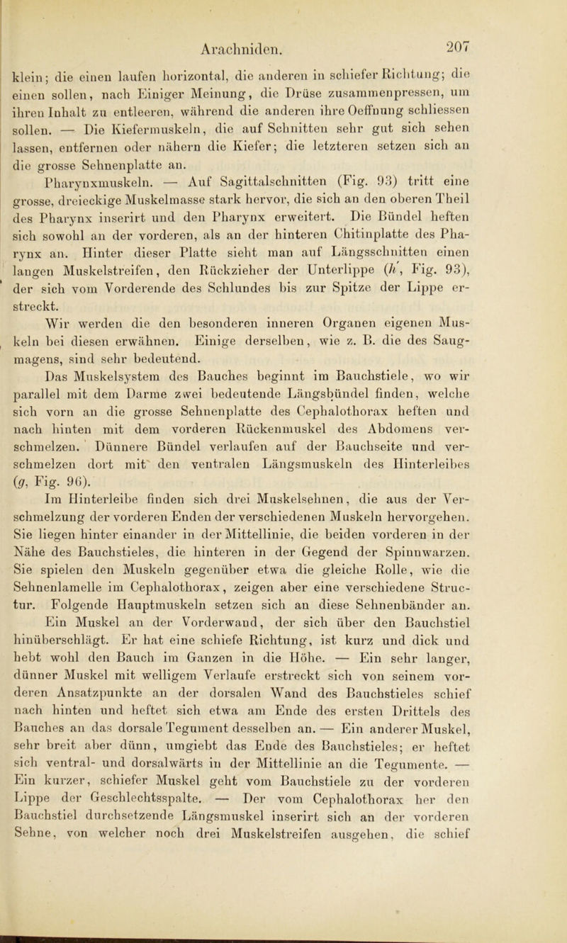 klein; die einen laufen horizontal, die anderen in schiefer Richtung; die einen sollen, nach Einiger Meinung, die Drüse zusammenpressen, um ihren Inhalt zu entleeren, während die anderen ihre OefFnung schliessen sollen. — Die Kiefermuskeln, die auf Schnitten sehr gut sich sehen lassen, entfernen oder nähern die Kiefer; die letzteren setzen sich an die grosse Sehnenplatte an. Pharynxmuskeln. — Auf Sagittalschnitten (Fig. 93) tritt eine grosse, dreieckige Muskelmasse stark hervor, die sich an den oberen Theil des Pharynx inserirt und den Pharynx erweitert. Die Bündel heften sich sowohl an der vorderen, als an der hinteren Chitinplatte des Pha- rynx an. Hinter dieser Platte sieht man auf Längsschnitten einen langen Muskelstreifen, den Rückzieher der Unterlippe (h, Fig. 93), der sich vom Vorderende des Schlundes bis zur Spitze der Lippe er- streckt. Wir werden die den besonderen inneren Organen eigenen Mus- keln bei diesen erwähnen. Einige derselben, wie z. B. die des Saug- magens, sind sehr bedeutend. Das Muskelsystem des Bauches beginnt im Bauchstiele, wo wir parallel mit dem Darme zwei bedeutende Längsbündel finden, welche sich vorn an die grosse Sehuenplatte des Cephalothorax heften und nach hinten mit dem vorderen Rückenmuskel des Abdomens ver- schmelzen. Dünnere Bündel verlaufen auf der Bauchseite und ver- schmelzen dort mit den ventralen Längsmuskeln des Hinterleibes (9, Fig. 96). Im Hinterleibe finden sich drei Muskelsehnen, die aus der Ver- schmelzung der vorderen Enden der verschiedenen Muskeln hervorgehen. Sie liegen hinter einander in der Mittellinie, die beiden vorderen in der Nähe des Bauchstieles, die hinteren in der Gegend der Spinnwarzeu. Sie spielen den Muskeln gegenüber etwa die gleiche Rolle, wie die Sehnenlamelle im Cephalothorax, zeigen aber eine verschiedene Struc- tur. Folgende Hauptmuskeln setzen sich an diese Sehnenbänder an. Ein Muskel an der Vorderwand, der sich über den Bauchstiel hinüberschlägt. Er hat eine schiefe Richtung, ist kurz und dick und hebt wohl den Bauch im Ganzen in die Höhe. — Ein sehr langer, dünner Muskel mit welligem Verlaufe erstreckt sich von seinem vor- deren Ansatzpunkte an der dorsalen Wand des Bauchstieles schief nach hinten und heftet sich etwa am Ende des ersten Drittels des Bauches an das dorsale Tegument desselben an.— Ein anderer Muskel, sehr breit aber dünn, umgiebt das Ende des Bauchstieles; er heftet sich ventral- und dorsalwärts in der Mittellinie an die Tegumente. — Ein kurzer, schiefer Muskel geht vom Bauchstiele zu der vorderen Lippe der Geschlechtsspalte. — Der vom Cephalothorax her den Bauchstiel durchsetzende Längsmuskel inserirt sich an der vorderen Sehne, von welcher noch drei Muskelstreifen ausgehen, die schief
