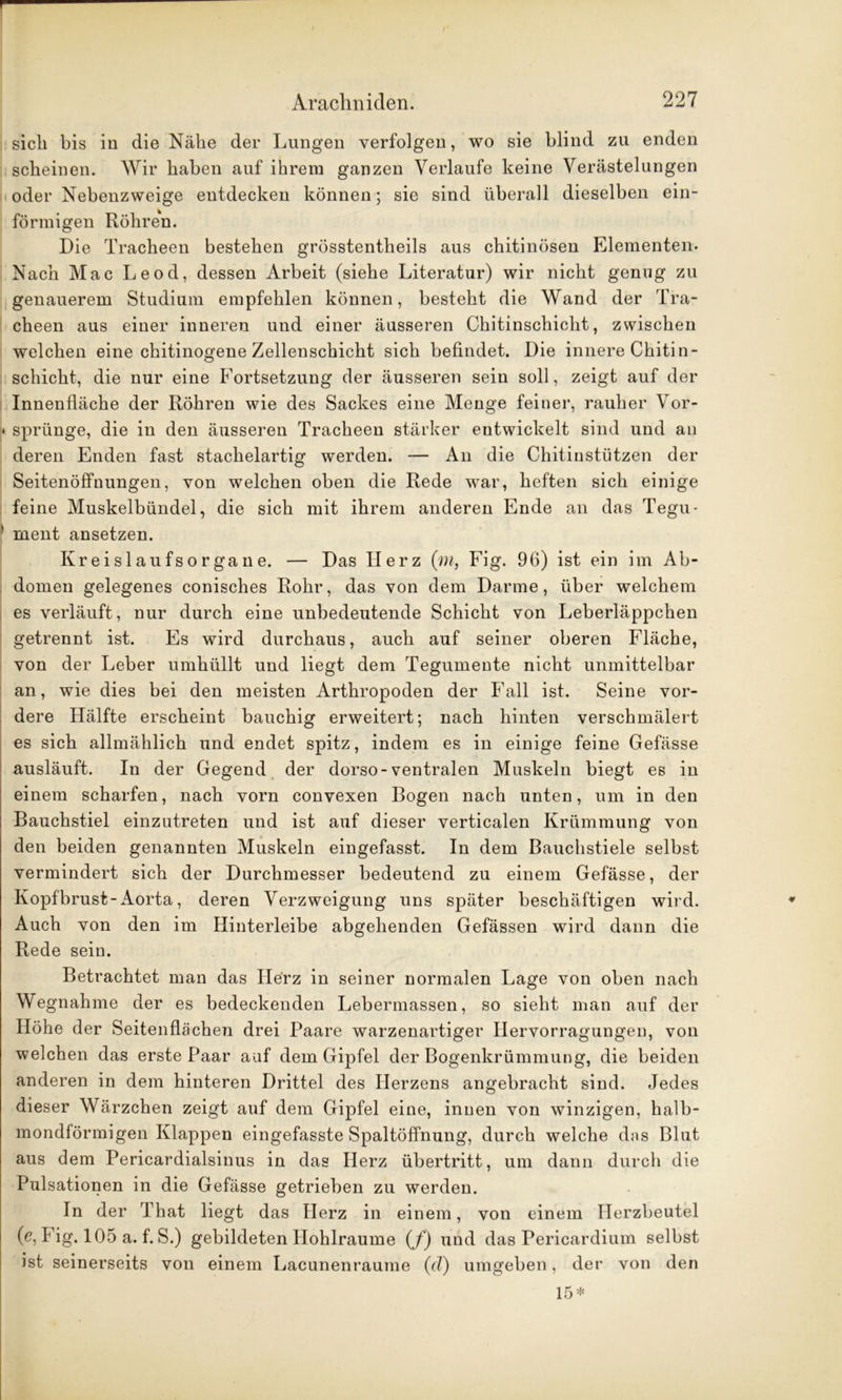 sich bis in die Nähe der Lungen verfolgen, wo sie blind zu enden scheinen. Wir haben auf ihrem ganzen Verlaufe keine Verästelungen oder Nebenzweige entdecken können; sie sind überall dieselben ein- förmigen Röhren. Die Tracheen bestehen grösstentheils aus chitinösen Elementen. Nach Mac Leod, dessen Arbeit (siehe Literatur) wir nicht genug zu genauerem Studium empfehlen können, besteht die Wand der Tra- cheen aus einer inneren und einer äusseren Chitinschicht, zwischen welchen eine chitinogene Zellenschicht sich befindet. Die innere Chitin - schiebt, die nur eine Fortsetzung der äusseren sein soll, zeigt auf der Innenfläche der Röhren wie des Sackes eine Menge feiner, rauher Vor- ♦ Sprünge, die in den äusseren Tracheen stärker entwickelt sind und an deren Enden fast stachelartig werden. — An die Chitinstützen der Seitenöffnungen, von welchen oben die Rede war, heften sich einige feine Muskelbündel, die sich mit ihrem anderen Ende an das Tegu- ment ansetzen. Kreislaufsorgane. — Das Herz (m, Fig. 96) ist ein im Ab- domen gelegenes conisches Rohr, das von dem Darme, über welchem es verläuft, nur durch eine unbedeutende Schicht von Leberläppchen getrennt ist. Es wird durchaus, auch auf seiner oberen Fläche, von der Leber umhüllt und liegt dem Tegumente nicht unmittelbar an, wie dies bei den meisten Arthropoden der Fall ist. Seine vor- dere Hälfte erscheint bauchig erweitert; nach hinten verschmälert es sich allmählich und endet spitz, indem es in einige feine Gefässe ausläuft. In der Gegend der dorso-ventralen Muskeln biegt es in einem scharfen, nach vorn convexen Bogen nach unten, um in den Bauchstiel einzutreten und ist auf dieser verticalen Krümmung von den beiden genannten Muskeln eingefasst. In dem Bauchstiele selbst vermindert sich der Durchmesser bedeutend zu einem Gefässe, der Kopfbrust-Aorta, deren Verzweigung uns später beschäftigen wird. Auch von den im Hinterleibe abgehenden Gefässen wird dann die Rede sein. Betrachtet man das Herz in seiner normalen Lage von oben nach Wegnahme der es bedeckenden Lebermassen, so sieht man auf der Höhe der Seitenflächen drei Paare warzenartiger Ilervorragungen, von welchen das erste Paar auf dem Gipfel der Bogenkrümmung, die beiden anderen in dem hinteren Drittel des Herzens angebracht sind. Jedes dieser Wärzchen zeigt auf dem Gipfel eine, innen von winzigen, halb- mondförmigen Klappen eingefasste Spaltöffnung, durch welche das Blut aus dem Pericardialsinus in das Herz Übertritt, um dann durch die Pulsationen in die Gefässe getrieben zu werden. In der That liegt das Herz in einem, von einem Herzbeutel (e, Fig. 105 a. f. S.) gebildeten Hohlraume (/) und das Pericardium selbst ist seinerseits von einem Lacunenraume (d) umgeben, der von den 15*