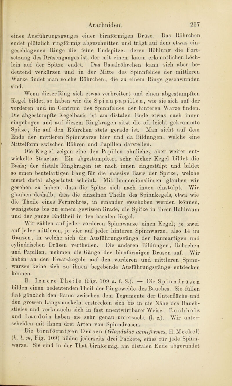 eines Ausführungsganges einer bimförmigen Drüse. Das Röhrchen endet plötzlich ringförmig ahgeschnitten und trägt auf dem etwas ein- geschlagenen Ringe die feine Endspitze, deren Höhlung die Fort- setzung des Drüsenganges ist, der mit einem kaum erkenntlichen Löch- lein auf der Spitze endet. Das Basalröhrchen kann sich aber be- deutend verkürzen und in der Mitte des Spinnfeldes der mittleren Warze findet man solche Röhrchen , die zu einem Ringe geschwunden sind. Wenn dieser Ring sich etwas verbreitert und einen abgestumpften Kegel bildet, so haben wir die Spinnpapillen, wie sie sich auf der vorderen und im Centrum des Spinnfeldes der hinteren Warze finden. Die abgestumpfte Kegelbasis ist am distalen Ende etwas nach innen eingebogen und auf diesem Ringkragen sitzt die oft leicht gekrümmte Spitze, die auf den Röhrchen stets gerade ist. Man sieht auf dem Ende der mittleren Spinnwarze hier und da Bildungen, welche eine Mittelform zwischen Röhren und Papillen darstellen. Die Kegel zeigen eine den Papillen ähnliche, aber weiter ent- wickelte Structur. Ein abgestumpfter, sehr dicker Kegel bildet die Basis; der distale Ringkragen ist nach innen eingestülpt und bildet so einen beutelartigen Fang für die massive Basis der Spitze, welche meist distal abgestutzt scheint. Mit Immersionslinsen glauben wir gesehen zu haben, dass die Spitze sich nach innen einstülpt. Wir glauben deshalb, dass die einzelnen Theile des Spinnkegels, etwa wie die Theile eines Fernrohres, in einander geschoben werden können, wenigstens bis zu einem gewissen Grade, die Spitze in ihren Hohlraum und der ganze Endtheil in den basalen Kegel. Wir zählen auf jeder vorderen Spinnwarze einen Kegel; je zwei auf jeder mittleren, je vier auf jeder hinteren Spinnwarze, also 14 im Ganzen, in welche sich die Ausführungsgänge der baumartigen und cylindrischen Drüsen vertheilen. Die anderen Bildungen, Röhrchen und Papillen, nehmen die Gänge der bimförmigen Drüsen auf. Wir haben an den Ersatzkegeln auf den vorderen und mittleren Spinn- warzen keine sich zu ihnen begebende Ausführungsgänge entdecken können. B. Innere Theile (Fig. 109 a. f. S-). — Die Spinndrüsen bilden einen bedeutenden Theil der Eingeweide des Bauches. Sie füllen fast gänzlich den Raum zwischen dem Tegumente der Unterfläche und den grossen Längsmuskeln, erstrecken sich bis in die Nähe des Bauch- stieles und verknäueln sich in fast unentwirrbarer Weise. Buchholz und Landois haben sie sehr genau untersucht (1. c.). Wir unter- scheiden mit ihnen drei Arten von Spinndrüsen. Die bimförmigen Drüsen {Glandulae aciniform es, II. Meckel) (70 7, m, Fig. 109) bilden jederseits drei Packete, eines für jede Spinn- warze. Sie sind in der That bimförmig, am distalen Ende abgerundet