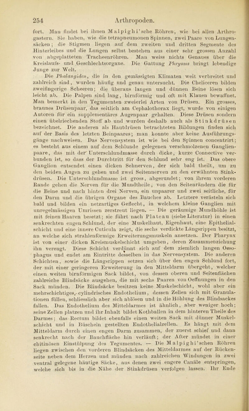 fori. Man findet bei ihnen Malpigli i’sehe Röhren, wie bei allen Artliro- gastern. Sie haben, wie die tetrapneumonen Spinnen, zwei Paare von Lungen- säcken ; die Stigmen liegen auf dem zweiten und dritten Segmente des Hinterleibes und die Lungen selbst bestehen aus einer sehr grossen Anzahl von abgeplatteten Tracheenröhren. Man weiss nichts Genaues über die Kreislaufs- und Geschlechtsorgane. Hie Gattung Phrynus bringt lebendige Junge zur Welt. Hie Phalangiden, die in den gemässigten Klimaten weit verbreitet und zahlreich sind, wurden häufig und genau untersucht. Hie Clieliceren bilden zweifingerige Scheeren; die überaus langen und dünnen Beine lösen sich leicht ab. Hie Palpen sind lang, bimförmig und oft mit Klauen bewaffnet. Man bemerkt in den Tegumenten zweierlei Arten von Hrüseu. Ein grosses, braunes Hrüsenpaar, das seitlich am Ceplialotliorax liegt, wurde von einigen Autoren für ein supplementäres Augenpaar gehalten. Hiese Hrüseu sondern einen übelriechenden Stoff ab und wurden deshalb auch als Stinkdrüsen bezeichnet. Hie anderen als Hautdrüsen betrachteten Bildungen finden sich auf der Basis des letzten Beinpaares ; man konnte aber keine Ausführungs- gänge nacliweisen. Has Nervensystem ist wie bei den Spinnen concentrirt; es besteht aus einem auf dem Schlunde gelegenen verschmolzenen Ganglien- paare, das mit der Unterschlundmasse durch dicke, kurze Connective ver- bunden ist, so dass der Hurchtritt für den Schlund sehr eng ist. Has obere Ganglion entsendet einen dicken Sehnerven, der sich bald theilt, um zu den beiden Augen zu gehen und zwei Seitennerven zu den erwähnten Stink- drüsen. Hie Unterschlundmasse ist gross, abgerundet; von ihrem vorderen Rande gehen die. Nerven für die Mundtheile, von den Seitenrändern die für die Beine und nach hinten drei Nerven, ein unpaarer und zwei seitliche, fin- den Harm und die übrigen Organe des Bauches ab. Letztere verästeln sich bald und bilden ein netzartiges Geflecht, in welchem kleine Ganglien mit unregelmässigen Umrissen zerstreut liegen. — Hie geräumige Mundhöhle ist mit feinen Haaren besetzt; sie führt nach Plateau (siehe Literatur) in einen senkrechten engen Schlund, der eine Muskelhaut, Eigenhaut, eine Epithelial- schicht und eine innere Cuticula zeigt, die sechs verdickte Längsrippen besitzt, an welche sich strahlenförmige Erweiterungsmuskeln ansetzen. Her Pharynx ist von einer dicken Kreismuskelschicht umgeben, deren Zusammenziehung ihn verengt. Hiese Schicht verdünnt sich auf dem ziemlich langen Oeso- phagus und endet am Eintritte desselben in das Nervensystem. Hie anderen Schichten , sowie die Längsrippen setzen sich über den engen Schlund fort, der mit einer geringeren Erweiterung in den Mitteldarm übergeht, welcher einen weiten bimförmigen Sack bildet, von dessen oberen und Seitenflächen zahlreiche Bliudsäcke ausgehen, die mit sechs Paaren von Oeffnungen in den Sack münden. Hie Blindsäcke besitzen keine Muskelschicht, wohl aber ein mehrschichtiges,-cylindrisclies Endothelium, dessen Zellen sich mit Granula- tionen füllen, schliesslich aber sich ablösen und in die Höhlung des Blindsackes fallen. Has Endothelium des Mitteldarmes ist ähnlich, aber weniger hoch; seine Zellen platzen und ihr Inhalt bildet Kothballen in dem hinteren Theile des Harmes; das Rectum bildet ebenfalls einen weiten Sack mit dünner Muskel- scliiclit und in Büscheln gestellten Endothelialzellen. Es hängt mit dem Mitteldarm durch einen engen Harm zusammen, der zuerst schief und dann senkrecht nach der Bauchfläche hin verläuft; der After mündet in einer chitinösen Einstülpung des Tegumentes. — Hie M alp ig lii’sehen Röhren liegen zwischen den vorderen Blindsäcken des Mitteldarmes auf der Rücken- seite neben dem Herzen und münden nach zahlreichen Windungen in zwei ventral gelegene häutige Säcke, aus denen zwei engere Canäle entspringen, welche sich bis in die Nähe der Stinkdrüsen verfolgen lassen. Ihr Ende