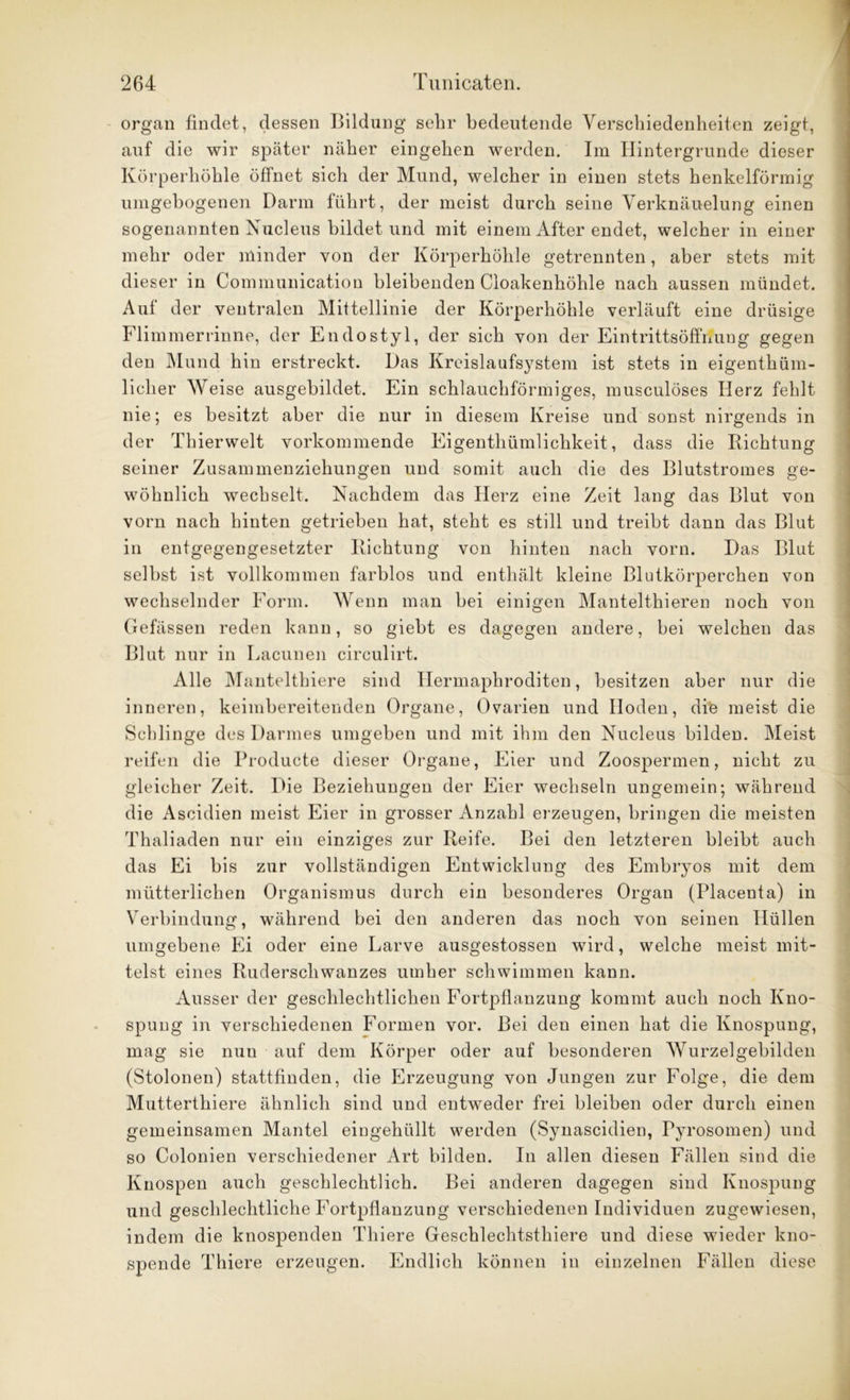 organ findet, dessen Bildung sehr bedeutende Verschiedenheiten zeigt, auf die wir später näher eingehen werden. Im Hintergründe dieser Körperhöhle öffnet sich der Mund, welcher in einen stets henkelförmig umgebogenen Darm führt, der meist durch seine Verknäuelung einen sogenannten Nucleus bildet und mit einem After endet, welcher in einer mehr oder minder von der Körperhöhle getrennten, aber stets mit dieser in Communication bleibenden Cloakenhöhle nach aussen mündet. Auf der ventralen Mittellinie der Körperhöhle verläuft eine drüsige Flimmerrinne, der Endostyl, der sich von der Eintrittsöffrmng gegen den Mund hin erstreckt. Das Kreislaufsystem ist stets in eigenthüm- liclier Weise ausgebildet. Ein schlauchförmiges, musculöses Herz fehlt nie; es besitzt aber die nur in diesem Kreise und sonst nirgends in der Thierwelt vorkommende Eigenthümlichkeit, dass die Ilichtung seiner Zusammenziehungen und somit auch die des Blutstromes ge- wöhnlich wechselt. Nachdem das Herz eine Zeit lang das Blut von vorn nach hinten getrieben hat, steht es still und treibt dann das Blut in entgegengesetzter Richtung von hinten nach vorn. Das Blut selbst ist vollkommen farblos und enthält kleine Blutkörperchen von wechselnder Form. Wenn man bei einigen Mantelthieren noch von Gefässen reden kann, so giebt es dagegen andere, bei welchen das Blut nur in Lacunen circulirt. Alle Manteltbiere sind Hermaphroditen, besitzen aber nur die inneren, keimbereitenden Organe, Ovarien und Hoden, di’e meist die Schlinge des Darmes umgeben und mit ihm den Nucleus bilden. Meist reifen die Producte dieser Organe, Eier und Zoospermen, nicht zu gleicher Zeit. Die Beziehungen der Eier wechseln ungemein; während die Ascidien meist Eier in grosser Anzahl erzeugen, bringen die meisten Thaliaden nur ein einziges zur Reife. Bei den letzteren bleibt auch das Ei bis zur vollständigen Entwicklung des Embryos mit dem mütterlichen Organismus durch ein besonderes Organ (Placenta) in Verbindung, während bei den anderen das noch von seinen Hüllen umgebene Ei oder eine Larve ausgestossen wird, welche meist mit- telst eines Ruderschwanzes umher schwimmen kann. Ausser der geschlechtlichen Fortpflanzung kommt auch noch Kno- spung in verschiedenen Formen vor. Bei den einen hat die Knospung, mag sie nun auf dem Körper oder auf besonderen Wurzelgebilden (Stolonen) stattfinden, die Erzeugung von Jungen zur Folge, die dem Mutterthiere ähnlich sind und entweder frei bleihen oder durch einen gemeinsamen Mantel eiugehüllt werden (Synascidien, Tyrosomen) und so Colonien verschiedener Art bilden. In allen diesen Fällen sind die Knospen auch geschlechtlich. Bei anderen dagegen sind Knospung und geschlechtliche Fortpflanzung verschiedenen Individuen zugewiesen, indem die knospenden Thiere Geschlechtsthiere und diese wieder kno- spende Thiere erzeugen. Endlich können in einzelnen Fällen diese