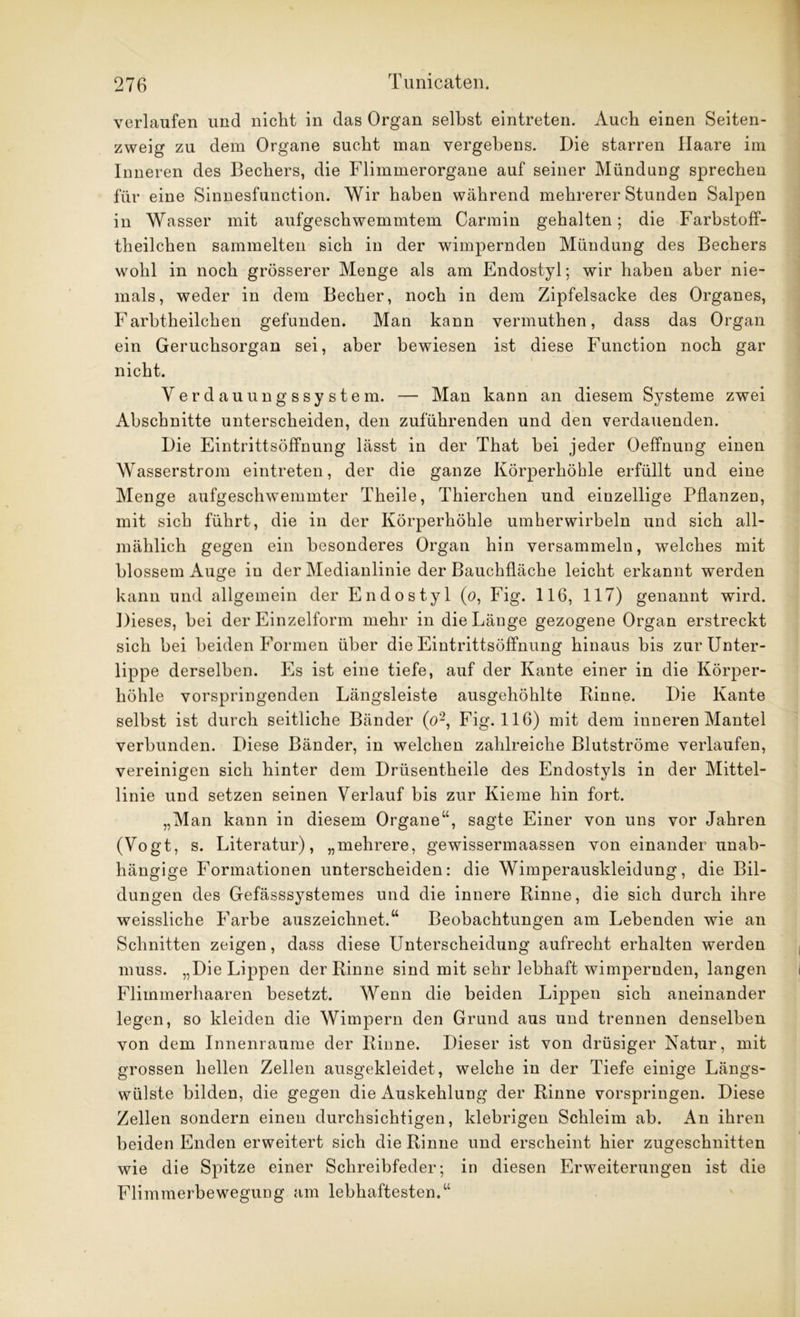 verlaufen und nicht in das Organ selbst eintreten. Auch einen Seiten- zweig zu dem Organe sucht man vergebens. Die starren Haare im Inneren des Bechers, die Flimmerorgane auf seiner Mündung sprechen für eine Sinnesfunction. Wir haben während mehrerer Stunden Salpen in Wasser mit aufgeschwemmtem Carmin gehalten; die Farbstoff- theilchen sammelten sich in der wimpernden Mündung des Bechers wohl in noch grösserer Menge als am Endostyl; wir haben aber nie- mals, weder in dem Becher, noch in dem Zipfelsacke des Organes, Farbtheilchen gefunden. Man kann vermuthen, dass das Organ ein Geruchsorgan sei, aber bewiesen ist diese Function noch gar nicht. Verdauungssystem. — Man kann an diesem Systeme zwei Abschnitte unterscheiden, den zuführenden und den verdauenden. Die Eintrittsöffnung lässt in der That hei jeder Oeffnung einen Wasserstrom eintreten, der die ganze Körperhöhle erfüllt und eine Menge aufgeschwemmter Theile, Thierchen und einzellige Pflanzen, mit sich führt, die in der Körperhöhle umherwirbeln und sich all- mählich gegen ein besonderes Organ hin versammeln, welches mit blossem Auge in der Medianlinie der Bauchfläche leicht erkannt werden kann und allgemein der Endostyl (o, Fig. 116, 117) genannt wird. Dieses, bei der Einzelform mehr in die Länge gezogene Organ erstreckt sich bei beiden Formen über die Eintrittsöffnung hinaus bis zur Unter- lippe derselben. Es ist eine tiefe, auf der Kante einer in die Körper- höhle vorspringenden Längsleiste ausgehöhlte Kinne. Die Kante selbst ist durch seitliche Bänder (o2, Fig. 116) mit dem inneren Mantel verbunden. Diese Bänder, in welchen zahlreiche Blutströme verlaufen, vereinigen sich hinter dem Drüsentheile des Endostyls in der Mittel- linie und setzen seinen Verlauf bis zur Kieme hin fort. „Man kann in diesem Organe“, sagte Einer von uns vor Jahren (Vogt, s. Literatur), „mehrere, gewissermaassen von einander unab- hängige Formationen unterscheiden: die Wimperauskleidung, die Bil- dungen des Gefässsystemes und die innere Rinne, die sich durch ihre weissliche Farbe auszeichnet.“ Beobachtungen am Lebenden wie an Schnitten zeigen, dass diese Unterscheidung aufrecht erhalten werden muss. „Die Lippen der Rinne sind mit sehr lebhaft wimpernden, langen Flimmerhaaren besetzt. Wenn die beiden Lippen sich aneinander legen, so kleiden die Wimpern den Grund aus und trennen denselben von dem Innenraume der Rinne. Dieser ist von drüsiger Natur, mit grossen hellen Zellen ausgekleidet, welche in der Tiefe einige Längs- wülste bilden, die gegen die Auskehlung der Rinne vorspringen. Diese Zellen sondern einen durchsichtigen, klebrigen Schleim ab. An ihren beiden Enden erweitert sich die Rinne und erscheint hier zugeschnitten wie die Spitze einer Schreibfeder; in diesen Erweiterungen ist die FlimmerbewegUDg am lebhaftesten.“