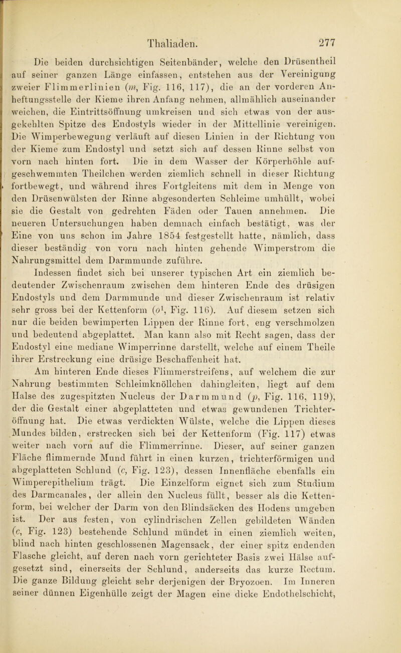 Die beiden durchsichtigen Seitenbänder, welche den Drüsentheil auf seiner ganzen Länge einfassen, entstehen aus der Vereinigung zweier Flimmerlinien (m, Fig. 116, 117), die an der vorderen An- heftungsstelle der Kieme ihren Anfang nehmen, allmählich auseinander weichen, die Eintrittsöffnung umkreisen und sich etwas von der aus- gekehlten Spitze des Endostyls wieder in der Mittellinie vereinigen. Die Wimperbewegung verläuft auf diesen Linien in der Richtung von der Kieme zum Endostyl und setzt sich auf dessen Rinne selbst von vorn nach hinten fort. Die in dem Wasser der Körperhöhle auf- geschwemmten Theilchen werden ziemlich schnell in dieser Richtung * fortbewegt, und während ihres Fortgleitens mit dem in Menge von den Drüsenwiilsten der Rinne abgesonderten Schleime umhüllt, wobei sie die Gestalt von gedrehten Fäden oder Tauen annehmen. Die neueren Untersuchungen haben demnach einfach bestätigt, was der ) Eine von uns schon im Jahre 1854 festgestellt hatte, nämlich, dass dieser beständig von vorn nach hinten gehende Wimperstrom die Nahrungsmittel dem Darmmunde zuführe. Indessen findet sich bei unserer typischen Art ein ziemlich be- deutender Zwischenraum zwischen dem hinteren Ende des drüsigen Endostyls und dem Darmmunde und dieser Zwischenraum ist relativ sehr gross bei der Kettenform (o1, Fig. 116). Auf diesem setzen sich nur die beiden bewimperten Lippen der Rinne fort, eng verschmolzen und bedeutend abgeplattet. Man kann also mit Recht sagen, dass der Endostyl eine mediane Wimperrinne darstellt, welche auf einem Theile ihrer Erstreckung eine drüsige Beschaffenheit hat. Am hinteren Ende dieses Flimmerstreifens, auf welchem die zur Nahrung bestimmten Schleimknöllchen dahingleiten, liegt auf dem Halse des zugespitzten Nucleus der Darmmund (p, Fig. 116, 119), der die Gestalt einer abgeplatteten und etwas gewundenen Trichter- öffnung hat. Die etwas verdickten Wülste, welche die Lippen dieses Mundes bilden, erstrecken sich bei der Kettenform (Fig. 117) etwas weiter nach vorn auf die Flimmerrinne. Dieser, auf seiner ganzen Fläche flimmernde Mund führt in einen kurzen, trichterförmigen und abgeplatteten Sch]und (c, Fig. 123), dessen Innenfläche ebenfalls ein Wimperepitheliuin trägt. Die Einzelform eignet sich zum Studium des Darmcanales, der allein den Nucleus füllt, besser als die Ketten- form, bei welcher der Darm von den Blindsäcken des Hodens umgeben ist. Der aus festen, von cylindrischen Zellen gebildeten Wänden (c, Fig. 123) bestehende Schlund mündet in einen ziemlich weiten, blind nach hinten geschlossenen Magensack, der einer spitz endenden Flasche gleicht, auf deren nach vorn gerichteter Basis zwei Hälse auf- gesetzt sind, einerseits der Schlund, anderseits das kurze Rectum. Die ganze Bildung gleicht sehr derjenigen der Bryozoen. Im Inneren seiner dünnen Eigenhülle zeigt der Magen eine dicke Endothelschicht,