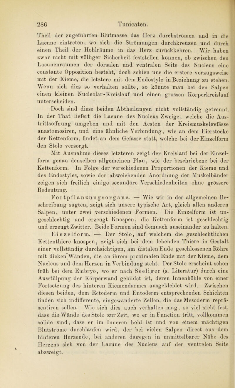 Theil der zugeführten Blutmasse das Herz durchströmen und in die Lacune eintreten, wo sich die Strömungen durchkreuzen und durch einen Theil der Hohlräume in das Herz zurückkehren. Wir haben zwar nicht mit völliger Sicherheit feststellen können, ob zwischen den Lacunenräumen der dorsalen und ventralen Seite des Nucleus eine constante Opposition besteht, doch schien uns die erstere vorzugsweise mit der Kieme, die letztere mit dem Endostyle in Beziehung zu stehen. Wenn sich dies so verhalten sollte, so könnte man bei den Salpen einen kleinen Nucleolar-Kreislauf und einen grossen Körperkreislauf unterscheiden. Doch sind diese beiden Abtheilungen nicht vollständig getrennt. In der That liefert die Lacune des Nucleus Zweige, welche die Aus- trittsöffnung umgehen und mit den Aesten der Kreismuskelgefässe anastomosiren, und eine ähnliche Verbindung, wie an dem Eierstocke der Kettenform, findet an dem Gefässe statt, welche bei der Einzelform den Stolo versorgt. Mit Ausnahme dieses letzteren zeigt der Kreislauf hei der Einzel- form genau denselben allgemeinen Plan, wie der beschriebene bei der Kettenform. In Folge der verschiedenen Proportionen der Kieme und des Endostyles, sowie der abweichenden Anordnung der Muskelbänder zeigen sich freilich einige secundäre Verschiedenheiten ohne grössere Bedeutung. Fortpflanzungsorgane. — Wie wir in der allgemeinen Be- schreibung sagten, zeigt sich unsere typische Art, gleich allen anderen Salpen, unter zwei verschiedenen Formen. Die Einzelform ist un- geschlechtig und erzeugt Knospen, die Kettenform ist geschlechtig und erzeugt Zwitter. Beide Formen sind demnach auseinander zu halten. Einzelform. — Der Stolo, auf welchem die geschlechtlichen Kettenthiere knospen, zeigt sich hei dem lebenden Thiere in Gestalt einer vollständig durchsichtigen, am distalen Ende geschlossenen Röhre mit dicken Wänden, die an ihrem proximalen Ende mit der Kieme, dem Nucleus und dem Herzen in Verbindung steht. Der Stolo erscheint schon früh bei dem Embryo, wo er nach Seeliger (s. Literatur) durch eine Ausstülpung der Körperwand gebildet ist, deren Innenhöhle von einer Fortsetzung des hinteren Kiemendarmes ausgekleidet wird. Zwischen diesen beiden, dem Ectoderm und Entoderm entsprechenden Schichten finden sich indifferente, eingewanderte Zellen, die das Mesoderm reprä- sentiren sollen. Wie sich dies auch verhalten mag, so viel steht fest, dass die Wände des Stolo zurZeit, wo er in Function tritt, vollkommen solide sind, dass er im Inneren hohl ist und von einem mächtigen Blutstrome durchlaufen wird, der bei vielen Salpen direct aus dem hinteren Herzende, bei anderen dagegen in unmittelbarer Nähe des Herzens sich von der Lacune des Nucleus auf der ventralen Seite abzweigt.
