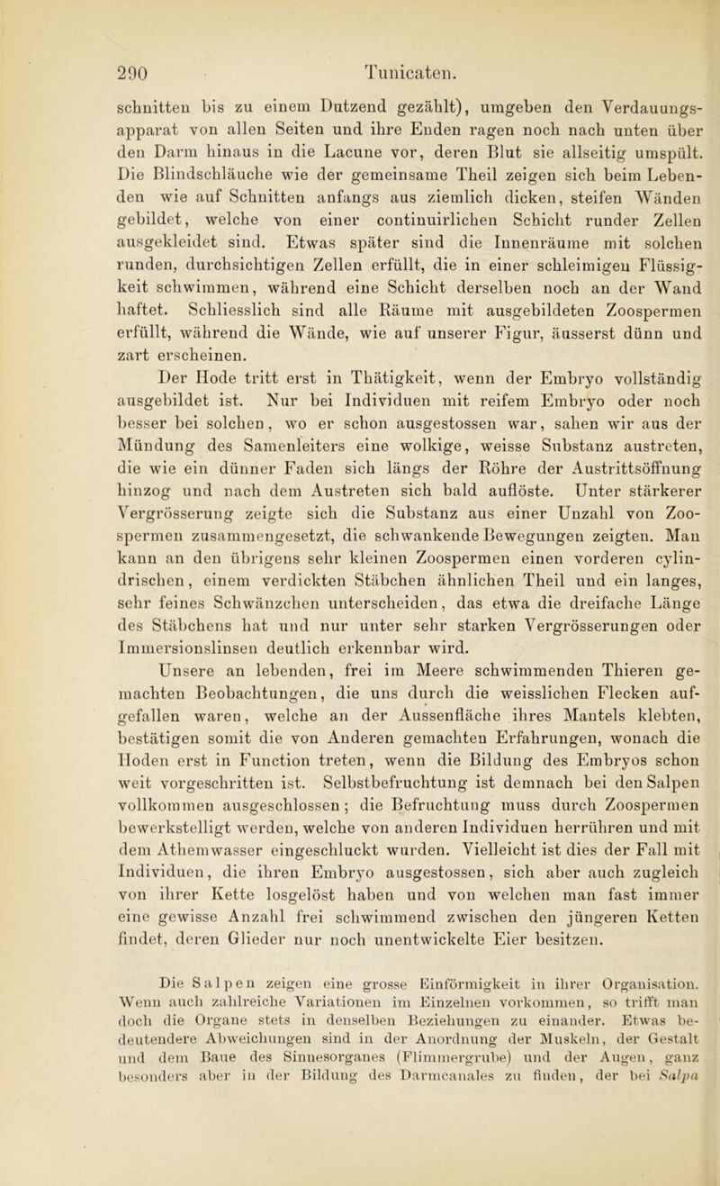 schnitten bis zu einem Dutzend gezählt), umgehen den Verdauungs- apparat von allen Seiten und ihre Enden ragen noch nach unten über den Darm hinaus in die Lacune vor, deren Blut sie allseitig umspült. Die Blindschläuche wie der gemeinsame Theil zeigen sich beim Leben- den wie auf Schnitten anfangs aus ziemlich dicken, steifen Wänden gebildet, welche von einer continuirlichen Schicht runder Zellen ausgekleidet sind. Etwas später sind die Innenräume mit solchen runden, durchsichtigen Zellen erfüllt, die in einer schleimigen Flüssig- keit schwimmen, während eine Schicht derselben noch an der Wand haftet. Schliesslich sind alle Räume mit ausgebildeten Zoospermen erfüllt, während die Wände, wie auf unserer Figur, äusserst dünn und zart erscheinen. Der Idode tritt erst in Thätigkeit, wenn der Embryo vollständig ausgebildet ist. Nur bei Individuen mit reifem Embryo oder noch besser bei solchen, wo er schon ausgestossen war, sahen wir aus der Mündung des Samenleiters eine wolkige, weisse Substanz austreten, die wie ein dünner Faden sich längs der Röhre der Austrittsöffnung hinzog und nach dem Austreten sich bald auflöste. Unter stärkerer Vergrösserung zeigte sich die Substanz aus einer Unzahl von Zoo- spermen zusammengesetzt, die schwankende Bewegungen zeigten. Man kann an den übrigens sehr kleinen Zoospermen einen vorderen cylin- drischen, einem verdickten Stäbchen ähnlichen Theil und ein langes, sehr feines Schwänzchen unterscheiden, das etwa die dreifache Länge des Stäbchens hat und nur unter sehr starken Vergrösserungen oder Immersionslinsen deutlich erkennbar wird. Unsere an lebenden, frei im Meere schwimmenden Thieren ge- machten Beobachtungen, die uns durch die weisslichen Flecken auf- gefallen waren, welche an der Aussenfläche ihres Mantels klebten, bestätigen somit die von Anderen gemachten Erfahrungen, wonach die Hoden erst in Function treten, wenn die Bildung des Embryos schon weit vorgeschritten ist. Selbstbefruchtung ist demnach bei den Salpen vollkommen ausgeschlossen ; die Befruchtung muss durch Zoospermen bewerkstelligt werden, welche von anderen Individuen herrühren und mit dem Athemwasser eingeschluckt wurden. Vielleicht ist dies der Fall mit Individuen, die ihren Embryo ausgestossen, sich aber auch zugleich von ihrer Kette losgelöst haben und von welchen man fast immer eine gewisse Anzahl frei schwimmend zwischen den jüngeren Ketten findet, deren Glieder nur noch unentwickelte Eier besitzen. Die Salpen zeigen eine grosse Einförmigkeit in ihrer Organisation. Wenn auch zahlreiche Variationen im Einzelnen Vorkommen, so trifft man doch die Organe stets in denselben Beziehungen zu einander. Etwas be- deutendere Abweichungen sind in der Anordnung der Muskeln, der Gestalt und dem Baue des Sinnesorganes (Flimmergrube) und der Augen, ganz besonders aber in der Bildung des Darmcanales zu finden, der bei Salpa
