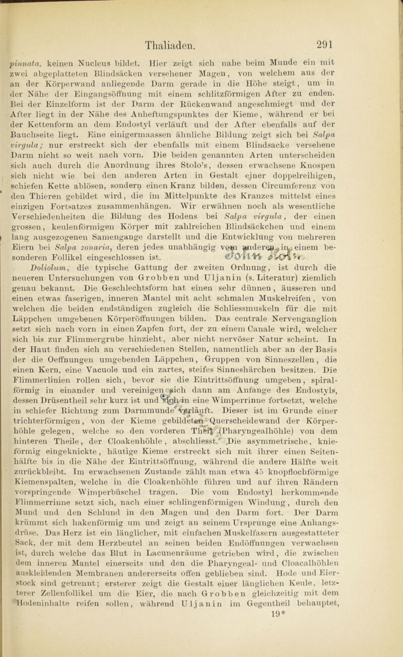 pinnata, keinen Nucleus bildet. Hier zeigt sieb nabe beim Munde ein mit zwei abgeplatteten Blindsäcken versehener Magen, von welchem aus der an der Körperwand anliegende Darm gerade in die Höhe steigt, um in der Nähe der Eingangsöffnung mit einem schlitzförmigen After zu enden. Bei der Einzelform ist der Darm der Rückenwand angeschmiegt und der After liegt in der Nähe des Anheftungspunktes der Kieme, während er bei der Kettenform an dem Endostyl verläuft und der After ebenfalls auf der Bauchseite liegt. Eine einigermaassen ähnliche Bildung zeigt sich bei Salpa virgula; nur erstreckt sich der ebenfalls mit einem Blindsacke versehene Darm nicht so weit nach vorn. Die beiden genannten Arten unterscheiden sich auch durch die Anordnung ihres Stolo’s, dessen erwachsene Knospen sich nicht wie bei den anderen Arten in Gestalt einer doppelreihigen, schiefen Kette ablösen, sondern einen Kranz bilden, dessen Circumferenz von den Thieren gebildet wird, die im Mittelpunkte des Kranzes mittelst eines einzigen Fortsatzes Zusammenhängen. Wir erwähnen noch als wesentliche Verschiedenheiten die Bildung des Hodens bei Salpa virgula, der einen grossen, keulenförmigen Körper mit zahlreichen Blindsäckchen und einem I lang ausgezogenen Samengange darstellt und die Entwicklung von mehreren Eiern bei Salpa zonaria, deren jedes unabhängig vo^i andero».^iru> einem be- sonderen Follikel eingeschlossen ist. wlm h, Doliolum, die typische Gattung der zweiten Ordnung, ist durch die neueren Untersuchungen von Grobben und Ul j an in (s. Literatur) ziemlich genau bekannt. Die Geschlechtsform hat einen sehr dünnen , äusseren und einen etwas faserigen, inneren Mantel mit acht schmalen Muskelreifen , von welchen die beiden endständigen zugleich die Schliessmuskeln für die mit Läppchen umgebenen Körperöffnungen bilden. Das centrale Nervenganglion setzt sich nach vorn in einen Zapfen fort, der zu einem Canale wird, welcher sich bis zur Flimmergrube hinzieht, aber nicht nervöser Natur scheint. In der Haut finden sich an verschiedenen Stellen, namentlich aber an der Basis der die Oeffnungen umgebenden Läppchen, Gruppen von Sinneszellen, die einen Kern, eine Vacuole und ein zartes, steifes Sinneshärchen besitzen. Die Flimmerlinien rollen sich, bevor sie die Eintrittsöffnung umgeben, spiral- förmig in einander und vereinigeno«ich dann am Anfänge des Endostyls, dessen Drüsentlieil sehr kurz ist und^fgh in eine Wimperrinne fortsetzt, welche in schiefer Richtung zum Darmmunde^y^rläuft. Dieser ist im Grunde einer trichterförmigen, von der Kieme gebildete« 'Querscheidewand der Körper- höhle gelegen, welche so den vorderen Thfe$’-(Pharyngealhölile) von dem hinteren Tlieile, der Cloakenhölile, abschliesst/ JDie asymmetrische, knie- förmig eingeknickte, häutige Kieme erstreckt sich mit ihrer einen Seiten- hälfte bis in die Nähe der Eintrittsöffnung, während die andere Hälfte weit zurückbleibt. Im erwachsenen Zustande zählt man etwa 45 knopflochförmige Kiemenspalten, welche in die Cloakenhöhle führen und auf ihren Rändern vorspringende Wimperbüschel tragen. Die vom Endostyl herkommende Flimmerriune setzt sich, nach einer schlingenförmigen Windung, durch den Mund und den Schlund in den Magen und den Darm fort. Der Darm krümmt sich hakenförmig um und zeigt an seinem Ursprünge eine Anliangs- driise. Das Herz ist ein länglicher, mit einfachen Muskelfasern ausgestatteter Sack, der mit dem Herzbeutel an seinen beiden Endöffnungen verwachsen ist, durch welche das Blut in Lacunenräume getrieben wird, die zwischen dem inneren Mantel einerseits und den die Pbarvngeal- und Cloacalhöhlen auskleidenden Membranen andererseits offen geblieben sind. Hode und Eier- stock sind getrennt; ersterer zeigt die Gestalt einer länglichen Keule, letz- terer Zellenfollikel um die Eier, die nach Grobben gleichzeitig mit dem Hodeninhalte reifen sollen, während Uljanin im Gegentlieil behauptet, 19*