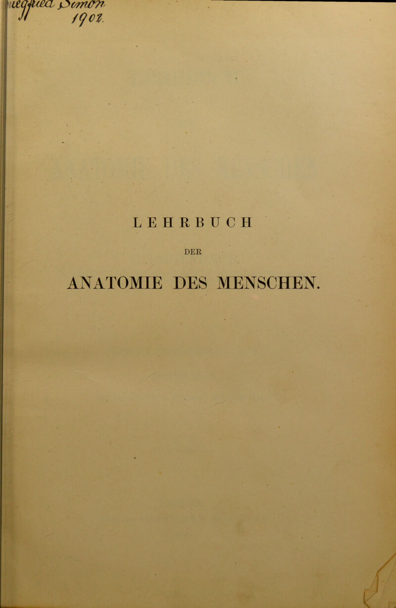 m ' y7>6997/777 tqot. LEHRBUCH ANATOMIE DES MENSCHEN.