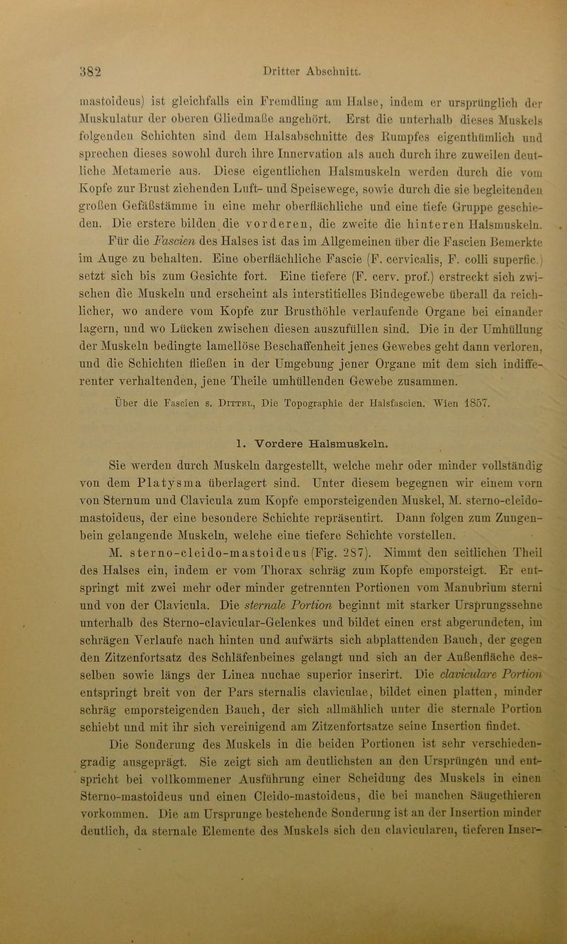 mastoideus) ist gleichfalls ein Fremdling am Halse, indem er ursprünglich der Muskulatur der oberen Gliedmaße angehört. Erst die unterhalb dieses Muskels folgenden Schichten sind dem Halsabschnitte des- Rumpfes eigenthümlich und sprechen dieses sowohl durch ihre Innervation als auch durch ihre zuweilen deut- liche Metamerie aus. Diese eigentlichen Halsmuskeln werden durch die vom Kopfe zur Brust ziehenden Luft- und Speisewege, sowie durch die sie begleitenden großen Gefäßstämme in eine mehr oberflächliche und eine tiefe Gruppe geschie- den. Die erstere bilden die vorderen, die zweite die hinteren Halsmuskeln. Für die Fascien des Halses ist das im Allgemeinen über die Fascien Bemerkte im Auge zu behalten. Eine oberflächliche Fascie (F. cervicalis, F. colli superfic. setzt sich bis zum Gesichte fort. Eine tiefere (F. cerv. prof.) erstreckt sich zwi- schen die Muskeln und erscheint als interstitielles Bindegewebe überall da reich- licher, wo andere vom Kopfe zur Brusthöhle verlaufende Organe bei einander lagern, und wo Lücken zwischen diesen auszufüllen sind. Die in der Umhüllung der Muskeln bedingte lamellöse Beschaffenheit jenes Gewebes geht dann verloren, und die Schichten fließen in der Umgebung jener Organe mit dem sich indiffe- renter verhaltenden, jene Theile umhüllenden Gewebe zusammen. Über die Fascien s. Dittel, Die Topographie der Halsfascien. Wien 1857. 1. Vordere Halsmuskeln. Sie werden durch Muskeln dargestellt, welche mehr oder minder vollständig von dem Platysma überlagert sind. Unter diesem begegnen wir einem vorn von Sternum und Clavicula zum Kopfe emporsteigenden Muskel, M. sterno-cleido- mastoideus, der eine besondere Schichte repräsentirt. Dann folgen zum Zungen- bein gelangende Muskeln, welche eine tiefere Schichte vorstellen. M. sterno-cleido-mastoideus (Fig. 287). Nimmt den seitlichen Theil des Halses ein, indem er vom Thorax schräg zum Kopfe emporsteigt. Er ent- springt mit zwei mehr oder minder getrennten Portionen vom Manubrium sterni und von der Clavicula. Die sternale Portion beginnt mit starker Ursprungssehne unterhalb des Sterno-clavicular-Gelenkes und bildet einen erst abgerundeten, im schrägen Verlaufe nach hinten und aufwärts sich abplattenden Bauch, der gegen den Zitzenfortsatz des Schläfenbeines gelangt und sich an der Außenfläche des- selben sowie längs der Linea nuchae superior inserirt. Die clavicidare Portion entspringt breit von der Pars sternalis claviculae, bildet einen platten, minder schräg emporsteigenden Bauch, der sich allmählich unter die sternale Portion schiebt und mit ihr sich vereinigend am Zitzenfortsatze seine Insertion findet. Die Sonderung des Muskels in die beiden Portionen ist sehr verschieden- gradig ausgeprägt. Sie zeigt sich am deutlichsten an den Ursprüngen und ent- spricht bei vollkommener Ausführung einer Scheidung des Muskels in einen Sterno-mastoideus und einen Cleido-mastoideus, die bei manchen Säugethieren Vorkommen. Die am Ursprünge bestehende Sonderung ist an der Insertion minder deutlich, da sternale Elemente des Muskels sich den clavicularen, tieferen Inser-